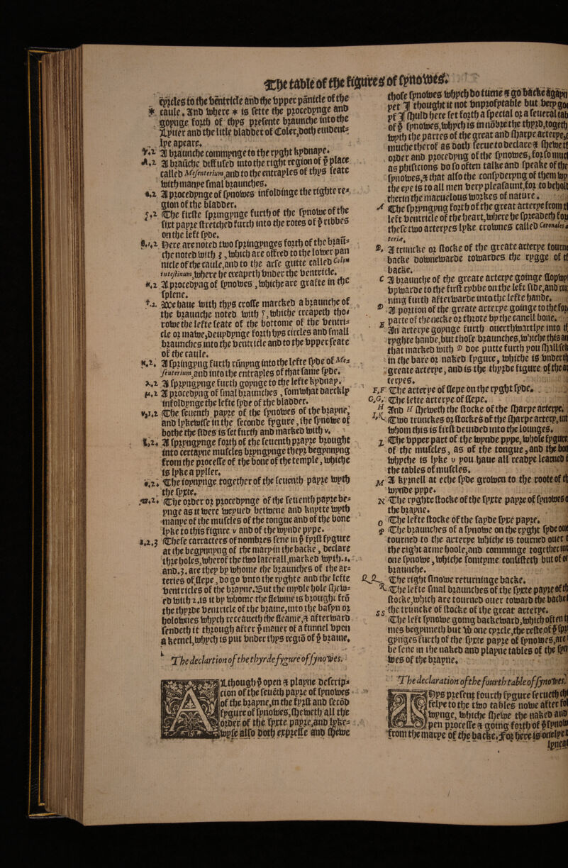 mtlfg to tlje tjcntricle aiib tfjc feppct pgnttle of tfte * taule» XnP to^ere ♦ <0 fttte pjoceopnge ano . gopngefojtft of tl)p0 pjercntebjaund^etntowo TLpwfc anO tbc Ittl? blaObet of Color,botb «Miociiti Jpcapraro* ^4^ ib^wicfjccorampngcfotljtrpgljtl^PiJttapc* •*4i subiaucbc btffiifeb intotbertsbtrcgionofppiace CdllCD tOt^CCtltC^plCS Of tvPS toUbniatipcrmalbjauncbc04 , . , _ , i,x 3llp.iocebpngcoffpitoSw0 infolDlngctbcrlgbtcref gtohoftbcblabber* ^ y*i Cbo ftrllo fpjingpngc fuctbof tl)c firt papjf (Iretcbfb fwrib into tbe rotoo of f tibbc» ontbcleftfpDe. . . «♦'«i rc arc notcb ttoo fpjmgpngcs fojtb of tbe biait=» cbenotcDUjttb i jtDljicbaccoffrcbtotbeloiBcrpan ntclcoffbotaulc,anbto tbe acfe gtftte callebc*/»» iiite/h'»tt/n^it^cv( i)c cfcapftl) biiDco tbo bcntritlo* *i,i itpioccbpagof fpnotoeo ,tDbtcboate gcafte iii tyC fplene. , . c ti. 9ocobatic tottb tbpacroffo niaccbeb abrauncboot tbc bjatmcbc noteb tottb .^tobicbc crcapctb tbo< robie tboloftefcate of tbe bottonic of tbe bentri- tle 0? matoe,DeupDpnge fojtl) bP0 tircleo ano fmall b?a«ncbc0 into tbo Oentncle ano to tljo oppecfeatc !»>4 3 fp^ftigpng factb cunpngfntotbelefte QiOc of /eaterium^^tiD into tbo entroplos of rijat fame ipDe» 3 fpjpngpnge fiirtb gopogc to tbe lefte Kpbnap* f<*i 3pj6ceopng offinalbzatincbes ,fomtobatoartRlp inf olopngc tbe lefte fpbe of tbe blaooer. »,1*1 (Cbe reuentf). pap?e of tbe fpnoioeB oftbebtapiie, ianoIpbetotrcttitbe fctonoe fpguce,tl)eipnotoeof botbefbeftDeotofetfurtbanOmarbeOtoitbv. ; t,i4 3fp?pngpngcfojtbof tbefetientbpjapje b.tottgnt toto certapne ntufeles bjpngpnge tbfPJ begptmpng fcoin tbe ptoceffe of tbe bone of tlje temple, toljitbe tolpftcappUer. #,zi tcbefopnpnge togetberpf tbe feuentb papje toptfj , tbefpjcte, , J r * u (Cbe ojDer oj pjoceopnge offbefeuentfjpap?cb^ ^nigcssittocrc to^ptic& bcttojctie nnD bupttctoptl) tnanpe of tbc murtles of tbe tongtie ano of tbe bone IpUetotbtsftgnce v anOof tfjetopnbepppe. I.Z.J Cbefc carractero ofnombjicB fene tn § fptft fpgtite attbe begpnnpng of tbe marpto tlje baebe, occlare tbtebotcs,tDberoftbcttoolaterall,tnarbeDtopt!).i4 anD.j, are tbcp bp toboine tbe bjauntbes of tbeae» terieo of^flepe, oo go bnto tbe rpgbte anO tbe Icftc bentetcleo of ttjc btapne«i6ut tbe nipOle bole Hje lo- f 0 tottb 1.10 tt bp toljomr tbe fietonie ts bjougbt fro tbe tbP?oe bentrtcle of tbe b.zatne,tnto tbe bafpn oj bolotoiiea tobptb ceceauetbtbefleanie,? aftertoaro fenoetb it tbtowsb after §niauec of a fnnnel bpcii a bemcLtobptb t0 P»t tegto of f btatne, * The dedartlon ofthe thyrdefygureoffymifes. ^ %m t4We of tDe RjJittfesf of tbofefpnotoea* jLtbOMSlJ^opftt 5 plapne Ocfcrfp< Cion of tbefeuetb papte of rpnotoe0 of tbe btapne,to tbe fp?ft anb fecoD fpgureof rpnotoe0,(betoetb ali tffe otber of tbo rpjtte pap?e,anb tobe^ ‘  atibCgitoe «et II tbotigbtitnot twpjofptable but betpgo( pf 31 (bwID bete fet fojtb a fpectal oj a fetiecaltaii of 0 fpnotoeo,tobpcb ts in nobte tbe tbP?b,togetb h»tb tbe parteo of tbe great anb (barpe actetpc,( muebetberof a0botb fecuetobeclare? Ibetoet! otbecanb ptocebpng oftlje rpnotoe0,fotfoniutl aa pbtftcton0 bo fo often talfee anb fpeabe of tbe fpnotoca,^ tbat alfo tbe confpoerpng of tbem top tbe epe i0 to all inen berp pleafaunt,foj to bcbon tbecin tbe inacueloua toojbea of nature. ^ Cbe fptpngpng foub of tbe great arterpe ftoin tl lef t bentrtcle of tbe bea rt, tobere be fpteabetb f op t^fettooarterpeslpfee ctotone0 caUebe(>ww'«4 terU^ 3tct!ncbe ot (locbeof tbe greate arterpe tonnii baebe botonetoarbe totoarbes tbe rpgge of tl C 3 biauntbe of tbe greate arterpe gotnge Ooptopi bptoarbe to tbe ftrft rpbbe on tbe left flbe.anb rut ntng furtb aftertoarDc tnto tbe lefte banbe, ® 3 poittonof tbe greate arterpe gotnge to tbe foj( - parte of tbe necbe ot tbtote bp toe cancll bone. ■ * 3n arterpe gopnge fiirtb ouertbtoartlpe into tl rpgbtcbanbe,buttbofe biauncbeo^tobtcbetbtean tbatinarbebtoitb ® boe piittefurtb poti IbiJllfeli i tn tbe bare oj nafeeb fpgure, tobtebe ta bnbcrti ygreatearterpe, anb ts tbe tbp?be ftgnre. pftbes! terpes. . F.F tcbe arterpe of flepe on tbe rpgbt fpbe.^.. GAiEbelette arterpe of Clepe. 3no Hfbetoetbtbettocfteoftbe Cbarpearfetpel ■'''v (CtoO t cunebes oj ftotbes of tbe fbarpe arterp,tiit toboin tbts 10 ftrft bentbeb into tbe lotmges. T (Cbe bpper part of tbe topnbe pppe,tobofe fpgtite of tbe ntufeles, as of tbe tongue»anb tbebon tobptbe is Ipbe u pou baue all reabpe leanteb i tbe tablesof ntufeles. 3 ftrtneU at ecbe fpbe grotoen to tbe rooteoftt topnbe pppe. K tCbe rpgbtc llocbe of tbe fpicte papje of fpnotoes c tbetoapue. 0 Cbe lefte ftocfte of tbe fapbe fppe pai^e. s> Cbe biauncbes of a fpnotoe on toe rpgbt fpbe oiM tourneb to tbe arterpe tobtebe ts tourneb ouet ( tbe rigbt anneboole.anb comminge togetbfctnt tute fpnotoe,lobicbe fomtpme conltltetb biitofoi btatiucbe. AJL. 'Cbe rigbt finotoe returntngc baebe. ^ Cbe lefte fmal bjannebes of tbe fpjrte ftocbe,tobtcb are tourneb ouer totoarb tbe batltet tbe trimcbe of ftocfee of tbe great arterpe. Cbe left fpnotoe gomgbatbetoatb.tobttboftenU mes begptmetb but tb one tp?cle,tbcrefteoff fP?' gpnges fiirtb of tbe fpjrte papieoffpnotoes,arci be ferte tn tbe nafeeb anb plaptictables of tbe fpP' toes of tbe bjapne. The dedaration ofthefonrthtahleoffjntr^es) “^'“jl^ps p^efent f ourtb fpgure fertietb tbj felpetotbe ttoo tabics notoeafterfol topnge, tobtebe (betoe tbe nakeb ait® pen ptocelTe g gotng^fojtb of §fPrt®®