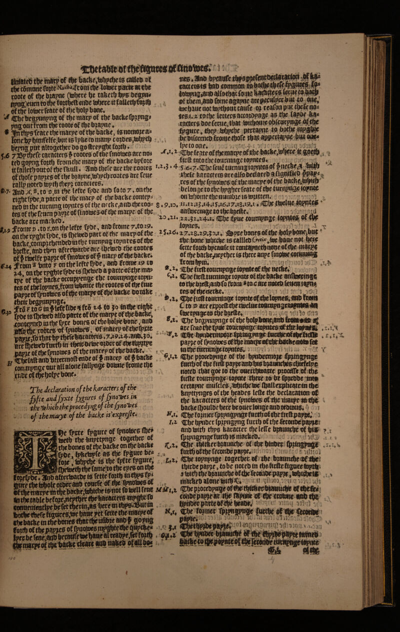 toote of tJjc bjapnc (tabete be taftctb bps be«pii< H}>ni)eticnto0cfi»?tbcft«nbc Wier* of tbe lotocr feate of tl)c bofp we, CbeltesPR«P«5®f tbcmatpof tbc batbcfpjpng# ittrom tbe toote of ttje bjapnc * + i iu».3lnb__^ loto^^ja»taftlfo4bqtfobKSti«a?f9^ , . uf tbera,anb Obtueag^pne aee^i^pctbat to.o^, tacbaue nottaptbont taufe o) ceafoti ptit tpefe no« ■ie0:i*.r tp tbe ietteca accotopage ao ifiK |ap&e_^«a* cactets boefewejtbat tottb<wte#ftarp»i0e,j(tf^ #gttre, tbep itaCjptbe pettapiie ta, dot(» :tttpj8b|e ittibtCEemb fooiwc tboft tbtt appei5«l!WiP«i« ^ • ) - j». wwu«uwi«»«»»«/v^v.«a»‘vr»v.-^-,^ Ipetoone, ,/5rf .4 ; jt j , ^ f,6 7J5ptbefecatactcr3# tootes oftbe rmotoeaare no* *^.Cbc feate oftbemai?>e,ttf^c lMitRe,togei5e%©)^ j . tfbttopnijfotrt) fcaintbcniatpof tbebacfcebpfote :ftctttntoti)etottcniaget0pBteSf . ^ « wa ‘i- itfsmt^Woftbcfkull. Sbd tbete acetije tootcs 5,45,7.®ftefeiiet«m8igt0Blt<8pt^iW^-«pb Of^ofe papteg (i tbe biapnc,to?)pcbtoatcs atc Cf ue «ftsmfiei) ifoavi caHptK>tebtoptbtbep?caractccg. . ^ ^'•7‘2toDX®.to®,tiitbeteftcfpbeanbiotoTvOntbc ... rtohtfpbe^apacteof tbcniaep of tbebacbc contcp-- ontobonietbettuiwbjeigtopttmy - -. .. ncD in tbc tucning iopntcg of tije nf tUe^iib tbeioo= s ♦ 9«io. w*» Iii?*«4*i5.i6*i7.'i8.i9*' ♦ «be ttaeiHeffippt^P tegoftfjerettenpaweofrtiiottea-oftbctnatpe.oftljc.; aaftaecwgctotbcib^cftefc i • I.«HFfftMKT) .toBontbeleftc. fpbe, anbIromeT.toip. ^ Jopnes. , k _ u ;• - .. i .t: ' ^onthetpobtrpbc igfhetacDpactaf tbe macpoftbe t5«><s»z7.z8.29;5a4> i^ppebonegiof^beboIfbtmesbM hatfec ro^jehcnbebfetbe tttcrn»ag iopntegof tbe tbtibone tabttbeis calllcbtwwf.taesba^not ftcte hSe anbtbw aftettoatbeace tbetofb <be «ooteg icttefojtb bptaafettewtf^etbiwneoftbe mafipi offttStiartcbffhiotoegof^niacpoftbebacfeei oftbebafjte,neptbetigtbete8ttpefmfttae<ow^8 4FrMii*lititoFonthfleftelRi>be,anbiftoinej^to ftombpw» ^ ii^thctpabt?lpbcten^e0ai>attc«^^^^ «befitft«McnpnseiopBte.of tbette^^^^ : s rSe flfSe iSeatctiiwnge tbe totttnpngetoptii: ^4» Ci)eftciytt«iingeiopotaofttl)cb.acfee anfliWJiBga 2«itftSli^wfeotni^te«betootegoftbrfttte totbei»?e»ianbfqftoma^to4aK»8t«fe^ oapicDffiniottdgoftben^twe^^^ . teg^ofibeneilw. , ; . - •; 1 ?r 1 ? SSnSac. ■  ^ ‘ '»,t*Cbeftefttetmni»geio?mtaOfitbelopefi^^ ^ SrSFtoemWtibe<fto i4 fo jo fn«>etigW. , Cto ® atee)cp?ett«bettacltirtofimpeg«(«W«« Socfgllicteebaftarteofiljeinarpcoftbebatl^^ ^ ..ftoeepngctotbebj^e» iontemebiatbef^ bonesoftboboi?«%9ne,ano tCbcbegpniipngeoftbeb(apl>iiiie4aobsi^ SSbtl^^F»otora..«^^ ^ iiapiebftbeOmotaeg oftbcraawpof^rbacfce, , v- totbetntrangeiopntw. v / un*.*.. ^ t “^ .. (jp)r pjotebpnge of tbe bpiUtaCtt»^ fp^ ■! V The Jeclaration of the karacters of tJte . fjftc andfyxte fygtircs of jym^s in the^lMhiheprm of the ntaryt ofthe bache ts'expfejiet m fpjctc fpgure of fpnottcg flje» toetb tbetoipttpngc iogetbee of ttj^bonc0 of Ifjcbacfec onibcbocw fpbe, Ipftetapfe ag tbe fp|[wte be^ fow; tobpcbe te tbc ft>fte fpgare; itateb tf^goetotbe otrett^aote ptooaire.iofitba fteife toutnl>ngr4topttte Ibete to bt l|if|sbbe jm» ^ tectapne tnufcteg ,tab(tbe^tae’ (baltdtpbcate^ ^ Itnpttpngeg of tbe beaoeg leSe tbe betlacattton of tbe ttatatfetg of tbe fpnbtaes oftbe tiia^e tciibi^' < rfcaaf^lta ■iataarf irtaiti Vfc ih ■! '^ < 'a ii^ ^ t V (Cbefojniecfp?po^ngef«c«jjo6fbeftttt4)ai^' ■■% Lt- ti:beb^bcefp}ptigpng ftictb of tbeletottbc^pai^! anotattb tbpg baeactec tbeleffe tgau^of bflp ? i rptpngpn^fwttbigniatbcb*^^^ i ',!hn:ii l.t JC.I. «ISe tbicbeef^auncbc ofitbr bbtewiQ^jfngj^ .1, ftniboftbeRconbepapjerfi3(i )oriO(aK4 ‘':^i(l55ai Ut* topnpnge ^getbet;. t^J tbe btatincbf (bf tbitbepapjte,tobe notebtn tbobefteftgocetapi^. 3taitbtbeb;aiibcbebftlKfe»fabe^P.^,tabt^b<^ r ^ mat^ebaaonetaiilfJG* ' 2 « t- iriMvw»w *t*,wiv v!^ ' j.' 41 %' i'^. ; MitttX Cbep.iocebpRgeof^tbfebft^bimfuei^ifftibtif» liiwte’ eatbo.