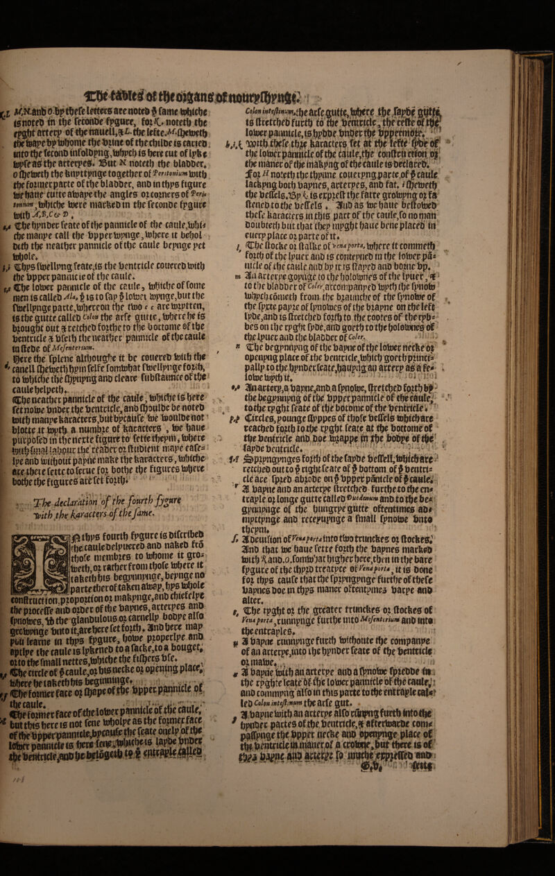 * * 1 ci Ji^,K.anb 0 W t^efel^ecs ace aotrd $ rame labtc^e tetioteb ih tfte retbnDe fpgttce, fojC.notetb tbe rpgW attecp of t^ienaufU,?titfte Icfte.A^t^toet^ . tfteteapetptotjorae tfjctjjtne oft^ectitlDe ta cacieo, into tl^e (eccHiD (nrolDpng,ttt!)iPci) is ^re cut of Ipbe hffeas tl^e actec^s. ®ut n notetb tt)c blaODet, 0 (Qetoet^ tbe tmptt^nge togetijer of fentmumijnt^ tbefomectiarte of tfieblaiibei:, anbintbps ftgure toebatie cutteatoapetfje angles ojccinccsof tonmrn^ ibbtcbe toere matbeD tn tbe frconDc fpgucc toitb c j t,4 cbebPttbecTeateoftbepanmcleof flje caHle,b)!)i< tbemanpe call tbc t)ppetto?nige,tol)ece it bcbol : , DttI) tfje neatfjer pannitle oftlje caule bepnge pet \ b^ole* tibps ftoellpng featc.is tbe bcntttcle couerebtoitl) i tbePppecpanmcteoftbe caule. ! t,t €be lotocc pariutclc of tlje caule, hjiitcfjeoffonte 1 raen is calleb f is to fap § loton topnge,bur tbe i Itoellpngcpacte.tolieceon tl)e ttoo c c aretotptten, ' is tbe gutte calleo e»/»» tbe arfe gutte, tobece be is ! bjougbt out cetcbeO fottije to tbe l) ottonte eftbe ' bentctcle 5 bfetb tbe neatbec pannicle of tbe caule tnfleOe ofW''>^«“’»- J^cctbc fplenc altbougbe it be couereo toUb tbe *' canell Cbetoetbbpmfelfe fomtobat ftoellpugefoitb, to tobfcbe tbe ibpnpns ano cleate fubft atmce of tbe * caulebelpetb. . . .. . .. ’ ®be neatbec pannicle of tbe cattle, tobttbe ts bece retnotoebnoec tbe bentcicle, ano iboulOe be notcD toitb manpefe«actecs,bitt bpcaufe toe toonioenot - biotteit ^tb a numbje of ftacactecs , toe baue piapofeo ili tbe necte ftgure to fettetbepnt, tobere hjtchfuwi iflhpuc tbe reaoer ei ftuOtent niape eafe=; ipe ano toubouf paptlie mabe tbe feacactecs, tobi^c' ace tbetefettctofecue foj botbe tbe figures tobere botbe tbe The Jeclarathn o Tuith the htracters 0 ourt t Came. 2«re ^tbps fottctb fpgureisoifcribco ?be>tauleoelpuereo ano nafeeo fc5 tbofe titembces to tobome it grosj toetbot ratber froin tbofe tobere it tabetb bts begpnnpnge, bepnge no . . „ parte tberoftabenatoapjbpstobole conBtucf ioh^piopottion oj inabpnge,8n0 tbiefelpe tbe piocelTe ano ojoer of tbe hnh^ «rfo fpnotoes tttbe oianOulous occamellp boopeairo SSge t,Soi® areberefetfojt^ SK poiileafne in tbps fpgtire aptlpe tbe caule is Ipbeneo octo tbe finali nettes.tobtcbe «la» ir circltof opciiins pl3Cf, ' tobere ^ tafeetb bts LdnUifiV «f If albe fbtnier face oj Ibape nf fb? bppec p^wnicle pi i^e f oiiner face of tbf lobuet pannicle oif tbe i^ule, but tbts bere i0 not fcnc tobolpe as tbe fojmer f«e \ i^ebenttKie T»ttb tbefe tbje Mtnctecs Tet at tbe leW , ^ tbelQtoecparoiicleoftbe fatile,tbe c0n(lrtict^„(i|; 'r jfoj H notetljtbetbpnne couetpngparte.of fcaule lacbpng botb Oapnes, arterpes, ano fat. i Ibetoetb tbe Of ffcls.isp i- is ecpiefl tbe f®tte grotopng oj fa ftencototbcOeffels ♦ 3nOas tocbane bcttotoeO tbefe baracicrs in tbts part of tbe caule,ro nonian’ Ooubtetb but tbat tbep tnpgbt ba«e bene placeo' in euccp place oi pacte of tt. Cbe llocbe oi (lalUe of ><■»“tobere it coinnietbi foctb of tbe Ipuec ano is contcpncO ui tbe lotoec pa* tn 36u arterpe gopngc to tbebolotones of tbe Ipuet ,9 to tbe Olabocc of coKatconipanpfO toptb tbe fpiioto tol)|)fbcouictb froai tbe b^aiincbe of tbe fpnotoe of tbe fpctc papre of (pnotoes of tbe bcapne on tbeleft lpOe,ano is iiretcbeO foctb to tbe rootes of tbe rpb* tbe ipuec ano tbe blaooccofco/fr. . » » Cbe begpnnpng of tbe baiue of tbe lotoer necbe ot opcnpng place of tbe beutcicle.tobtcb gpetb piincfi it- iotoetoptbit»' ''> i''’ 3lnartecp,a Oapne,ano.a fpnotoe, If retcbco fp|tb b| tfjcbegpHnpng bf tbe Oppecytannicle of tb^caule^ to tbe cpgbt feate of tbe Optoine oftbe OentticIeV' ■ Ciccles, pouhge iipppes of tbofe Oelfels tobi^are reacbeo f o^tb to t^ cpgbt feate.at tbe bottome of tbeOeofcicle ano^Ooe tojappe in tbe jbbbpebftbb fapbeoeatctcle. - j,f «i a ii ,. cieace fpteb ab.tooe onfOppefpiintcleofStanley ' 3S Oapneaiioanactec^ ftretcbeotuctbetotbecn- •ki. gpnnpngeof tbe bnngcpe gutte oftentintes aot i’ mpttpnge anO cecepupnge a Rnall fpnotoe Onto tbepni. ft 38oeuifion of ^«‘</»«-»iuto ttoo tctaicbes oj (locbes* 3iirio tbat toe baue fette foub tbe Oapnes marbeo tottb % ano.o.fomtobat btgber bece,tben in tbe bare fpguceoftbetbP.iOtceatpce of '»'»/>»«< ^uig oone foc tbps tattfetbattbefpipngpngc fuctbeoftbefe Oapnes Ooe in tbps ntanec oftentpmes oacpe aoo alter. t, Cbe cpgbt oj tbe gceatcc trtincbes otllocbes of rf»4/)9rM^runnpnge fuctbe into ano intos tbeentraplfs» ’ «3fbapne ctumpngefurtb toitboutetbe companpe of an actetpe,into ibe bpnoer feate of tbe Oentticfc oimatoe^,. # Oapuetoitbannctecpe anoaliinotoefpjcooefii;! tbe rpgbte feafebfibe lotoec pannicle'bf tbe caulfj j ano conimpng alfo tn tbis pacte to tbe cnttaple cat«i‘ leo tbe arfe gut. • , 31 oapne toitb an actecpe alfo rtbtpngfurtb bttofl^' ^ bpnoer partes of tbe Oentctde,^ aftrttoaroe com^ paiph.getbeOpper necbe anobpenpnge place of^ tbe pentricletitinaner,of a trolbije.bvtt tliere ts of ^ * > / -* %