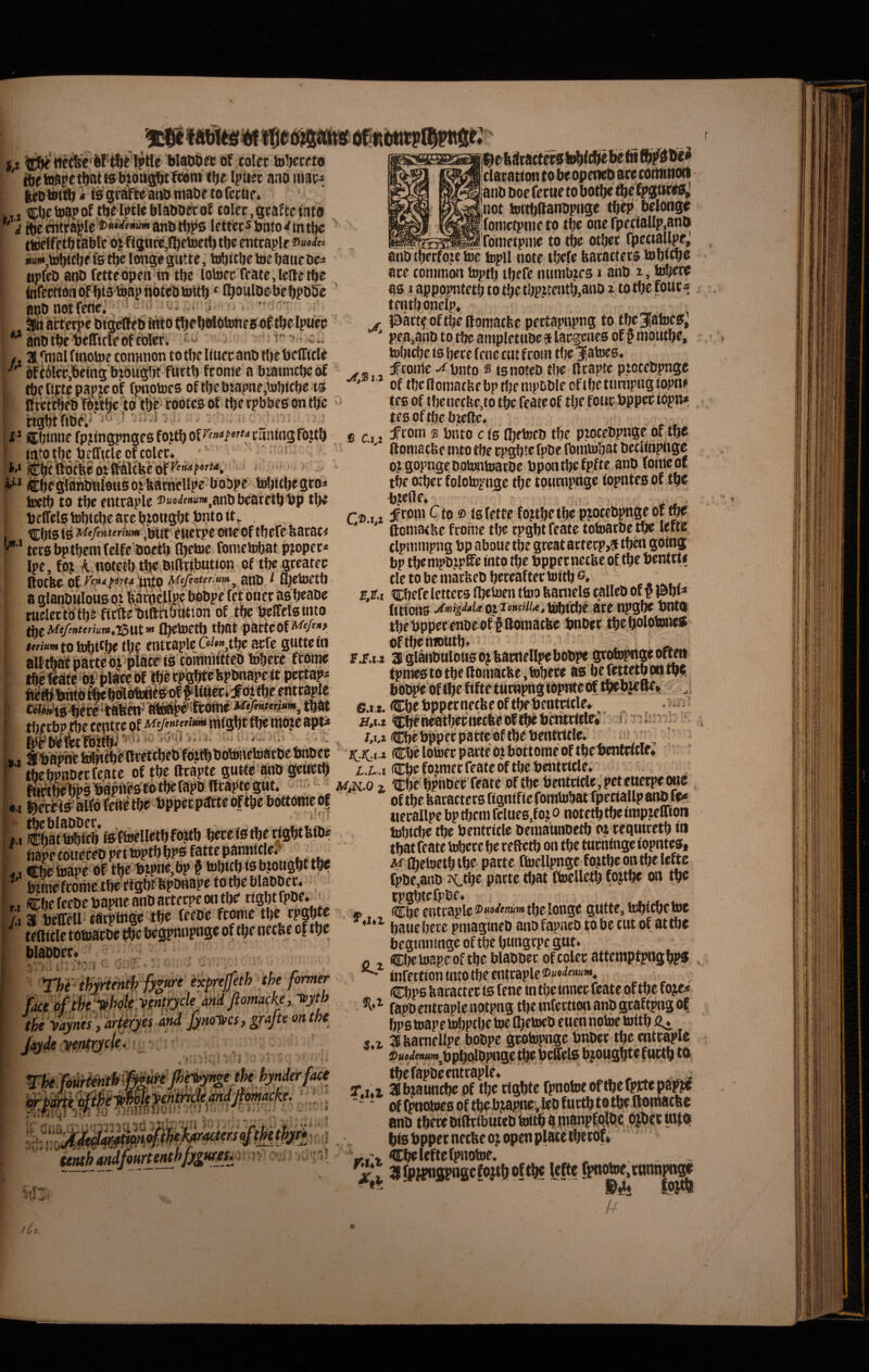 blawjrt bf colcc to!)ecct8 tbfb^petbbttsbpnsbtlcom tbe Ipiiec ano beO tbi^ 410 gran»! aoo maoe to fecue» . , ^bctoapoftb^IptlcblaboeroJ colcc,gcaftctnto I, -- ...... i>uM,tobicbc t'0 tbe longe sutte, tobicbc toc baticoc:^ «plcD anO fcttcopen in tbc lotocc fcatc,lcllctbe infecttoiiQf bibibapnbteObiitb' (b^^ulDobeb^ote aoonotfcne. •vr» t, anOibc bcirtcrcofcblcr. f. 3 fmal finotoc conanon to tbc Kucc ano tl)c bclTicle of t6lcc,being btougijt ftittb fconic a biatincl)c of tbc rtftc pawc of fpnotocs of tbe b|apne,tobtcbc is t IfitV^fO T6itfje 'to 'tbc cootca of tbc rpbbes on tl/c * cigbtfiOe/• • i* dCbtmic fpjtngpngc0fo.UbofPf«'*i’^f cliningfo.ttb ■ into^bc bcffulcof colcc» i- i'* i^bcIftocfeeottfaltVcoff'”-*/’»'^ ■ . =  *>’•* iCbc^fitanOMlouaojikacncllpc boopc toljitbcgto* icctb to tbc cntcaplc ®Mo<if»‘»,anObcafctbbp tb^ bcffclo tobidjc ace btotigbt bnto it,. Cbi0 i0 ,bift Cttccpc onc of tb cfc feac8c< tcc0bptbcni(elfc'ooctb CbfbJC fonictobat pjopcc* Ipe, foj.A.notcib tb€,b?.(ttib«tton of tbc gtcatcc ItOCbC pf-'inito ^efinteriuM^ gOO ^ u)CtoCtb a glanOtilous oj l^^cbcllM bobpc fct onccasbcaoc ruelecWtb^ fictletiftttotttion of tbc bcffclatnto ^iMtfinttmm^ToWtru flbctoctt) tbOt pactCOfW'»> urium to tobi^bc tljc cotcaplc C»/*» tbc acfc gutte in aUtbali pacte oi plSc# 10 cotnnuttcD tebccc ftome tbe fcate^t biaccbf Ibcc^gbtcbponapc it pccta?^ bctb^bnto ^b£ftot^t0*of f”**^M* tbccbp tbc centte of nitgbt fbc utoje apt- 'clatation to bc opcticb are cottunoti janb ooc fccue to botbe ff^eaj not brttbftanopiige tbcp bclonge ifonictpnic to tbc onc rpcciaUp,anO - .^^^^^Tomctpnic to tbc otbee fpcciallpc^ anb ibctfo^e toc topil note tbcfc feacactccs tobftbc ace conimon toptb tbcfc nuinbjcs i aho i, tobere 801 appopntctb to tbc tbp?tcntb,attD i to tbc fouc s tcntbonclp* jSactf of tbc Romacfec pcctapnpng to tbc 3faltic0^ ' pca,anD to tbc ainplcttioc a lacgcnea of § motitbc, tobicbc 10 bccc fene cut f coni tbc Jjatoca* Tronic ^ bnto ® isnoteO tbc acapte ptotcOpnge of tbc (iomatbc bp tljc inpoblc of tbc tumpng iopne tc6 of tbcj}ec!ic,to tbc fcate of tbc foitc bppee iopn* tC0Oftl)cbicftc. e ci i ^toin s blito cfs fbctecb tbc pzoccbpngc of tbe ' ftoniacUc into tbc cpgb?c fpbe fomtobat bccUnpfigc oj gopngcbotontoacDe bpwitbcfpftc anb fomeof tbc Oibee folotopnac tbc towmpngc fopntcaof tbe bicilc» r® 11 Jftfm Cto ® iafctfc fojtbctbc pwccbpngc of tbe ' ' ttoniacbc fronic tbc rpgbt fcate totoaebe tbe lefte clpmmpng bp abouc tbe geeat actccp,a tben going bp tbcmpbjpfic into tbc bppccnctbc of tbc bentete clc to be maebeb bcccaftcctoitb G. ' ^F.i cbcfc lcttcc0 fbciBcn ttoo feacncla tallcb of p J&bf=* fitiona x»«<s<<‘«^<«ojxo»«7/4,bibicbc ace npgbe bnto tbcbppccenbcof §ftOttiatfee bnbec tbcbolobMie* oftbcmoutb*: . ps.Lt 3 gianbulotia oj bacncllpebobpe grotopnge of^ tpme0totbciloinatfee,tobcce a0 bcfettcthoiitbe. l J i i i V i/Wv - ** tbcbpnbcc fcate of tbe fteapte gutte‘ano ^uctlj fiH^HebPsBap»Ve0totbcrapD ilcaptcgut, ’ = ; •.I ^ccHakofeft^ tbe bppccpacteoftbe bottonteof p.i KSSfeftocllctbmtb bcreiatberigbtbtbe ftapccoueccOpctioptbbPSfattcpannitlcs' », Cbc toape of tbe Utprie,bp i tobitbiobtougbttbe btfncfcottie tbc f igbt feponape to tbc blaoocc* r, (Cbc fccOc bapne anO actccpc ou tbe rigbt fpl>c*_' /j ai bclTctl* tarpinge tbc fccDc ftonic tbe cpgbte tcfticlc totoacoe tbc bcgpnnpnge of tbc nccfec of tbe biaooer^ i C The thyrten^fy^r exl>rejfeth the former fice of the 'vhdtje \fntrycle dndjlomac h, tpyth the ymts, art^s and JynoTPCs, grafte on the TkMfimtkWuH fCTO S . l . r.' ■. > ; 9 s4 GXt. iJCbC—^r: U'. • . 1 ^ n.t-t ‘Cb^neatbccnccfeeOEtbe bcntcttlei /,i>i cbcbppccpattcoftbCbentcitlc. X-JC-i i Cbc lotocc parte oj bottome of tbe bcntriclf* ZX .I Cbc fotnicr fcate of tbe bentcicle; M^.o 1 tcbeb^ttffff*^®^^ bcntciOic,peteucn>e«ie of tbc fearactec0 fignifie fomtobat fpcciallp ano fe- ticrallpc bptbcm fcluc0,foio notctbtbciinpjcffion tobitbc tbc bcntritlc ocniatinoetb ot requtretb in tbat fcate tobccc bc rcftctb on tbe tucninge iopntc0, M^^etoetbtbc parte ftoellpngc fottbeon tbe lefte fpOc,ano ^tbe pacte tbat ftoellctb fojtbe on tbc , » (?lbc cntcaple tbe longe gutte, tubtebetoe baucbere pinagincO ano fapaco to be tut of attbe begmningc of tbc bungtpc gut* o , fiEljctoapeoftbeblaoocc of colcc attcmptpngbp® infertion tmo tbc cntraplc Cbps bacactcc i0 fene in tbc inncc fcate of tbe foje^ fapocntraplenotpng tbemfettionanogcaftpngof bp0 toap c tobpcbc toe IbetocO cucn notoe toitb s L 3fearncllpc boope grotopnge bnOcr tbe cntraplc ®u«yraM>»^OpbQlpjmge tjbe bcScl0 bjougbte f iictb to tbefapoecntraplc» -i Tmx aibtauntbe of tbc cigbte fpnotoeoftbef^epapje ' off;^otoc0oftbcbjafaiC’,toOfuctbtotbel!loniacbc ano tbcwoiftributco toitb a pianpf#.c 6|bcc iofo bt0 bpper necbe 0} open place tberOf« vv, Cbcleftefpnotoe. ^ , % «fp^ngpngcfojtboftbc Lefte // '