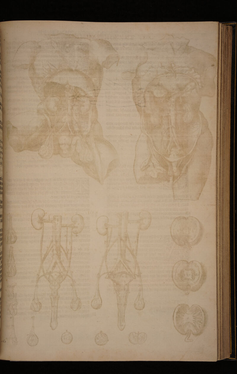 ,-r. 1 •> ■ ♦f• 11' /' ■i: ■ /'  • V ^4^'- ,. .■*\- - . - - ' >^ ' '■ '■ »\ ,.• v' /■ 5“'''. ; • . ' ■ ' . • V-.; , .> • m ■ S .„,..^1- yS^ - .-.K- ^ •  ' ■ ' ■ ■■ ■’' \4f\ , ut ;' ' '■■‘/^7' , ■' ' ‘ ' 'l- ' - ' '■■ ■'■■5^'^' ' -'r.■■'•. >‘'' I' -^N r^^SiT'V . ••i-' * ■‘r-^-:’ ' ..' V *;^..‘ ;---, !«>■■/ . ., .. .;‘t, .. . ■ * —V'”-'/,'■ -• ■■ ' ■■'■'■.' ■ ^/ V. ' '■'■ '^Sv^^.---.! ' i,,.,.-../ ’• ' pn . . <. • -, .• '■•'■vrVf ■.: >r/?: -V. ■ . V ^ 'i i •' '• -7‘ -, • v- -pj -iT . 4 “'V ■} ; • V .: <. • -, .• '■•'■v-Vf':.: .‘‘vY?: -V. „.r-o^^:VT ••- .; ■' . *..'•: •’ ^ ... • . .- .rf '- ;• •' ■ 'i? . •»' t ^ ^ y. -w.,.' ...^....v., Vr \ • t.- vj.,. r .,• Ir ‘‘i-)' '. ^ ■i,:f- ^ f - % _.., ...... 1 • i ‘i .r ^jr y A -V ►•'/ ; -Ir- \f ♦ * ' -j '•S u' ■‘a- • •' ••.» V j. ^ i * , fr,‘ 'i , ^ ir^ ■ .>^i. ;:• »=..- ^ :. >, ,•. . 'V . . ‘ ■ ■ JV/T ' V- i.€'''*'''\ ‘ ’ ?\v* V. -f: •« %■■'.i / ■I ,. . ' •■ V'4 •'>■ i . ..^ 'V • fT.:^ ■ _ /.-<.J:; ’■ » ^ J»..' ]( £■ K '' - ‘.'stlf' ■'' '''W •' ■■^i. ■*. -.K ., 7^'- 1 ' A ■ ^/'‘ I ' ff-i' '■•■^v-.'■* Ai' '4 r^ ' • •' • l;V:' i ^ Aa tiK, ' V ■'■^ 714■ - J - ^ = •^' 'j‘ _ . / * ' • ' p.jiin % :] -:.-p#-i..vi.i' ■■'^.: ' 4 * v . 's-.C ' ' ■- • ■ f«^:| I —‘ ■-■• i „■•■ . !'ti ■'. ' ■*’■ - •■-■4.: r.‘ .. . . ... -., m '^ ■': ‘:-iiM-^;V:' tlif: , •. - ■ ■/ ■ '  ' •■“■*^? .5,f 7^. K r - ■ '’-^ ..'4. M*. -.fcj . ,;: ' ‘: -{yJ'' 'ii ’ /■■■'-%,s. ^.^•’r'#\- ytr/'' ■' -7 / ■ ■ ’<■ •'•• ■ . - - \ .. ''4 ' f ■ > '-''irvC i ;■ if i .'4«*v-4«.V.'■. • - A ,> ?*« . *' i .’ ^ '. 1^ ¥ ni. ,\' ’ A \ ■'V7 '7 7 r -' • V , rc. -' • s *'■ . >># ' v->- ■ »1- / \ ^ ;/ -A;': ^ / T-'- #• *i;K> ••' i;’ ' . i ■'' ■' .4^ ii - 4 '#>. . ‘f v“. -• * •'Vi-. ■;■ - ./ ‘..ij . . -.»»«, . . • .^, ' tVi '  ■ ■ ' V «I ' ■ “' It’ ■ . '?> il- .■ • ' - ■ ■• V ' 'If ■: i3', .■' » ./. , . '. .' • i '1 7. I . • rV. .4 *■ -, ■ ■• ' y./-r 7 i Lrf^, ■ * 5 '‘ r«t V '• • •*•. .i' '■• 'i«r *. i. •'* ■ .  -'J i y ~y'f ]f ■ ■ ‘/v'*,v f* \ •-■■''>, i; ... ^' % ■ . # • * . .4 ■ Wii '^■r k V ^ V V i ■ • ' • ^ \ '.y 'fc rfr-i:H ''v .t•- * > •: i±.i. ( •'.- •?■ V ■ ■’, -> ; • i**-'-v-^-. -.. ' * ■ ' - • ,ji • ;S-^;;‘ .'^ • • -.y i-;f A .* ' . . ■*-'.V'- *: • '•■ l ■ ■ - 'is - f 4^r''‘i lai . -4-f— %^jlit’‘f 'J ■ - '\ ‘ ■* i: ■*^! ::ii^i*^-.. I 4* '<r >7 .‘J Jf- ■ . . 7^ ' a.- 'r ' 4t' 4 t? - V. iJ y ■ V ■ ;j ;’. ■ i f.: ^ ^f : <ri+' ' * [ '-''J iri •.;■. ■•:■. f .-/fi P'j ■’¥ [.'V' . • •!“; li -4-uk i f J ,/^<'4X1.i- ,. ■ .^ f'£ *l3? ^ ■ 'f''! ('.-> 1 # 4 r . -■■ - J iri '‘7 ‘ .y - a\ A ' ^ '1 --.'I J f ' > -* ; % .■/.,■' ..• . ..Z^' ?f' 'j4'' 1 V> ii ■:;'i! . '- ■■’'4 V. ' . ^ •!^V‘ 4 ^'^1' z-^' .?■ 1 ‘4 ^. i -’.' y ^ .* ': ■ '1*, •a S. ■ * ^ ^ ^ '•:f‘ 'r. • S,’» 1 i ■ ■ 4' 'I ■ ^ ^ ' J> h V .‘H’ ■ .> ^ \ w vf- - :■■ • '• ■ ’ ■'. ■ ..’/■ \'a m4 S' ^ '‘•V>' !- -■; • . ■- - '. li / - . • v ^ W . / 177.. ■ # X*.: v;4^;-4 .>v 4 ' •■■ Xi:’ H 1 ! , ;r # ..4 ■•■^; ■ •', .*<! 'tSil i ! .i-V'■ _-i ' h^t:S<yy-^ 'y. -■' m'. \ ■'f r ■ ^ »®P. V. .i/i f «•* / I I? i 1 y .> 7 V ■ 51. V! ! 1 • <.« fi yTi,'* ' •s^ • > .'^‘ ■ 1 'i' - .y J' i-r. 1l * /^v. 7 ^ / I 1 ‘ < ^-*c I,, / ^ > • 'V . >-.