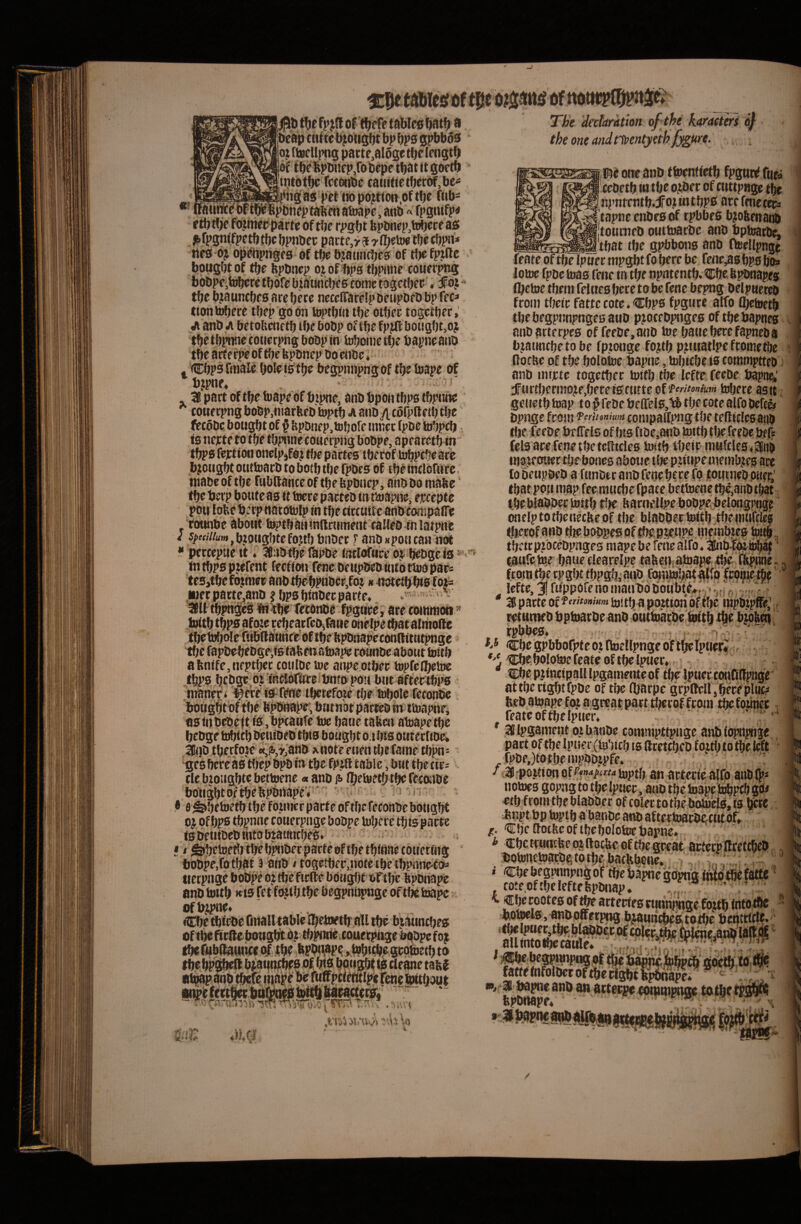 {iKftp bp bps spbbdd I (toellpn^ pacte,aloge tbe (engtb pf tbebpbnep,roi)cpetbatltgoctb tntotiH; fceoctbe canitie tf)er6f,be^ „ c_Jugas petiiopo?tion.oftbe ftib- *' lratinlcefDFtl^BpDneptai{niatoape,anb fpgaifj»^ (tbtljie fbjmetJpaicte of tbe r^>gbt bplinepjtt^eceas ^fpgnifpetbtbc bpnbec pacte,r 9 -j-il^etoe tfje cbpn* rtes oji opehpnges of t^ btatmcljes of t!)e fptlle bopgbtof ttje bpbnep otof bj»s tbpiine couerpEig The 'dedaration of the karacters S} theoneandnventyeth^m- i We otre anb ttoenifetb fpgur^ fnei cebetb ttt tbe ojiDec of cuttpage tbe Inrntcntb.^otmtbps acefcnetetsi 'tapne enbes of rpbbes bjofteitant) toumeb outioacbe ano bptuat^ ^!tbat tbe gpbbotis anb neellpnac tion tDbece tbep go on toptbiii tbe otbec togetbec, yi anb iA betobenctb tbe bobp of tbe fp^bougbc,o; tbetbpiwecotierpngboopin bjbometbe bapiieajib tbearferpeoftbekpDnepbocciDe, ‘ , Cbps fitiale bole is tbe begpnnpng of tbe toape of bjpne» 16 patt oftbe toape of bijHte, anb bpontbps tbptuie cottecpng bobp.marbeb toptb a aiiDytcofpIleib tbe (ietobc bougbt of § bp&nep.tobofe innec fpoe tobpcb. ts necte to tbe tbpnne cowecpng bobpe, apearetb in' tbps fectioti onctpjfoj ti)e partes iberof tobPtbe arc bjotigbt onttoarb to botb tbe fpbes bf tbe intlorure. tnabc of tbe fubllance of tbe bponep, ano oo tnase ‘ tbe berp boute as it toere pacteo tn tioapne, eccepte poti lobe bierp natotolp in tbe tictuite atibcoitipalTe rotmbe abotii toptbaHinftcmtient caHeb in latpne e J/><«//tfM,btoiigbtefojtb bnbec F anOsponcan not * perceptie it. Ifiabtbelbpbe intloftice oc l^bgeis®' '' in tbps ptefent fectimi fene beupoeb attb tino pac> 'teSjtbefojraecanbtbebpnbeFjfoj»itotetlj^bts fo*i= ,iijerpatte,anb fbpsbinbec parte» 36U tbpnie^ Irttbe fetbnbe fpgtire, are tonirtioti» feate of tbe Ipoer mpgbt fo bere be feneras bps bo» lottie fpoe toas fene tn tbe npntentb. Cbe bptmapes fbetoe tbem felttes bere to be fene bej^g belptieteb froin tbeir fattecote.Cbps fpgwce alfo Ojet»etb tbebegpjmpngesawD pcocebpnges of tbcbapnes anoatterpes of feebe.aiiD toe batieberefapneoa bjatmcbetobe fpzonge fo?tb pcittatlpefrometbe Rof be of tbe bolotoe bapne, tobicbe is coiwmptteo anb inicte togetbec totfb tbe lefte feeDe bapne,' J^urtberinoce.bereisrntte ^VierUonium tobere as it geiietb toap to # feOe belTels.lib tf;e cote alfo befcc^ bpnge froin f fW/wmw conipaffpngtbe tediclesanb tlje feebe btlTels of bis fioe.anb mitb tlje feeoe bef* fels ace fene tbe tcflicles totb tbeir in«fclcs»|6no inojeottec tbe bones aboue tbe pziupenienibces are to SeuptieD a ftinOer anb fene bCfe fo totitnebpiier' tbebiabbectottb flje bametlpe boDpe:belongpnge wielptotbenecfeeof tbe blaDber tBitb:tbeniHfcles 0 ijk afenife,nfptber couloe s»c aiTpeotber topfelbeU» tbps bcbge ojtneloftfrebntopon btit aftectbps maner* l^ere is-fene tbetefoze tbr tnbole feconbe botigbtof tbe bpbbape; btit nbt pacr^ m itoapne, as in bebe jt is, bpcaiife toe baue tafe«i abiapetbe *'j Cbe bolotoe feate oftbe lpuer. I ^ 16i}b tberfote «|i6,r,anb xnote etien tljc fame tl)pn= ges bere as tbep bpb in tbe fpj^ table, bwr tbe tir^ tlc b^oitgbte bettoene« anb |!> Ibetoetf) tbe fecoiibe bobgbtoftbebpbnapeV'''''''■ ^ • e^betoetb tbe fotnier parte of tbe feconbebotigW oj ofbps tbpnnccpuerpngebobpe tubere tbis parte is betiibcb mto btatmtbes. ! t ^betoeRj tbebpnberpacteoftbetbinnecotietiHg bobpe,fotbaf 3 aiib»togetbec,note tbe tbpnneyi>' iierpngc bobpe oj tbeftrfte bOngfjt of tbe fepbnape anb toub wis fct fojtb tbe bcgpnbpnge of tbe tope ofb^ne< it tbeftibRatincc of tbe tbebp^A bcatitijtbfs 0l bis bpngbt (s cleane tabi atwpanb t&ef^ mape‘ bb ruffpciffitlpefencfwtbaut *.■' ^^0*0- i - s at tbe ctgbt fpbe of tbe Rjarpe grpllell, bere plue? beb.atope.foc a grearpart tljerof fcom i^founer feate of tbe Ipiicr, ' 18lpgament ozbanbe comnipttpngc artbioppnge pact of tbe Ipner (toicb is dcetcbcb f wtb to tbe left rpbe,)totbenipbDcpfe. ; . : ‘ f 16rpo.«ionof^f'»^i'*«-«b)ptb an actecie alfo anblj»* notoes gopag to tbe Ipucr, ano tge toape jubpfb gP* etb froin tbe blabber of coler totbebotoirtb»t3 gere *npt bp toptb abatiDc aoD aftertoarberCiit of» Cbe Rotftcof tbe bolotoe bapne* ^ Cbe trtincfee oz ftoebe of tbe gceat artecp Rcetcbeb botonetoarbgtotbe bac^bone. .. . , i Cbe begpnnpng of tbe ba^e gopng i^b’tfii fatte cote.of tbe lefte fepbnap. , '  < €be cootes of m artectes nmnwgc foitb fiito tbe botoels.anbofferpng b^aun^iektotbe bcnittcle. attet^«tpmpnge totbci^^ K tbeir ptbceDpnges mape be fene alfo * ‘ taufc; to baue Clearelpe tabejitatoape 4be ’ 'fRptine., ftoin tbe tpgbttbpgb.aciD fointoliatgflbfrpto^ lefte, 3! fu‘pporenonianbobo«b\e»r-V.j['r'^^'^^ ■ ' 3patteof*’'^‘’»»««'toitbapojtionoftbc rapbtpffe,’ - i I I i X A