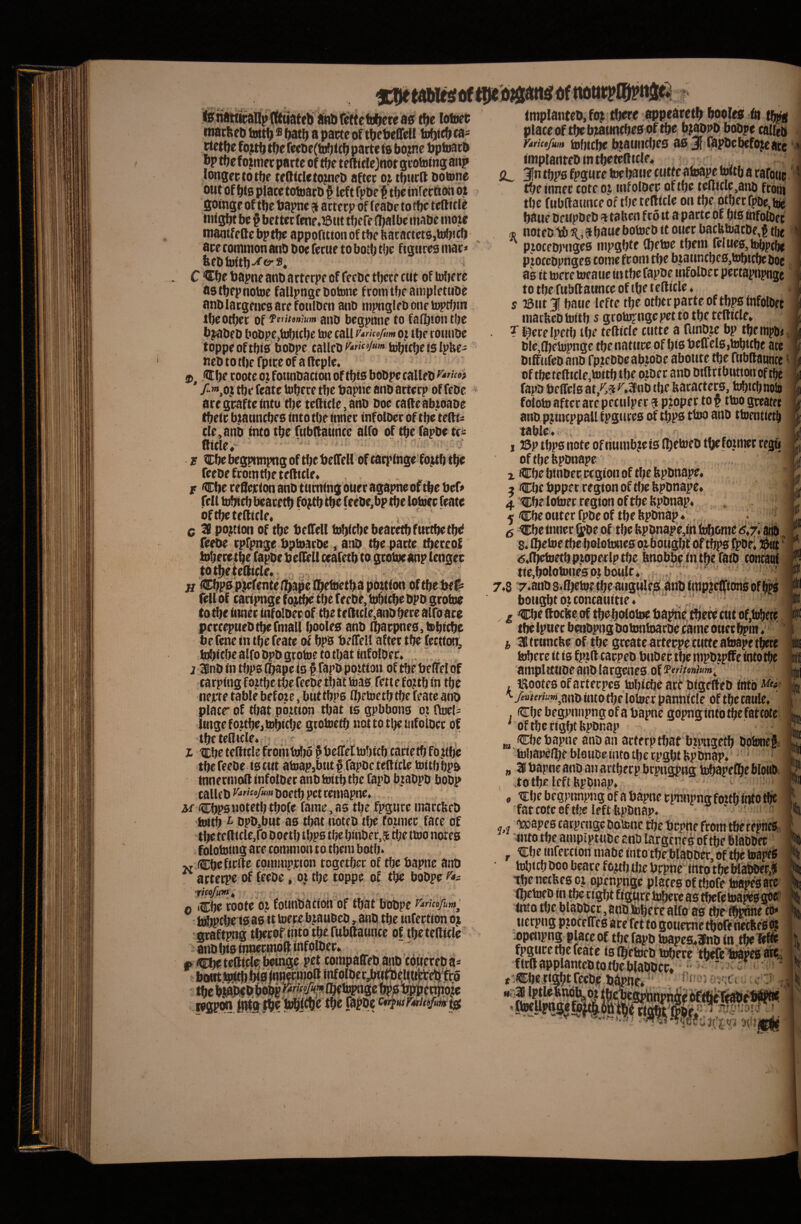 lofiiei; macbeb lottf) s ^atl) a parte of tpePeOeU t^tc^ ca- ^et()e tl)e re(ae(^ttQ parte ta bo^ne bpinacb w tbefojmer parte of tfjc teftirlejitot grototng anp longectotbe teftftletoineb after oj tbwrft botone out of bts place totoarb § lef t fpbc § tbe infer fton oj goinge of tbe bapne gt arterp of feabr tortjc tefticie niigbt be § better fene.iSiit tbefe (balbe mabe inoze ntaatfeKe bptbe appontion of tbe hacactets,bibirb are common aiib boe fecue to botb tbe figures mar« feebtoftb-^e^®* C €be bapne anb arte rpe of fecbe tbere cut of tuliere aa tbep notoe fallpnge boione f roin tbe anipletube anblargeuesarefoulben anb mpngleb one toptfjm tbeotber of ftrittntum aiio begpnne to fafbiontbe bjiabeb bobpejtobitbe toe call Mcef,m o# tbe roiiiibe toppeoftbia bobpe talleb tobicbeislpUe- neb to tbe fptre of a Reple. (itbe rootc ox founbacion of tbts bobpe talleb ’ /»»,oj tbe feate tobere tbe bapne anb arterp of febe are grafte intu tbe teRtcle, anb boe caRe abzoabe tbeir b.zauncbes into tbe inner infolber of tbe teRi^ cie,anb into tbe fubRaunce alfo of tbe fapbe tc^ Ride,- ■ r Cbe begpimpng of tbe belTell of car)'tnge fo^b tbe reebefromtljeteRicle. r Cbe reSeicion anb tuming ouer agapne of tbe bef* bftbeteRicle. c 31 poj^tion of tbe beRell iobfcbebear^furtbetbe fe^ rpfpnge bptoarbe, aifii tbe parte tbereof totbeieRicle. H fellof carifntge fo^t^ tbe feebe, tobibbe bpb groioe to tbe inner infolberof tbe teRicle‘anbbece airoace percepuebtbermall booles anb ibarpne0,tDbitbe be fene in tbe feate of bpb belTell after tbe fectton, inbitbealfobpbgrohietotbatatfolber* . ~ j IBnb in tbpb (bapeis § fapb pottion of tbe belTelbf carpingfojtbc tbe feebe tbattoag fettefojtbin tbe net-te table befoze, buttbps (betoetbtbe feate anb placr of tljatpbitton tbat ts gpbbons oi Rocls linge fo^ztbejisbicbe grotoetb notto tbe infolber of tbcteRicle. . r I tcbe tcRicle fromtoljo ^bclTeEtobicb carietbfojtbe tbe feebe i0 cut ab]ap,but§ fa{’bc teRicle mitbbpo tnnetnioR infolber anbioitbtbe Eapb btabpb bobp talUb boetb pet teniapne. cbpsnotetbtbofe fame,as tbe fpgtire inarcbeb ioitb ^ bpb,btit a0 tbat noteb tbe foiinec face of tbe teRlcle,fo b oe tb t bps tbe b>nber,$ tbe ttoo noteb folotoing are conmion to tbeiu botb> M CbefirRe conwnprtbn togetbee of tbe bapne ano arterpe of feebe, oj tbe toppe of tbe bobpe o Cbe rootebj founbacion bf tl^at bobpe ^“ricofum^ t^ebribao tt toere bzaubeb, anb. tbe infertion o^ gtaftpg tljerof iiito of tlje teRtcle anb bibinnecnibR infolber. »<tnbeteRicle;l»tnge pet compaRebanb cottpreba* ' neriboRinfolberjbRtbe^^^^ ipjpm Jugibe PiiiClit t^e fapbt lmplanteb,f(g tbere appearetb booleb ia place of tbe btatincbeb of tbe bl^bpb bobpe talleb rtticefum tobtcbe btatinclK0 a0 jf fapbe befoje ace iinplantrt» tntbeteRtcle. £L 3fb tbpb fpgnre toebaue tutteatoape toitb a rafotic' tbe innec tote oz mfoloer of tbe teRtcle,anb ftotn tbe fubRaunce bf tbe teRtcle on tbe ptbec fpbe, ^ batie bettpOeb a talten fcozt a parte of bia infolber m noteb tb ?(.> •joue botoeb tt ouer bacUtziatbe,^ t[je H pzocebpngea inpgbte Cbetoe tbeni feluebjtobpc^ ■ pzoccbpngea comefroin tf)c bzanntbe0,tobitbeboc ab it toere loeaue iutbe fapbe infolber pertapnpnge to tbe fubR aunce of tbe t eRtcIe ♦ s i3tit 31 baue lefre tbe otber parte of tbps infolbet inacbeD toitb s grotaf ngr pet to tbe tcRicle. . ? l^ere Ipetb tbe teRtcle cutte a fiinOje bp tbe «ipb« ble,^etopnge tbe nature of bi0beffcl0,tobttbe ace biffufebanb fpzcbbeabzobe aboitte tbe ftibRaunte ohbe teRtcle,toitb tbe ozbec anb btRcibuttotiof tfje fapo bf ffelb at,^,5 ^.^nb tlje bacarteca, tobtcl; noig foloto aftee are pectilpec ^ pzoper to f ttoo greater anb pjttttppall fpgurca of tbp0 tbto anb ttoenttet^ table. . I J3p tbp0 note of nuinb?ei0 Ibetoeb tbefoznter regb of tbe bponape X (Cbe binber, regioii of tbe bpbnape. i Cbe bppec regton of Rje bpbnape. 4 tCbe lotoecregion oftbebpbnap. , 5 Cbe outf c fpbe of tbe bpbnap ♦ , 5 -Cbe inner S?be of tbe tvpbnape,in Ibbome <^.7; aiib, 8. ibetoe tbe bolototiea ot^botigbf oftbpa fpbe; ' 6.nietoetb p^ope4:lp tbe bnobbe in tbe faR) ctmcatif tie,bolotonesotbo«,lt. ‘ ' 7.8 7.anb8.R)ctoetbeatigule;s anb inipii^ionaofb^ boiigbt oz concauitie tbe iptier bdibpng bo tontoarbe cante otiet bpin. I, SBituntfte of tbe greate arterpe tutte atoape ti^te antplectibe anb largenea of ferjunium^ , IRooteb ofarterpea tobiebe are bigeifeb into 'tTfB/erfom^anb into tbe lotoer pannicle of tbe caule. . Cbe begpimpng of a bapne gopnginto tbe fateofe ' oftberigbtbpbnap Cbe bapne anb an arterp tbat bzmgetb botonei ' tobapefbe blotibe into tbe rpgbt Hpbnap. m n .to tbe left bpbnap. fateote eftfec left fepbnap. M. ‘bito tbe anipipttibc anb largrnes of tije biabbec y Cbe tnfercton mabe into tbe blbijbec of tbe toapfS tobtcb boo beare fo^b Uze brpnc' ittro tbe bl^r,ll •d)enecbe0 cj opcnpnge platea of tbofe toap^ate 'in ' ■ ' •bpenpng- place of tbe fapb toapcs.ifnb in 3^ fpgtire tbe feate ia i^’etwb tobere tl^e‘iMpe0 are, ftcRappiantcbtotbcblabbcr. - * t;Cbt|tgfitrccbfb^ne*’ ^ HrUptleinob^at tbef \