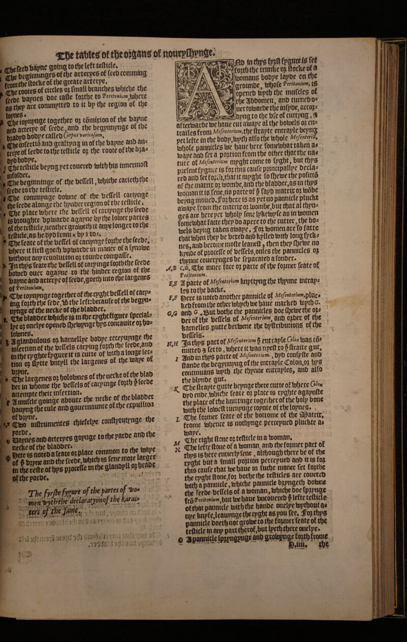 ^ tawesi ot t^e of ttotttygjynge atScSfi ccmming SitntAocbeoftJjegtcateattcrpc. K rootes of circlcg oj nitall btantljes to!)tcl)e ttje Sie Ijapncs boc callo fojtlje to Tentonium^\o])at agtj^p ace commptteb to it bp tlje ccgitni of tlje \ cbeiopnpngetogctljec oj comficionof tbe ba|»iie Sb actecpe of ffCDc,anb tbc bcgpnnpnge of tbc biabPD bobpe calleb Corpus ymofum, i cheinfectio anb gcaftpng in of tl)e bapne anb an^ tccpeoffeebetottjctefticlc oj tfje cooteoftbebja^ ? S tcfticle bepng pet coiieceb toltb fjis innecmott g®?ebcginningc of tljctje(rell,tol)it^i^t^’^‘^*^^^^^ fecbctotbetcllirie. (®be tommpnge botonc of tfte belTfU canpnge tbe fecbe alongc tbe bpnbcc rcgton of tbc teittcle. I cbe place iobece tfjc bclTeil ofcatipngetbefeebe ' ‘ febiougbtc bpiuacbc agapne bp tbe loloec pactes of tbetetticle,neatbec gcovoetb it anpe longec to tbe . teUicle.as be bpo fcom k bp 3 to /* _ , ? (ibe feate of tbe beffel of cacipnge f oUbe^tbe feebe, lubece it fitftgoetbbptoacbe in manec ofafpnotoe toitbout anp ccuoltitton oj coiinDe compane» _ ^ 'irttbps feate tbe beffellof cacpingefojtbtbe feebe botoeb ouec agapne to tbe binbec cegion of tbe ' bapne anb actecpe of feebe,goetb into tbe lacgenea i f^lferitonium^ ' ^ m fn tbps fpjllfpgutett fef f0 jtb tbe tctmUe oj ftotbe of 9 toomans bobpe lapbe cn tbe gconnbe, tubofe iS openeb toptb tbe tntifcics of tbe^lbbonien, anb tucnebo* uectotoacbe tbe infpbe, actoj^ bpng to tbe bfc of cuttpng, 9 Cte blauoei; tol^cSe I» ui ' lj)C oj otrelpc opm\) ®etognse concautte oj 50- I a guStilous ot, bacnellpe bobpe ^ infectionof tbebelfelo tacpingfojtbtbe feebe,anb in tbe tpgbtefpgMce itis tum of tton oj aptte bntpU tbe latgeneg of tbe wape ot .S?acgene0o?boiobmesoftbenecbeo^^^^^^^^^^^ ttt ia tDfjomc tpt teffelsof cacpmge t SmeSSSe» »f ««'“«i ^ fiauptig t()e nilc anp flouEtnauncc ot tljc cw>«w*w ^S'’M(unirtM tPioWpo connpnitMc «o , TO^MsanPPrtoopcssoMO tottupatPo anpipe iL'w»sr.-ss pftbepacDe< o : -r‘- .“l __ tw^P-k/tY^C^ me% ili' ;U. :h:P-i; r/Vvrt X - 1 -■ • i ;i t •i 'IrT ? 1 1 « * / aftectoacbe tne baue cu t atoape al tbe botoels o? cn* tcatks f toni Mefentemmx^^t lltaptt tuttaplt btpng petlcfte in tbe bobp.toptlj alfotbc tobole Mefenteria, tobofe pannicles toe baue becc fometobat taben u* toapeanb fet a pojtion fcom tbe otbec tbattbe na^ tucc Qt Mefenterium mpgbtcometo fpgbt, but tbps uiefentfpgitie is fottbis canfe puncipallpc becla* ceb anb fet fo?ib,tbat it rapgbt fo fibetoe tbe pofttto of tbe matctc oj i»ombc,anb tbe blabbec.as tn tbps toomanitis fene.iio pacteof § fapb matcicot toobe bepng moucbairoj^bece is as pet no pannicle pluent atoape fcom tbe rnatete oj bjombe,btit tbat al tbpn* nes ace becepet tobolp fcnelpbetopfcasintoomen fometobat fatte tbep bo apecc to tbe tttttec, tbe bo* toels bepng tafeen atoape* f ot toomenace fo fatte tbat toben tbep be bejceb anb feplleb toitb long fpen^ ne8,anbbetOiiiemoftelcanell, tbentbeplbetoe no fepnbeofpiocelTeof belfcls.onlestbe pannicles oj tbpnne coiiecpnges be fepacateb a fonbec. ' c,o, «be tnnec fate oj pacte of tbe fojmec feate of ferttonium, 28 pacte ofA^?A»^<''»‘“bnpttpng tbe tbpnne inteap* lestotbebacfee* . , ~ f/i' l^ece is noteb anotbec pannicle of MtMterim,piut* feebfcomtbeotbectobpcbtoebaucraacfeeb toptbG. c G anb G *.j5utbotbe tbe pannicles boc (betoc tbe oj« . * becof tbe bcffcls of Mtfenterhm^ anb ojbec of tbe , feacnelles putte bettoene tbe bpftributiops of tbe HH TlUtbpS pftttOf f ent caple Colon toas co? ' mtttcb ftfetto, tobeccittoasnpelltofllcaite giit, t anb in tbPS pacte of Mcfentemm., bpb ccnfplte anb flanbc tbe begpnnpng of tbe intcaple Colon,o? bps continuans toptb tbe tbpnne emcaples, ano alfo if cbe^Sapt?guttf bepngc tbece cutte oftobecc Oio» t>pb enbe tebtebe feate ot place ts cpgbte agapnilc tbe place of tbe nmtttnge togetbee of tbe bolp bone toitb tbe lotocft tucnpnge iopnte of tbe lopnes. . T Cbe fotmee feate of tbe bottome of tbe ilpatcip,’ feome tobencc ts notbpnge peccepueb pliicbte a* «r'Cbectgbtflaneojitelliclefnatooman* . w di lef te ftone of a tooman. anb tbe fojmec part of tbPBtsbeceentterlpfene,altbottgbtbecebeoftbe tvm buta fmall pojtion peccepueb anb tt tsf^ tbts caufe tbat toe baue in futbe manec fet fojtbe tbe cpgbt ftone,fot botbetbe tclliclcs ace toueteb tottb a panntcle, tobitbc pannicle bjpngetb botone tbe feebe beffels of atooman.tobtcbeboefpjpnge fe^fmtomumhXXt tD0 tJIlCOllf CCD P UftC tClltCl^ of tbat panntcle toitb tbe banbc onelpeto^bouta^ npe fenpfc,lcaupngetbecpgbt aspou fee* d^oj tbps pannicle boctb not grotoe to tbe fojmct feate of tbe tefticle tn anp patt tbetof.but Ipetbtbttc onrtpe* ‘ o ipaiii»iciefp>pngpnge.a«52®<^^f®jWtb^^