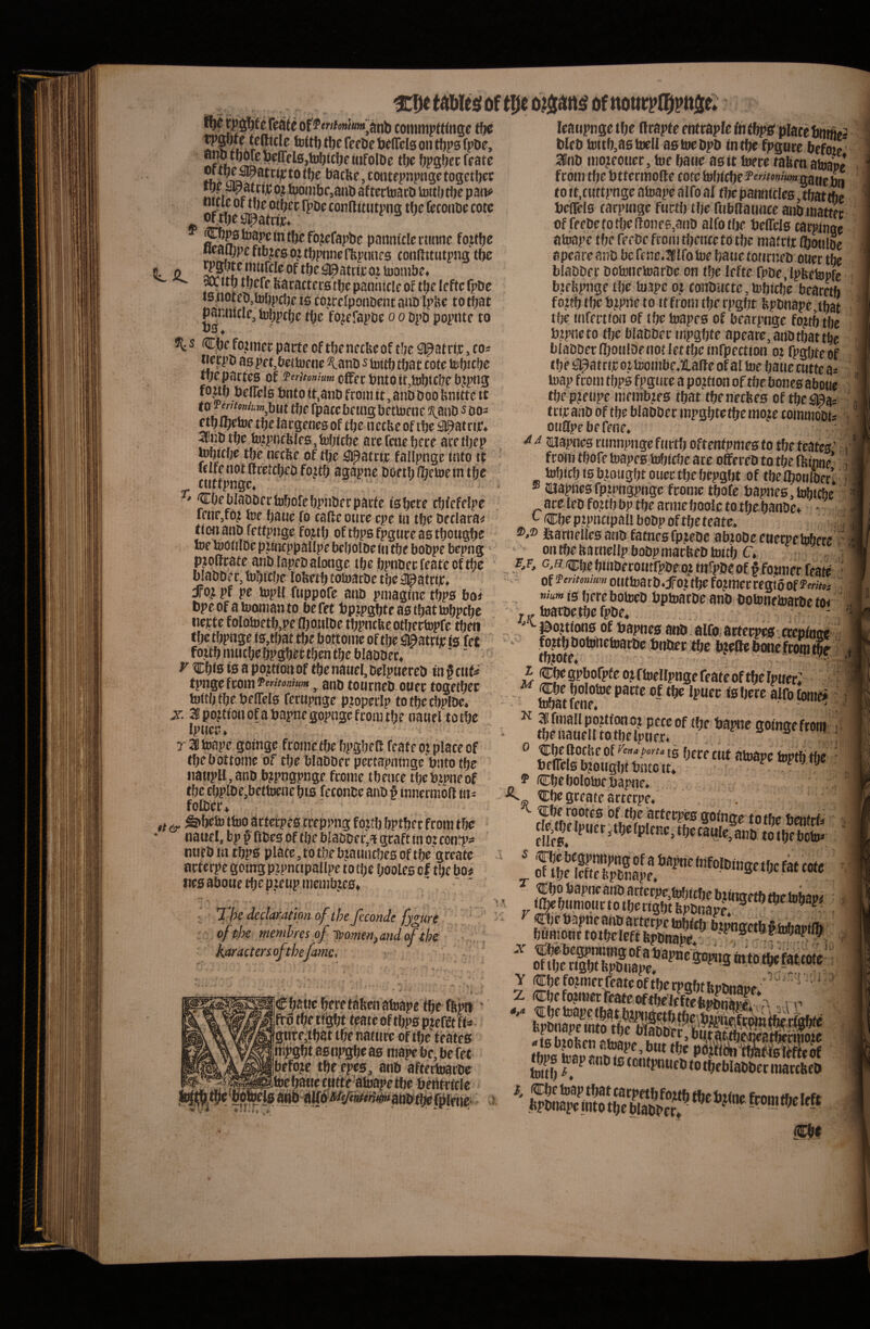 « T commpttinse fte ^ ieffete on tftps fpDe, llipg^f c ffatc f^f to tfje bacfte, coiitcpnpngc togetljcc Sfi i?^r bionibc,anti aftcctoarti Ujiti) tbc pan^ of>^e ^^atrtic connitiitpng tlje feconbc cotc ** fojcfapbc paniiiclc ctuinc fojtfje wauipc fiojcs oj tljptine ffepiuif5 tonftttutpng tbe ^ WJtf) tbeff baracters tljc paniuclc of t^e leftc fpDe t0flOtep,U)i)pcbP is cojcclponbent auD Ipkc totfjat paninclc, tobpcfjc tfje fo^efapbe 0 0 DpD popnte to •US 4 %s <Cjl)cfo2mei:parteoftf)enfc{vCofc!jcSipairij:,tOi iiecpti as pet,bettvene KnnD s toitf) ibac cote tebicbe tije partes of TerUon/um cffec Ptito it,ti^tc&e bjpng fo^uf) belTels bnto (t.anb from it, anD boo Hnittc tt (0 Pwfon&w^jjut tfjf fpatebemg bcttocne 5{^aiiD s do- etbibetof tbe largenes of tijte ttecbe ohbe apatrijC* Sfnbtbe bijipncfelfs,it)J)itbe arefeaebcce aretbep tofjicfje tbe necfee of tf)c :^atcie fallpnge into tt felfenotttcetcbeDfojtb agapne boethlbcioeintfje ' COeblaDDerfofjofcbpnberparfc is^ete cfjkfelpe fetipjfoj toe f)aue fo cade ottre epe in tije beclarai* tioit atib fettpjige foj^tf) of tfjps fpgttre as tfjougbe toe loOiilDe piincppallpe bebolDe iii ttjt bobpe bepng pjotfcate anblapeb alonge ibe bpnbee feate of tbe blabbf r, tobiebe lofeetb cosoarbe tfje ^patrijt, dTojpf pe topU fuppofe anb pmagiiie tbps boi bpe of a toonian to be fet bptpgbte as tbat tobpcfje iiette f olobjf tb,pe ajoiilbe tbpncbe otliectopfe tbeti f bc tbpnge is,tbat tbe bottoiiie of tbe ^atrir is fet fottbmiicbebpgbecfbcntbeblabbec* ' ' r ^bis is a pojtion of tbe nawel, belpiiereb in § cttfs tpngefrom!?t»^^««aw ^ anb toiirneb ottet togetbec toitb tbe beifels ferupnge pioperlp totbecbplbe. X. 3po?tiociofabapnegopngcfroiMtbe nauel totbe Ipttee» r 38 toape gotnge frome tbe bpgbed feate ot place of tbe b ottome of tbe blabbec pectapninge bnto tbe iiatipH, anb b?pngpjige frome tbence tbebmneof tbe tbplbe,bettoenc bis feconbe anb f innerniod iti^ folber» ,f ^ ^beto tbjo artetpes creppng fojtb bptbec from tbe • nauel, bp p ftbes of tbe blabDec,i graft in or con?p- nueb in tbps place, to tbe btaunebes of tbe geeate aeterpe goiitg ptpntipallpe to tbe booles cf tbe bo# nesabouetbep.ieupmciiibjes* - - - dedamhn of the ficonde fygure of the memhres of -tt!omen,and(fths ■ , ' , karactenofthe/ame, ' taole^( of tl)t o?3att5 of ttotirwttjjft l|iire,tbat tbe nature of tbe teates liipgbt as npgbe as mape be, be fet ;befo?e tbe epes, anb aftertoarbe r^^-^^^tecbaue cuftf'ateap^ leaiipnge tbe drapte enttapfe fntbps? placcbnmgi Web b)itb,a6tt)ell astoebpb intbe fpgure befoie* 3fnb mo^eouee, twe batie as it toete taben atoape from tbe bttermode cote lobicbe «#<>»/«»« to it.cuttpnge atoape alfo al tbe pannicles, tbattbe beflfls carptnge futtb tbe fubdatmee anbtnattec offeebe totbe dones,anb alfotlje beCels tatpinae atoape tbe feebe from tljence to tbe matrtr (bwilDe apeare anb be fene.llfo toe baue totirneb ouer tbe blabber botonetoarbe on tbe lefte fpbe.lpfeetopfe bzebpnge tbe faiape ot conbucte, tobiebe bearetb fottb tbe bjipne to tt from tbe rpgbt bpbnape,tbat tbe tnfeetton of tbe toapes of bearpnge fojitb tbe bipneto tbe blabber inpgbte apeare, anbtbat tbe blabbccdjoulDenotlettbcmfpection otfpgbteof tbe patrii: oztcombe*lladeofaltoe baiiecutte a- toap from tbps fpgme a pojtion of tbe bones aboue tbep?fupe membtes tbat tbenecfees of tbeg0a= ’ tripanD of tbe blabber mpgbtetbemoje commobis ■ otidpe be fene* '.:\J iiaapnes rimnpnge ftirtb oftentpmes to tbe teates ' ■ f coni tbofe toapesMiebe a re odereD to tbe fkmne’' iobieb is btotigbt oiiectbebepgbt of tbeJboulbert i ® iliapnesfpipngpnge frome tbofe bapnes,l^tcbe ace leb fo?tb bp tbe arme boolc to Jbe banbc* - LCbeptpncipalibobpoftbeteate. ,1 ®*® feamelles anb fatnes fpjebe abjobeeuerpeMere ontbebarnellp bobpmarbebhjitb C, fA c,B cbebtnberotitfpbeo? infpbeoff fouitec feafe of otitiBarb.jfoji tbe fojraer regio of^wv^i «tum ts bereboteeb bptoarbe anb boionfltjarbe to< Juatbe tbefpbe* ^ojtions of tjapnes anb alfo acterpes cceptot» ' g Doto«ci»arbe btiber tbe bjede Jbonefeom % i ^pbofpfe ojftoelfpngcfeateoftbelpwer; M bolotoe parte of tbe Ipuer isberc alfo fonie^ bibat fene. ^ ^ ^fmallppttfonot peccof tbe bapne gotnge from tbe natiellto tbe Ipner. 0 cbedoche of v^en^tporu ts fjfff cut atoape hiptb tbe bfdels Wongbt bntett. ^ ^ ^ ^ 5* Cbe bolotoe bapne. ^ Cbe greate aeterpe. ^ ^be rootes bf tbe arferpes gofntte fotfw Urtifrfi Y Cbe fo?mcr feate of tbe rpgbt bpbnape* z cbe fo?mer feate of tbe^r * - - ^ tcbetoapetbatbjpiigctbtbi bpbnapeinto tbe btabbec,„ur», -tsb.mbcn atoape, but tbe polbn imiNsierrcot f P«nt,U(oiiw„et,S4KSSS «1«