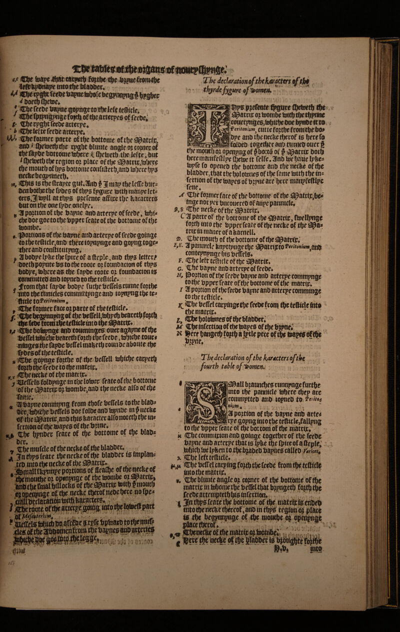 9t#t({«tnape ^t^elilaMiec* boetbfl^eiDe* ! CbcftfDe lwij>«e sopngtto tbclefc tcdicle» ' scbtfpjpngpngcfo^oftbeamcpegofffcti^; /• tcfjccpgbtrceocactecpe* ■ *'CbcJ^ftffpfbcactccpc* , fM Cbc.ft^mfc pacte oftbc bottonic oftbe^atcfp, atiD »■ fl^ctoetbrtjc ipgbtbitintc angleojcoznccaf tbefapDebnttometobece t t^ctcetb.tlzc ilefte; but t fl^ctoctb tbe regton 01 piate oftfie ^atctc,ttj^.cc (be itioucb of bps bottoiiie confiiletb,anb tobtrc bP3 Pecbebegpnnetb* u, €tftB ts tfje ftcaptc gut.Stob § 3[ map tbelelTe btics Pcnbotljetbe fpbes of tbps fpguce toitb inanpe lets tct0,31topU attbpa pzcfente affipc tbc bacacttr0 tut on tbe one rpDe onelpe. j 31 pouion oE tbc bapnc anoatterpcoffeebe, tobl* ^ Doe goe to tfje bpptc Teate oE tbe bottonic of t!;e ftioinbe, ■ to tbe tefticle,anb tbcce iopnpiigc ano gopng toge cbfcanDfonftitutpng* f W bobpe Ipkc tl)c Epice of a (leple, aiib tbP3 lettecp ' boetb popotc bs to tbc tootc oz Eoimoacion oE tbp0 bobpe, tbbcce aa tbe f apbe cobte oji fotinbation 10 KoiunnttebanbiopnebeotlieteElicle* .; . f ftom tbat fapbe bobpe fucpe be(Tela rtinne fojitba ^ imo tbe tbmclea ccnimittpnge aiib topnpng tbe te^ , Cbe Eojmec face oj pacte of tbe telEltlf. r 'CbebegpHBphgof tbe beirelljb^ptbbeacctbfojtb! ; ll^febeEcoiitxbetefl^Ietntotbe^atctiB* 1) M '^e bof^ge anb toumtngea onecagapneoftbe tjeEfcUwbebeacetbfojtb tbefeebe ,iabtcbe towc« «fngeatbe fapbe belTel inafee tb counbe aboiite tbe fpbesoftbetelWcle. ... # '(Cbe gopngc fojtbe of tbe beETeU tobicbe cacpetb bJ?tbtbeffcbetbtbeiiiatcl]c, * . , *»)Cbeiietlieoftbeniattfp. ' - ^ ' '»lOeETela folbpiige in tbe lotoec feate of tbe b ottomc of tlje ^atcip oj toombe,anb tbe netUe alfo of tbe Tame. ■ ' . ^ ^ « 3fbapnecommpngfcom EbofebeETeia toroeblabi bbf 'tobttbe beETelo boe folbe anb bjpnbe in p tiecke Of tbe #atciv*,anb tbis barattec alfo notetb tbe «i* fcrtiottoftbemapeaoftbebiine* _ ^ «,& bpnbec feate of tbe bottoine of tbe blabs ‘ bfc. ' , , ^ - tEbeniufcIeoftbeiiecbeoftbeblabbec. ' j ;jn tbp0 feate tbenecfee of tbe blabbec 10 implait:: fttifn fif * tbetnoutbe oz openptige of tbe toonibe oj #atcip, ^btbe DnalbtUocfea of tbe#attip toftb f nioatb pjtojiicflpnsc t^cofncDcft^tc noipc^ oiqpcflpnoc oitpc (lecnc tmpttfftmmmsr fe • p w. .*. w - 't sj;.. ry. thjrdefy^m ofnKmtk fi^ps pj^eate #gttre Ebefwtb (be l^atcijc oj^Eoombe foitbtbetbptate |c0ifet;mge0,lobitbeboe bpnbe ttto feritonium^ ciitte fo?tbe fcoiii tbe bo> jbpe anb tbenecbetfiecof 10 betefo _-..iifolbeb togetbec anb ttirncb otiec P tbe mpmb ot openpng of f botto of p 'Ji^atciic botb bccemamfedipe fbetuc tt felfe, 3fnb toe baiie Ipbes bjpfe fo ppeneb tbe bottonic anb tbe netfee of blabbec,tbat tbe boloimea of tbe fame tottb tbe in^ fertion of tbe toapea bf bzpne ace bete manpfetWpc fene, ^ ^befojnicrfaceoftbeboftome oftbe^J^atcf]C,be* f nge not pet bncotieceb of anpe pannicle, neclve of tbe #atcip» c 31 parte of tbe bottomeof tbe^ibatrtjc.ftoellptige fojtb «ito tbe bpper feate of tbe netbc of tbe #a* tcijcinnianecofakarnell. ©. Dbe moiitb of tbe bottome of tbe ^^atcEp»' 3Epaim!rleimpttpngetbe a^atnjctof^wiw/fewjaiib contepnpnge bf 0 b elTcla* F. Cbe left tcat cie of tbe !3^af ciic* G. ;€be bapne anb artecpe of feebe* ff, ISojtton oftfie feebe bapne anb actecpecotnitipnge totbebppecfeateoftljebottomeoftbe matcfp» 136 po.ition of tbe feebe bapitc anb acterpe comminge totbetclficlc* iCbe beltel cacpingetbe feebe fcotn tbe feSitle bito tbcmatcip» . CbebolotoneaoftbeWabbec*’ M €beinfectiotioftbebiape0oftbefi|^eii •b?piie. ., • Thedeclaration ofthe k.‘tr4Ctm off Ac ! fourth uhk ofTeomm, ^all biattncbea ttinnpnge fttctbe mto tbe paiiiiicle tobete tbrp ate commptteb anb topneb to nimt . . , , . j i •. , jK po^itibn of tbe bapne aiib acte^ tpe gopngintotbe teftttle,fallpng to tbe bppec feate of tbe bottom of t^ matctjc, K Cbe comniicion anb goinge togetbet of tbe feebe .tobtcbiaelpHen to tbeb^beb bapiiea calleb ^ Cbe left ttfticre» Cbebelfelcatplngfo^tbtbeteebe fcomtb^teSitle intotbemattip. v. cbeblimteanglco^ co;mec of tbe bottbtne of matclic in tobomeibebelTeUbat b^pngetb fb^tbe jfe ebe attemptrtbbis bifettion» 13ntbp0 feate tbe bottoiiie of tbe niattfit iEsenbeb intoibenecbetb^eof ,anbin tb^ tegEdtibf place (0 tbe begpimpttge of tbe tnoutbe b^ b^^tme placetbetbf* , ‘ ‘ * • te CbenctiebftbematcEpb>topbi6^ - ! : • * g J§m tbe netbe of tjbt JiMbec ia bjtbtE^te|j^f^ aitg