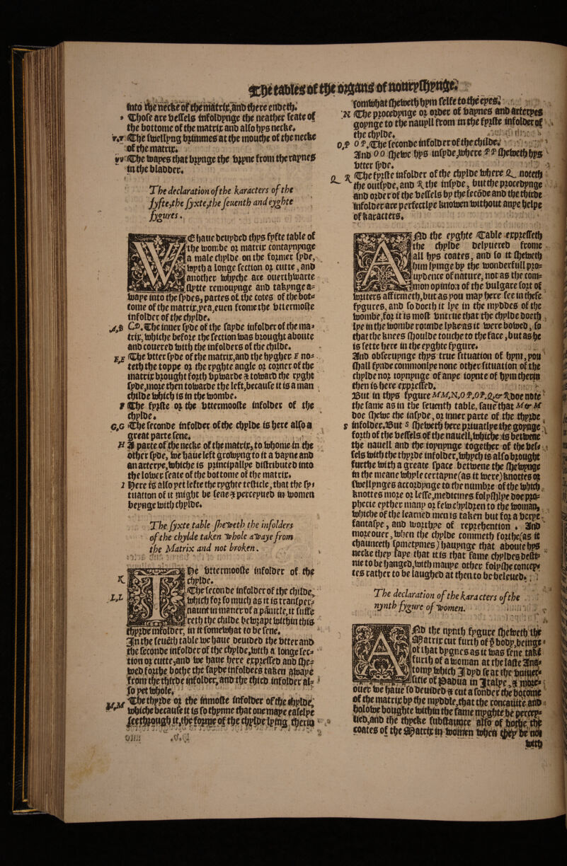 Ihtd m ne(ftedrt^dtt:(|i$i§nti t^ece etidetf)*' * ^!)ore ar( deffel0 MolDpnse tbi neatur (eat$ m t6e bottome of tbe matciic anb aUo bps netbr* nr (dbe (toeUpng btunmes at tbe moud^e of tb^ ntcbe oftbematrtjc. vtf^Cbs toapes tbat btpnae tb^ f (om tb( tapnr0 tntbcblabbec» Thededarattonofthe karacters of tht jyftc^he fyxte,thefeuenth and ey^hte (Cbattcbctipiicb tbps fpftt wblc of tbe tootr.bc oi niatrijc tontai>n{)osc a male tbplbe on tbc formet f?Dr, teptb a longe fettion oj ciitte, anb anotbec U^pcbe ate ouertbtoarte flptte tenioupnge anb tafepngea= fuape mto tbe n>beO] pacteo of tbe cotes of tbe bot>^ (omeoftbeniatrtic,pea,euen ftometbe bttermo^e tnfolbec of tbe cbplbe. C®,lEbe Innet fpbeof tbe fapbe tnfolberof tbema^ tcljt, lobtcbe befote tbe fectton ioas biougbt aboute anb couereb toltb tbe mf olbets of tbe cbtlbe* o Cbebttetfpbe oftbematttjc.anbtbebpgbcc ^ «o* tetbtbetoppe o; tbe rpgbte angle oji co^netoftbe inattijc biougbt fojtb bptoatbe ^ totoacb tbe tpgbt fpbe,ino^e tben toiuatbe tbe left,becaure tt is a man cbtlbe bibicb io in tbe toombe. f Cbe fp^de 0} tbe bttetmoode infolbet of tbe tbplbe» cfi Cbe feconbe infolbet of tbe cbplbe is bete alfoa gteatpatterene* r , ■ ^ 3 patteoftbenetbe oftbemattijtjtolobomein tbe bibet fpbe, me baueleft gcotopngto tt a bapne anb anattetpe.fnbi^eis p.tincipallpe biftttbuteb tnto tbe loioet Teate of tbe bottome of tbe matciit* 1 ^ete fe alfo pet Icfte tbe rpgbte te dide, tbat tbe fp» tnatton of it migbt be fene^petcepueb it» tnomen bepngctoitbtbplbe* * .»0 - i r. The Jyxte tahle jhe^eth the hifolders ' ofthe chylde taken eehole aTeayefrom the Matrix and not broken. ' i‘i’. ' j^e bttermoodc infolbet of tb? ^plbe. (©jefeconbe infolbet of tbe cbtlbe; b^icb fo? fo muci) as tt is tcanfpec? natint in mancrof a paitcle^i t Ttiife 'tetb tbe ebtlbe behjjapt iBttbin tbf0 :■ i ♦ f- Tomttbatlbefoetbbpinrelfcfofbe^esj , 'K (froe ptocebpnge oj ojbet of bapnes anbactecpes gopnge 10 tbe naupll ftom in tbe fpjfte infolbcc tif . tbecbplbe» , ^ 0 ? o3',((i[j)efeconbeinfolberoftbecbilb^' SBiib 00 4|etoc bps infpbejtobete *' bttecfpbe. 0 ® Cbe fpille infolbet oftbe cbplbe tobere iL notetb ^ tbeoutfpbe,anb *{.tbe infpbe, buttbeptocebpnge anb otberof tbe beffels bp tbefecooeanb tbetbitbe infolbecate perfectlpe bnobicn mttbout anpc belpe ofbatacters* 'r tbpjbeinfoRei^inttfometobattobefene. 3[n tbe fetifib table mebaue beutbeb tbe bttecanb tbefecbnbe infolbet oftbe cbplbe»t»ttb a longcfec-' ttottotctittejanb toe baue bete ejcpjeffeb anb ^e- toeb fojtbe botbe tbe fapbeinfolbecs taben sjoape fconttbetbdbeinfolber,anbtbetb<eb,fnfplbetal» ‘ jTopettobble, ' ^ i/jce ^betbpjbe ojt tbe mmolle fnfolber oftbe ^plbt' tnbicbe becatife tt is To tbpnne tbat onemape eafelpe fbcrio ^ c. ■ • • ^ i- T jj ve ' V # fZ. •« .i r < i / : / \\ 'i' /15b tbe epgbte Cable erpteffetb tbe cbplbe belptieteb ftome all bpo coates, anb fo tt (beioetb btmlptngebp tt^ toonberfnllpjcft: lupbetice of natute, not as tbe cotti* inion opinion of tbe bulgate fo;t of totitecs affiemetbjbtit as pou map bete fee in tbefe fpgure0,anb foboetbit Ipe in tbe inpbbes oftbe toontbe/ot tt is mod bntrtie tbat tbe ^Ibe boetb ipe in tbe toombe tounbe Iplteas it toere boloeb, fo tbat tbe bnees (boulbe to ticbe to tbe face, b ut as be is fette bete in tbe epgbte fpgure. 3lnb obTettipnge tbps true fttuation of bpnt,pott cbplbeno); topnpnge of anpe iopnte of bpmtberin tben is bete ejcpjeireb* ■ JSut in tbps fpgure-w‘A/,N,of,o?,i2^j^poenDtr tbe fanie as in tbe Tetientb tablc, Tatie tbat boe (Ijetoc tbe infpbe, o? inner parte of tbe tbpjbe s infolbee«^ut ^ lbefoetbbetep;iaatlpetbrgopage fottbof tbe beiTelsof tbe nattelbb^ij^itebetloeae ■ tbe nanell anb tbe iojnipnge togetbet of tbebef#, fels toitb tbe tbpjbe infolbet,tobpcb is alfo bjougla fnttbe tottb a gteate Tpace. bettoene tbe tn tbe meane tobple cectapne(as it toere)bnottes oj fioellpnges actotbpnge to tltenunib^e oftbe lobicb. bnottes moje ot leire,ntebtctnf s folpfljlpe boep|0« Pbecie eptbec manp oj feto cbplo?en to tbe toomat^ tobtcbe oftbe leamcb mcn is taben but foj a bcrpe; fantafpe, anb toottbpe of rei^ebcntion ♦ aWb' . . ^ -tbat fame cbplbesbedp metobebangeb,toifbmaitpe otbec foipfltecomep» tescatbfttobelaugbeb attbentobcbeletteb. ’; The declaration ofthe karacters ofth nynth fyvurc of leomn. t •' * j ^ * i i l i .0 |5b tbe npntb fpgure (betoetb tbe ^attijrcut furtbof §bobp,be(ngot of tbat bpgncs as tt toas Tene tabi tuttbofatooman attbelaftc3n« OHw toe baue fotieuibeb d cut a fonber w Botoine «f^jemattitibptbe n)pbble,tbattbe cbncauireaab I f 4 4 I