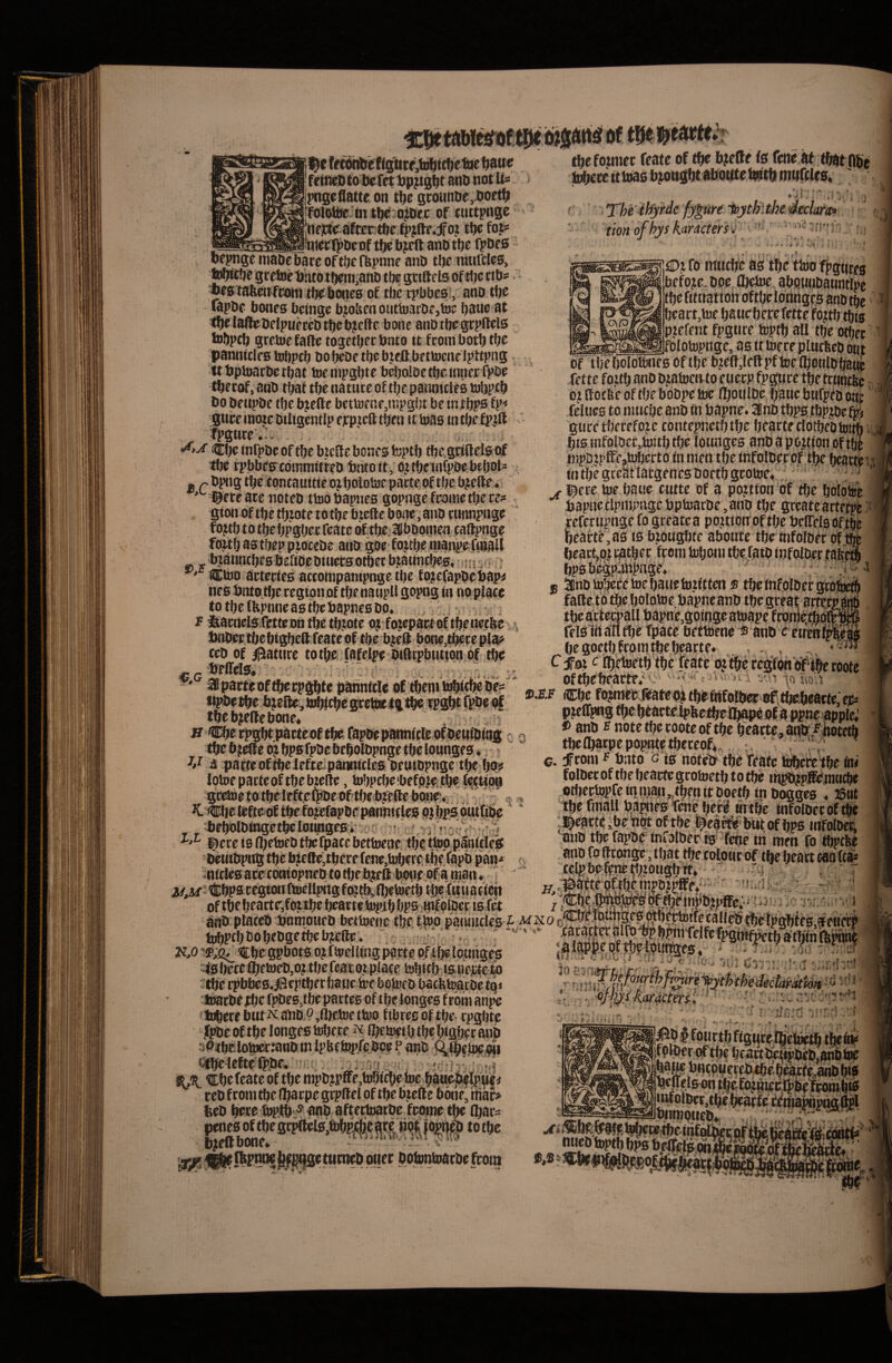 I^e If^etigtire,f0^tc^eli]e ^atr« fdtieOto Defet ano not pngcflatte ott ttje st:ounDf,.Doet^ folottc fw tft<J;ajDcc of cuttpnge ttejrte^afcer^ctpjfte.f oji fo> _btgcTpDepf tljc bjcft anb tbe TpDfS orpnge maoe bare of tJje ffepnne anb iniifclcs, tobicbif srftoeUntoib^m^anb tbe gttftf Isoftljc rtbs «istabmfroitt tb^bottes of tbc cpbbes;, ano tbo wpOf bones bcingc bjobm otitto3rDf,toc batic at tbtlaftcOclpukeOtbtbjeftc bone anotbegtpfttls tobpcb gretoe fafte togetbf c bnto it fcom botb tbc panniclfs tdbpcb oob^etbebjeft.bettoenelpftpng, ttbptoarOcrbat toempgbif beboloetbe.inncrfpoc ’ tbecof, anO tbat tbe nature of tbe paiinicfeB lobptb Oo OeupOe ibe bjelle bettofne,njpg()t be tnibps gneemotcotligcntlpejepjclltkn itioas intbefpjft tpgnre .- . •fitA CbtinrpOeoftbebteSebonesteptb tbe.gctftelgof tbe ipbbeffcdmnittteo bntott, ojtbelnfpocbtbol- £ (T concQuiti^ o^tjolotsjc p^ctcof tl)c^ . ' ©ere are noteo ttoo bapncs gopnge feome tb'e re* gionof tbe tbiote to tbe biellc bone, ano tunnpnge fojtb totbe bpgbec feate ofctbei^lboonien caffpnge fo^b as tbep ptoceoc anot goe fojtbe niati^e fibaU _bjaiintbfsbeftOeOinctsotbetb|;anne|^£!,*i;n i :■ ®bJO actecies attonipampnge tbe fo?cfapOcbap< nes brtto tlie region of tbe naupU gopng in no place to tbe (fepnncastbcbapnesDo* : ■. ; r &acnel5!fettcDntbetb:ote ojfojepaetof tbe netftev’ iMioectbe btgbeft.feate of tbe bteff bone,tbece pia# ceo of patiite totbc; fafelpe Oidrpbntibn df tbe ^- •btirels, , : r . . ' atpactieoftbecpgbte panntcle of’^em wbi^oes' «l^e tbe b jelie, b^icbe gcete ig tpgbt fpbe of tbe b;efte bone* tbefotmer feate of tbe b?e(fe is fene af tbat flbe febece tttoas bjongbt abOttteiwtbmuffles, « .J * Theif^rde fy^ure tion of hys karncters. ■, <. - * f , i ■* ► «.t 1 fo ittucbe as tbe ttoo fpgtires befo?e. Doe. ©elue abqtinoaurttipc tbe rttitattoii oftbe lonngeO anb tbe beattjUic bauebece fette fojtb tbis piefent fpgnre tuptb all tbe otbec folotopnge, as it toece plucbeo oiit of tbebolottnes of tbe b?eft,leflpf bje lbotilbbanr otffotfeeoftbeboOpetoe /botilOe bauc bufpto Oitj; fclues to nuicbe anO tn bapne. 3notbpStbpjDc ipf gticetbecefD^c contepnetbtbe bearteclbtbeotottb bis !nfoloec,hjitbtbe loitnges anO a po.ttion oftbe ijipOtpffeptoberto in nien tbe tnfolbec oftbe beatfeii in tbe gteat iatgenes ooftbgcotoe* V ' ‘ l^ere toe bane ctttte of a pojtton of tbe bolofee bapne clpnipngc bptoarOe ,anD tbe greatcartecpe % H tbe beefle oj bpsfpOebebolbpnge tbelonnges *, V a pacte oftbe lefteipannicles oeutopnge tbe bg? lotoepaiteoftbebiedc, tobpcbebefp.te-tbe C^^tiop gceteeto tbeleftefpoe of tbe b?tfte bonP. bebolbtogetbelotingcsi , .. _ l^ere islbetoeotftcfpatebetbjene tbetogpanfd^^ ;e,a3 is btougbte abotitc tbe tnfofoer of tbe . beac^pjrgtbec fcom toboni tbe fato infoloecrafe^ bps bigpjihpnge* i'- -1 f anotobcfetoebanefotitten ® tbe infolOecgrotoe^ falle tbtbe bolotoe bapne anotbegreatartitcp tbe afctei|ail bapne^goinge atoape fcometbolr, „ fdsitt an tbe Tpace bettiJene ® anb f ewenirof fjegoetblroititbebeacte* .. . . , C fQ% c ibtbjetbtbe featf ojtbgre^bneiftbcttiote 0ftbebeacte**'O' >vi ',r, uoU Cbc fojmi^Jiate4tbfc«folto 0f,tkbeacte:ep* p^effpng ^ebtactelpbetbell^gof a ppne apple*' *> anb ^ note tbe coote of tbe beacte, antt/tiotetb tbclbatpe popntetbcceof*, ., ' i' ' G. fcom f bnto g ia notebtbe teatc tbbeWtbe iiw' folbet of tbe beaefe gcoioetb to tbe m^pj^jnti^e otbecbjpreiniiian,.fbenitDoetb in boggcs * ©nt tbe fmall baetes Tcnf bet^ Hrifie tnfolbec of tbe l^eacte^bebot Oftbe l^ea^blitofbps mfolDea anb tbe fapbe infolber ^-febe tri meti fo tbptfee anb fo llronge, tbat tbe toloticof tbe beact caaTea» * i ” C\ :H;. '1 r, ? j*. J H •i- .'■^Vv of tbe beacte;fottbe Wte itopib bps infolbcc ts frt V . ■Jhjacbe tbe fpbestbe partes of tbe longes f cwn anpe h^ere but^^ abb.9,fl)ebje ttoo ftbres of tbe- cpgbtc fpbe oftbe longes tobcce ^ Ibetoftb tbe bigbcc anb a04bElotwa:«nbin IpHcbip.fcbce p anb ,^tbeb)e|ii «bt-leetfb>be. Cbe feate Of tbe mpbtpffe^toliftbeioe baa^?lppl< ceb fcom tbe (baepe gcpllel of tbe btede bone, ibaci lbac= totbe btdlbone. puer bobmfpacbe fcom r r 'f »V -f • • *. V i 'J 'ii; ntfolbcctbe ^arte f^tbapnp^fipl bnmptteb* - ;K'