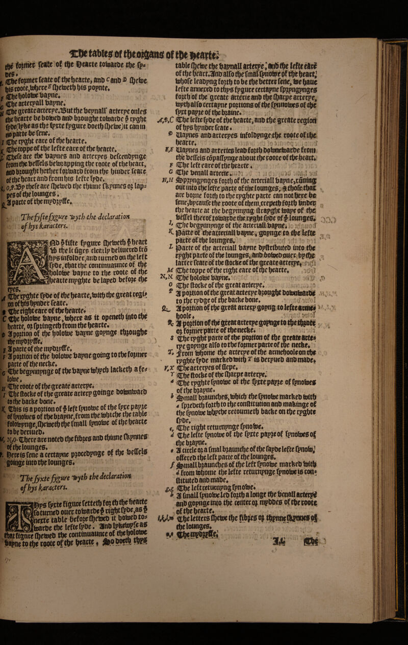 0 foimer feslte o( tiDt toioacDie i^e Df0^ , ®^cfojntctftateof t^ftcarte, and cano © (^etue ■ m tootc,to^ece^ Il^etoet!) ^is popnte» f (©jebolotwDapnc* C^c actetpall Ijapne» l ipcgt^tcactccpe.iSuttfjetjepnaU’ atferpeonles tDe ^eacte beboineD anb b^iou^bt toiuacbr § cpgbt ag t^e (picte fpsurc b octl) l^ctocjit can in no pacte be fene» I Cbt tPSW eace of tbcbcacte. ,r c^toppeoftl^e Icftceaceoftbe^cacte. I C^fe ace tbe (japnes anb actccpcg ocfcenbpnge ftotn tbe bcffelg beteapping tbe cootc of tbcbeact, aoD btougi)t betbec f oitoacb fconi tbe buibec (eate oftbebeactanbfcombig leftcfpbe. I o,f.©P tbefe ace llbe^eb tlje tbWMie ffepiines oj lap^ ' pfgof tbe loimgeg. pacte of tbe mpbjpfife* . . 'The fyftefygure Hyth the declaration.. ^ ) . of hys karacters. ; f K I' ' '' . ■ “ * • • T - ^bfftfte fpgttce Cbetoetbfbeact ib tbeltfigre rleEilpbeUuetcbfro bpginfolDec,anb tucneb on tbeleft fpbe.tbattbe tontinttawnceof tb? boloine tjapne to tbe coote of tbe jbeattempgbte belapeb befoje tbe , TOecpgbte l^be of tbe beacte, tottb tbe gceat regf ? ’wtofWgbptibecfeate. ab ; . I rij^t eate of tbebeacfe* > Z (tbe bolotne ^apne,lobeee as tt openetb bito m j ^ipojtioii of tbe bofotoe bapne goptige tbjougbe ^enipbtpffe* «aipacteoftbempbjpffe* , , F Jfpojtioaoftbe bolotoebapnegoingtotbefojmet pacte of tbe necbe* • ,, . ; cbebegptwpngeof tbebapnetobpcb lacbetb a te# lotoe* I Cbecooteoftbegceateactecpe* ^ ^ j tEbeftocbeoftbegceateactecpgoinge bobinroaco totbebatfeebone» , , , - ^ _ C Cbis ig a po^ttton of f left fpnotoe of tbe fpte p apje of fpnotoes of tb< bjapne.f com tbe tobtc^ tbe tabie folotepnge.fbetoetbtbefmall fpnotoe oftbebeacte tobeDeciueb* „ ; 1^0- HDbece ace noteb tbe ftbjes anb tbbine fapnnes' oftbelounges, «,„«•*!« l^ereigfene acectapne pjocebpnge of tbe ueuets gobigetntotbelonngeg* Thejyxte^iuretvyththedeclaratm of hys karacters. iifeps fpicte ffgtice fettetb fo? tb fte bearte fotncneb otiec totoacbe# w^t^oejaaft neyte tabie befojefbetocb tt botoebto# isaiyEitoacoetbeleftefpbe. ^cwfbetteb tbe conttnuawnce of tb^g wote of tbe beat»« ^0 tabie (betoe tbe bapnall actecpe ] aitb tbe (efte elti of tbe beact*Knb aifo tbefmaifpnotoe bf tbt beact,^ tobofe leabpng fo^tb to be tbe bettee feite» toe baue tefte anneeeb to tbpg fpgttce cectapne fpfpngpnges f o^tb of tbe gceate actecte anb tbe (bacpe actecpe, toptb al fo cectapne po^ttong of tbe rpnnotoes of ifyc (i>t:tpapteoftb6b.iatne* ,/ Cbe lefte fpbe of tbe beacte^ anb tbe gceate cegfoii ofbpgbpnbecfeate* ® ioapneg anbactecpes fnfolbpnge^ibe coote of tbe beacte« .. ioiai-cc;-. i..; ..i iuapneg anb actecfesleabfoj^tbbotottetoacbefconr F Cbe left eace oftbebeacte* G CbebenaUactecteiii Ji <; ? / u jci .sJiM Stptpngpngeg foid) of tbe acteciall bapne,taiHn5 out into tbe lefte pacte of tbe ioungeg;# tbotoitban ace bojne fojtb to tbe cpgbte pacte can notbece bc fene,bpcaufe tbe coote of tbeni,tcepetb fo?tb biibetJ tbebeactcat tbebegpnnpng ftcapgljttoapeof tbe Cbe begpnnpnge of tbe actecbillbapnei ^#>»0 i ^ 0ane^ dieacteciallb^^ ppngeto/i^elefte pacte of tbe lotingegr iij t'-t ^ Inacte of tbe acteciall bapne bpftcibtiteb fnto tbe M (Cbe toppe of tbe tigbt care of tbe bearte* jo«(i (CbebblOtoebapne*^w^ t 0 cbeftocfeeoftbegteatactecpe r f’*, » ^ ^ .*^or ^ to tbe rpbge of tbe bacftebone 'fij./ .Cv, - ■* \ «l- boole ^ t ^ ^ -A ■o ^ f ot fbinfecpacte of tbenecbe s Cbe tpgbt pacte oftbe pQ^tfon of tbe gceate acte# cpegopngealfoto tbe fotmec pacte of tbe necbe» jieoin tobome tbe attecpeoftbe acmebooleontbe cpgbte fpoe matbeo toitb T ig betptteD anb maoe* (CbeactecpegofOepc* ^ Cbeftocbeoftbelbatpeactecpe* < Cbe cpgbte fpnotoe of tbe fpjctcpapje of fpnotoes , oftbebjapne. . , . ^ ^ finali b;auncbeg,tobicb tbe fpnotoe ntacbeb toitb 4 fp^eDetb foltb to tbe conftittttion anb mabingebf tbe fpnotoe tobptbe cetoutnetb baebe on tbe cpgbte r, & tigbt cetutnpnge fpnotoe* a Cbe lefte fpnotoe of tbe fpicte pap^eof fpnotoes of tbe b^apne* «ai circle o^ a rmal b^ttnebe of tbe fapbe lefte (^ioto«^ oSeteb tbe left parte of tbe lounges* / finali bjauntbes of tbe left fpnotoe maebeb toftb wfcom tobome tbe lefte cetutnpnge fpnotoe is con# aitutebanbmabe* £,£ Cbe lefttetucnpngfpnotoe» ^ 3Brmallfpnotoelebfo;tbalongetbebttiallac(et^ anbgopngeinto tbe centecoi mpbbesof tbe coote oftbebeacte iAfiy» tbe lounges. M 'm