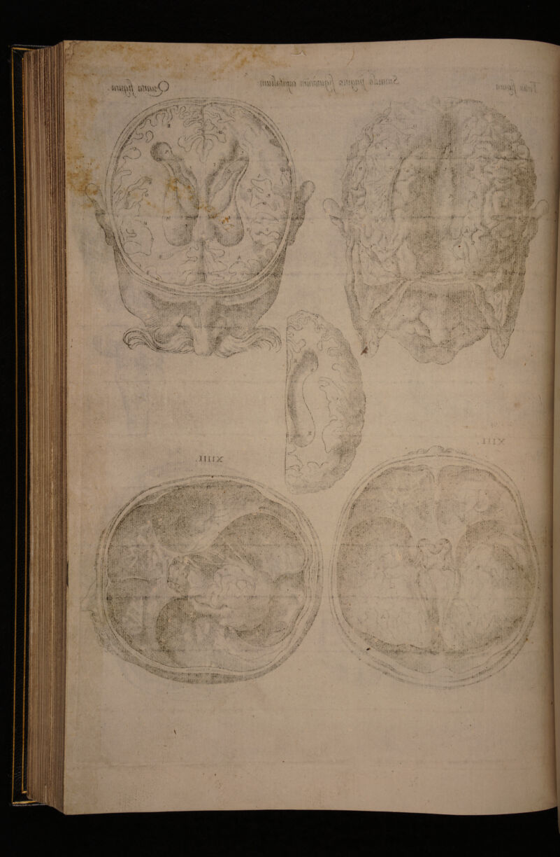 A } i; ii*i *n!?! Pt-. ( 'A J V. ’)\ .,<<-■■“•3 ij 'y>* ->• ■s.' Sv o y/ %■ A. -A, / ^’ i • i m •  \ t: 5.1; X i /(/<> •* ‘ -l ' f ‘r •V..V ■ *i 'V : y • -h \ ^ ' .-‘'k y / v -^ •*' *« .• A / ^ ''y‘* I \. X •*. N V ] -K:v■^''^ '•if N • •' A. ■ ■ TU '1 \ :m:- ■ :■ ■ \ , '■■ . V • ••••■VVifA;. \\V ..-. •f. I ti -. J '.: s '■• f’ \ ^ ■-.et V‘' y / . V-MvV' ... . '■<..^^;fT'^:, ' f 'j - ■■ / V .•'«: ■fv (• & ...I -■,•,■ . •■ ■ ■■ '•''V,;'•.■ ■,; . ■■.■‘iy*' <U- / ■>■ /V •■ -i. H \- S%-.-,-. ■ ■ \ .•■ .X |& U '-A \mT: «A A ■ “■ ■ • '.1 ■ '■ '> }■'■■'' ■f .C} '■Th^ ) .w • .-^ •v,*''.'?- 5 t -ir , / .' it’ ^'t ^ ^ ^ ^■'' ■ •■ u.'. 'i*#- ■ ■■ , v.;A.^.Mil.^i■^. y»:. k t A' .. V..P'■•■ > ■ g.'/J.V •■■''■''ry •'■»•;;' ^ -I* . .'V ’•. 'Wf/'- . ,■■ * ‘ ■ y 'y' •.'■ >. .n,' ■ir.. ; ■ A V '■.’. v''^ 'a ■ V''\’ '' ■ .l-t,' ♦ x'^-j J*:? 'M ■•v?’: '/<'/■'■' -y*- , -.. 'y. ■.... J . ;.i-v.'y;'.'-..y-.'--?£Fa'.- l^y y .■' -iv,- ■ . n . jfV- 5 - ■/'■ *• , - •• V»-.- ■ ■ ■ ; ■ .., ts:.,. ■■; ; A^v.. y ;.y; ■  KTAMrr Av:- ***'•/^■-'W c'*- .•' • V - -■*' , *V fr • • d ^A..': . 'j > « *aL>r'/« '* /{/.J ^ -Ar . .A-r x*' •■';>..:, •: ■ y y: ,. -■ ^ 't ' ':k •.' -.r'’ A' y; ^ -y : «fr. i ■■'■ 1.. ./'•■- -i ’rT ■ v.':v.v\‘' r ■'J . y^V'..,'./ ' 3v‘' .■. • -■ .'■•'•1^’VV?^-:!'--k; f '■ 'i ••*^v’,‘k'- /'■' •' ' \ -•' .V- vy*,. >.. - .?i, .• k vfi-'A . -• • ' ■ . A- ■■awk.' >0' ;'<'. A^■y ■■■'r; ,* e V, ••^4 ^'--r ■ 1 '-.i/- ■!■<■■ y ' .\-i y ;y ■!.■■.•.•.:i>-!/ .- vv.wtf- •. j. ■ _ .j ■v-':y ■•., -V /=*-' ’*■ .. .^•*^' .:*k • ..:^> . v*»- * .'. • ‘ .lii-M-tv ' ; -.^■: ‘ Aif. V h t ; V* 'i r ■M''^' • ■ ■ ■: Ui.f i\ 5- ■ \ .ili IX % .'»■ '■^ '' 'i ' . i,/.-v’’^yi'‘i'; ;‘'V' • '■'t .■^' ' .- i X -V..- h:U--y J-: .-•^‘•-■•>; u- .rsrVy^','''A''.■.. ,••-■*• - 'v.y'r * • . '‘’ ’j» 'A-'A. : X4';7kx4\-4kfV'^k4;-; \ -y 'y-y .,C . ytt h’y^f’:T’;.K Trkk>>‘’'T^’’■ ■-.-. Xkv' ■ ... e/':- yX 1'kk.kkCX;rX4-k.-k . v, , ■ . ^k|:kX 1 1} .'.T-.r-- . _,^.... 'S^'; , :Ky.\ y ■ /\y^ '”' ’ .■ '  '-. ‘T i ■> ' '' '”■ ,.' . ‘.1 . ! 'W-' iik; .,; ►'*• .. . ..y. ■ ■ ., .. ,. ,. '. . . . ..»,v , .- --Ir H c • . • .■•• i . k.y^iiiyy y ; / ;' ■■ / . .‘..i'. , V .^. . 'A.#./ '-y-kyyy-; ,v, 1- ., . r. .^■'? 7v-.Yr-fW'; . «/4 . • ■ 'fy:. f .'■ x f V '■;. , . i -y ' :.vy.-: i ^ f ■X';^ 1{’ ■ I ...y . i' i-^' .•'•.yj.vS.NX. ' .•■ . J-7 •■'- . f. '- . , i ’.:.y.y;t. . •%, .. . ,.'• 'iVJ.Vy. '..-. • 7‘-7 •■- '. • ■. '-v .-«A ' J. ... .■■ :■' • ; ' ’■’‘.r'■ ■,\\vX ■ ■ . ■■ ky . i'.' ' .'-^rVi k e'.'*'•-x--. '‘■‘^'/.Y’ X '7?' /Av-:- ■ . ■•■,.X k|-/. ::;^. .k-y;; ; , 7 .-'a7. •■“kX;-' • fc>• ■ '» X. ■ • ■ i • . • • 4 .-. J . , ^ • «I, ••'<■•■•■ h>h. Tp’ '.i' .'^ >■' -- '. •. • ■ti .■ y *>7»“i.?;^.'V-- i >;.t