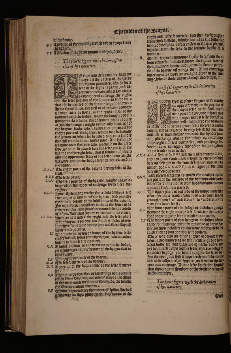 iDft^eQeatie 00 ■ fff 'XhefouYthfyguHleith thedemonjira* cion of hy s karacters^ i^tfersfourtljfpgurc tcc Ijauctut su»apf aU tlje pactcs cf t!je tjaKf ajib HjpnnepanmtlfB, toere fcnctnrte fr?Rf fppiircg^anbat* tcrhiartf tecfiauc alfotaiien atoapc tDabt anb lefte Ijentrtcle, atib ^ aw bjwtijbte f tom tboff belftls, tobicbe Doc mafee tbc folppnge tobercoftoefpaba befoiecalUp mJLatptieplem, ttiffpcfje ts muctjc IpKc to tt}e fctonDe bi>jtbe of a iL Sau papncB riinnpnge fojtbe fjcre,froni tbcas ^ttercficacfco beffdlc0,pnt)cc tbefoimet fcatcof the biatonpe oi bacbe bobp, tnto tbe tbpnne pannis cleof thebiapnc offerpnge tbcn» felucs cuntipnge bncertapnHpe toptbiro tujgCjlpbf astbofc bspncs bctojc ootfb toptb [bptbeoibccof ciittptige tfje «gbt? Tkjy fth fyiureTpyth thedeckration of hys karacters. pojtton of tl)e biapnc in ftstbe to?te tbat tfje bcnttulcB of tbc bjapne begpnnenotof to titetoe tbcra fclucs.fcj f icll of al toc bauf b jougbt a lonac ttittc «epttc,bptbe rpgbtc of tlje biatonpcoibaibfbobpe, tDbfrc tbebougbteboctb . ftanbemarbfb liitljc tbttbcfpgure tottb tbcotbcc iw,tubi(bf bftngc bjougfjt bp tbf bcnttu!? ot tfje btapuo ,batt)C tafecn atoape ibat poitioucttw rpgfjte parte of t!?ebjapne,tobKbetoa0baDabotie thefetttonttttjtoberctoeDeuiDeD anb cutaumbec the ftull counbe about toitb a fatoc ♦ 2 nb f^pe tbat tee baue bone tbcfanic alfo IpfeclBpfe on tbe lefta fpDe,tocf)auc foplaceD bere tfje lefte parteof tpc iiapne cn tbe rpgbt fpbe, tbat it femtobat ibetoep alfo tljetjppernioie ftate of tbe lefte t)entritle,t!)e bjafunpe anb barbe bobpe bepnge pet refecueb w ^Ktps*)*t parteof tb? bjaptic bepnge lefte intbe . It Cbelofte.piarfe* - < /,. i. . CiCC pmtion of.tbeb^apne,fubttbe taben a* toape affer tbe otbet of cuttpoge Ipetlj bete bp* ^iwsflietopngepartelpe tbe crotobeb toapes anb tnrnpnge6 «»anb ottt of tbe btapne, anb partclpc tbe Dtuerfe colour of tbe fubaannte of tlte biapne» :foif^at foetier confilletb toitbout tbe Ipties ts as It tof re pelotoe, anb fonitobar mooze tpfte tbe colour Of-an)cs.2!nbtobatfoeuer tsfene toitbui tseleare, * f .G.H. as at £ anb p rite tpgbt anb tbe lefte pacte oftbebtapne,ts pelotoe,but g anb n (betoeplapn* ipetoltpte,forne tpnie bcinge bere anb tbete ftapneQ ttmcbtebDcpcpwtc04 . U Cbe biatonpe oj barbe bobpe oftbc bjapne fette f learc'6n botb fpbes from tbe btapne, toberto otbec fanfefUS <opnf&aiTb cleauctb^ KX 28 fniall pottiou of tbe biatonpe oi barbe bobpe, ^t cl#tpnge totbelefic part of tbe b?apne tbat ts L L dietPWi -MM Cbclmbentrtcleoftbebtapne. a pouion of tbe Dppet feate of tbe lefte tenttp* rip ^ , , - * • ‘ ^ Ofi ttoiapppnge togetber o? tbe b^pne Meb tbe Ibape iff tbcbtt^rwt^tnfolber oftbetbplDe,tbe tobicbe l^ps p?efente fpgiire m fo mn^e ag appertapnctb to tbe poutwiof tbe btapne lefte tntbe ftull boetb tn no parte barpe,anb itbatbtbis iOnlp pjoperbntoitfclfe bere.^toe baue fpifte bclpnereb tbe btatwipe Oi barbe bobpe in tbe f cjiner feate tbereof from tbe biapne,anb aftectoarbe bepnge Ipfteb bp,toebatic tourneb it baebetoarbe toiuarbe tbe bpnbec par* tes, plucbpnge atoape tbe bebge oji intlofpngc of tfte rpgbt anb left bcntciclcs, anb pnttpngc be* foietbeepes tbe bppec face oftbc bobpe btiplbeb Ipbcabaultemanaccbe. alfo S ®s,anbtbcn affertoarbe 2>®® anb Pto 2anb f anb g anb Hfpgnifte eiien tbe fame bereastbepbpDtn tbefotirtbfpgnre,anb mlpbe maner boe^i-w^o^^ ano fi. ftgmfpc tbelamc bercastbepbpD>bete« « ® 5? 'xpitb ffjere&aractets ts noteb tbe neatbet ojio? ^'^^toerpatteof tbe outfpbeoftbe bjatonpeanbbatbc bobpe fo,t it !s renioneb ftom bps feate anb tourneb . oiierintotbebtnberparfes. s,T/. tEbe bpper pacte oi otitffbe of tbe bobpe mabe libe a futnepes oi a liaiilte,tobjcbe ts fette foitb Ip&e a trianglf fcoms tor anb from t to ^anb fromef^to raspoumapefeett, ' y y Cbe lotoct pacte of tbe bebge oj tnclofuregoinge .bettocne tbe rigbt anb tbe left bentcicle clfaueb to tbat bobpe,tobpcbe Itbe a baulte oj an accbe* r,r Cbe bppec parteof tbat bebge 01 tncloftice afoje# fapbe eontuHipnge tottb tbe biatonpe ot barbe bo* bpe,fo,itbpB inclornrecoulbeiionc otbeftopfebefet foitb tben as pott boe noto fc it btofecn, <Cber^ toas alfo an otbec fpgucc oiOepncbintbe tobicbe ttoo banbes as toe bfe in cutt^ige bpb fom* tobat bolbe bp tbat bjatonpe oj baebe bobpe not pet belpucreb tn bps fojjiiec rcate, tbat tbe bebge oj inclornre bepnge pet tobole rapgbte be fette b^ foie tbe epes, but fptb it appeacetb not fo fepnbelpe anb natticallpe tn tbat fpgute, as it bpb in tbef^t^ tton anb tuttpnge, 31 baue lefte fojttbtbat fpgtu* ■tbat tbps pagpne (Ibaulbenot t^ettoitb be octnpi^ toitbout pjof pte* ' The fyxtefygun Tfiytbthededfr^io» of hys karactm. i j! .'•'i