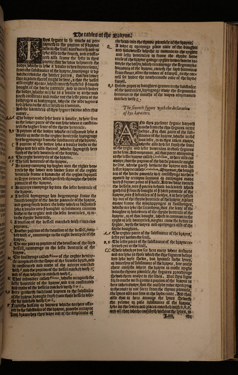 ir 'I I 'tl ifi ifii [II * pannicleoft^c bjapne. G Stanjecpcctttinpngebp ihto kfteteiitncleof I bj^ajHiCv . » 3 tjeflrett ti?!>n5pnge bis begpnpge fcome tfje fouttftbotigbtoftbc barbe pannt£l«oftbcb?apne, ! anb goingf oitb bnocc tbe bobp tobicb is fa(biotieb Ipbe a baulte tnto § botigbte o^tbolotnaes commoti botbeto tberpgbte anb tbpieftc beiitticles.ojm*. totbetbP?bebmtr(clet i 3btuifioiiof tbe beffell marcfeebtDttb^ctotottop .pOJtiOBS*' . iC anotbcc poitfon of tbe be utRon of toe beflrcU,toat;? beb tottb ,‘commtnge to tbe ngbt twntcpcle of tbe I Cbeonep8tto?poj«oiiof tbebeuifioaof tbefapb beffett;cotor»ipnge to tbe lefte bentucle of tbe bjawfi w CbefouIbpngecallebW««fof tbe tpgbtebentrps * tle compareb to tbe Cbape of tb e feconbe bpjtbjatib <0 confttttiteb anb tnabe of tbe atterpe maccbeb anb tbe poutonof tbe beffel marbeb tottb anb oftbat tobtcbe is niacbeb tottb^* 'traat tnfottibec calleb^^^^^^.tobtebeoccupfetbtbe lefte benttfde of ^e bjapne,atto itts conllttuteb anb mabeof tbe beReis mackeb toptb « , 9A fteteflcotoetb fttcbfmat bapnco to tbeftibttattce * Oftbebtapoejb?oti!rttfoftbfconitb(rfebe(fel0tobt* tbelbenjaeb^tofft^a-t» ^ rf ;tbe1|eniatk«fetofti#-v.--♦ ^ t f ■ iwtntbeieffete oj twpnea tobtcbe atebeee offe«» Wbtoitbefiibftadceof tbeb>8pne,,pjotebecettam ac.m^€m4im« ntf^ Af #htp OK ISttaiifctiotlge l^pif fpgti^ to fo tnutbe ao pec* tt^etbto tbe pi^tton of^toapne lefte to tbe fcull aunf torretb anb 10 ipae aifo totbe fouctb, anb ttbttfe^ tetb alfo frome tbe fpfte to tbp0 --««««{«^PopmetbattoebaMebelpucrcb tbe oobpe,^tc^t0 Ipbe a banite tn bP0 fotmeefcate;! feom tbe uibRaunce of tbe bj;apne,tournpnge tt bp wrbetOtoarbe tbe btobct partes, tbafbw lotoec faeeojMrtetbeeof nngbtbefene,s tbat tbe beJTel aironiiigbtapeace,tobtcbcometbfojtbfr6 f fourtb bougbt of tbe barbe pahniclc ,anb ts tartebbnbre tbebobpe,tobtcbctsb'be to a batiltc oj arcbeianb . poftb contlitute anb ma&e not tbe lefte parte of tbe folbpngeo 0? bntttpnges, tobpcbe tbe olbe toiptero bpb Ipfeen to tbe after bpjtb to a tooman, Hnb tbe featacters of tbpo fpgure folotoe after tbtb maner» Cbebobpe mabeIpbe bnto a baulte,tabere Tene to tbe lotoer parte of tbe out fpbe tobere it conftttn4 tetb tt)e bigber feate of tbe tbptbe bentticle* b,0 3 pojtton of tbe bobpe tobii^e is f atbroneb Ipbe a battlte 0? artbe tn tbe tpgbte bentrpcle bipngpnge bP0 begpnnpnge from tbe ftibftatmce of tbe bjapne» C 3 pojtion of tbe bobpc Ipbe abaultebotbetotbe fbapeanbbfealfo tbereof, tobtcbe fpjpngetb bet» fcgtb of tbe left bentrtcle of tbe btopne* #.o ^be rpgbt bentrpcle of tbe bjapne» -p ^ Cbe left bentrtcle of tbe toapne» ^ 3nartetprnnnpngbpbtgbec toto tberfgbtebetH trtclebp tbe lotoer anb btober feate of tbe tpgbte bentrtde fromeatoatmcbe of tbe tpgbte fopoiaU M ^ ^ M A 9 ' W 9 tf ^ 31 toape of openpnge piate onte of tbe bougbto ano bolotoneffe tobptbe to commoneo i^tpoi^ anb lefte bentcteleo ot ftome tbe diptbe ben# Ktcie of tbebjapne gotoge rpgbtebotonetoarbe to^ toatbetbebarpn,tobtcb rcceaupnge tbellegmatpbe bwtootiraoftbe bjapne.cattetbtbe rapbbumoitrs from tbence,after tbe maner of a ftmpll, to tbe car* nell fet bnber tbe neatbermofte enbeof tbefapbe funpll» V ©ntoto pppeo oj botigbteo graucn tn tbe ftibftaftcc oftbebentcicleo.bjpngpngeatoap tbe flegraatifte bnmoiireto tbe inoutbe of tbe toapes afotenameb marfecb tottb feuenth fygure Icyth the dedaration of hys karacters. |5b tf)p0 pjefente fpgtirc barpetft mntbeftonitbetb.tefpgure0 necte befo?e. jfoj ibat parteof tbe ftib* ftaunceoftbebjapne,tobtcbe totbe I toa0 lefte, i$ tn ^0 tafeen atoape, Mtpcbe alfo opb fet fojtb tbe feate oftberpgbt anb lefte bentrtcleo tntbofefpgarea to be fene.3nb mojeouer, all tbat parte abt opnfng to tbe leflec bjapne calleb Orehiium, tg gifg (y* atoape,tbattbe po;tionof tbe barbepaimtclenitgbt be rene, tobtcbe goetb bettoene tbe b?apne anb toc openeb bp tertapne fejrttona ot cuttptmeo mabe tottb ? fotoier p otnt of # ltotfc.3nb toe batie ttirneb tbe benel0,tnto $ partes bebtob baebtoarb bAtcb gotb fro § f ourtb bongbt of § batb panntcle of tbe b|apne,tnto fbltctcles of § bealpe, ? tabere Ipflrt bp otit of tbetbpjbebeutrtcle of fbeb?apne,ei pluet atoape frome tbe mtojiapppnges oj foulbpngeo; tobtcbe are Ipbe tbe feconbpno.tbat tbe feate oftbe bougbtc ej bolotones of tbe tbpjbe bentrt cie of tbe bjapne, ojof tbat bougbt, tobtcb te common to tbe rpgbt 0? Icft benttpcle0,mpgbtc come tbe bettec to rpgbtc, toptb tbe toapes anb openpnges alfo of tbe fapbe bot^tes* Ul/f Cberpgbte parte oftbe fubftaunceoftbebiapne’ lefte pettottton tbe fcull» * * 0, s - Cbe lefte patte of tbe Ribftaunte of tbe btapne ce« feruebpettn tbe fcull» CCiCbeCehWcbpeboefee bereeuetp tobere atrttoece anb ace Ipbe to tbofe tobtcb tbe tbue ftgure0 befoie bpb Iplte topfe fbetoe, but bpeaufe fuebe Ipnes’ 0; btuecTpte of rtibftaunee oft^ btapne, boe onelp. tbere confpfte toliete tbe b^pne ts mofte npgbe bntotbe tbpnne pannicle,tbe fpgures p?ocebpnge fbetoeb tbem onelpe tn tbe ftbes» »ut tbps Rgne fo; fo mucbe as fo gteate a pojitton oftbe btapne ts . bete taben atoape,tbat tbe outfpbe notoe apearpng totbepdotefs not facte feomt^ tbpnne panntcl* tbe Ipnes alfo are Tene tn tbe fapbe toote. 3nb tfaac alfo tbat is bete amonge toe Ipnes toetoetoi tot pelotoe 0) pale fubftaunce of tbe b^pur’ ipbe as toe Crates anb places ntaeclteb tofto ^11 AM^ - H_! ^