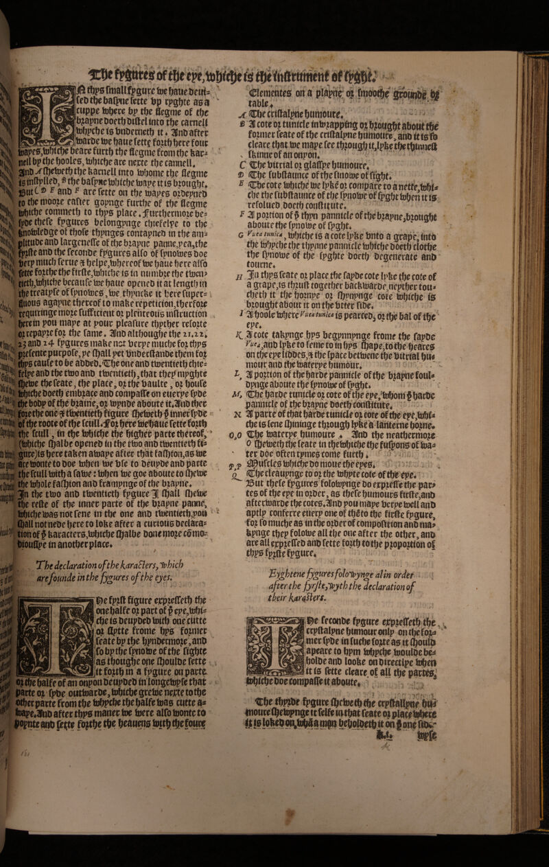 t. inli ^ %0 rmall fpsuf c tw fwtiet)ewi= (cDt^ebaQue fette bp rpgbtc as a cuppe tobere bp tbe «cgme oE tbc bjapneboetbbtftelinto tbc carnelt tobpcbetsbnbemctb it. 3Enbaftec ,;^,^_™_Jtoarbe toe baue fctt? foub bete fotu: toape0,tobitb« bcacc ftirtb tbf flcgmc fcom tbc feap nell bp tbc boolf 6, tobtcbe are ncrte tbc cantielU 3nD.^n)etoftbtbcbaniel|into iobonie tbc flcgiitc isftiftpUcD, ® tbc bafpnctobicbc toape it is bwtigbt, jjntC ® ® anb p arcfcttc ott tbc toapes oioepneb to tbc niooje eafiec gopnge furtbc of tbe flegmc tobicbc comtnctb to tbps placc,Jfitctbcrmoiebc= fpDC tbcfc fpgticcs belongptigc tbtefelpe tb tbc fenotolcDgcof tbofc tbpngcs contapitco tn tbc ani^ plttuDcanD largcneltc of tbc biapnc pannc,pca,tbe fpjfte anb tbc feconbc fpgticcs alfo of fpiiotoes boe pf rp laticb fcrtic ^ bcIpc,tdbcrcof toe baue bcrc aifo fcttcfo?tbctbcffc(lc,iBbicbci8in ntuiibtctbc ttoen? tictbjtobitbe bccatifc tec batic opciicb tt at Icngtb tti tbctrcatpfcoffpnoUicSjtoctbpncbc it bcrcftipcc= atioiis agapnc tbeceof to mabc rcpetittbii,tbccfotc tcquiringc tuojc ftifftcf ctit o.t plrhtcotis inftcwcttbn ^rcin poti mapc at pouc plcafucc tbptbcr rcfojtc ojiccpaptefoj tbc fame. 3fnbaltbottgbctbc 2 j anb i4 fpgurcs inabe not berpe miicbc foj tbps pjefetJtcpucpofe, pc (ball pet bnbccitanbc tbent b j tbps caufe to be abbcb.-tCbc onc anb ttocntictb cbtc* fcIpc anb tbc tioo anb ttocntictb, tbat tbcp nipgbtc (bctoc tbcfcatCjtbc place, oj tbc baulte, oPboufc tobitbc boctb emb j.acc anb contpaflic on euerpe fpbe ^ebol^of tbc b^atnc,o; fopnpe aboute it^ubthcc ft^c tbconc ^ttDCntictb ftgucc (bctoctb f inner fpbe ’ bf tbc rootc of tbe fcuU.f oji bcrc tocbatie rette foj;tb tbe fctiil, fn tbc tobicbctbc bisber parte tbcrcof,' (ti^icbc (balbe openeb fn tbc tino anb ttoentietb ff^ gtirc)is bcrc tafeen atoape aftee tbat fa(bfon,as toe aretoontetoboe tnben toeblc to bcttpbc anb parte tbc fcull toitb a fatoc: foben Itic goc abotite to Ofcfoc in tbc ttoo anb ttocntictb fpgnrc 1 (ball (bctoc tbc refte of tbc inner parte of tbc bjapne paime, i (Dbicbc toasnotrene in tbe onc anb ttocntictb,poti ■ j, Cball not nebe bcrc to lobe after a cticiotis beclata* \ tion of ^ fearactcrs,tobf cbe Ibalbe bone nioje c6 mo^ tiotiQpe in anotbet place. ^ ! ThedeclarationofthekaraSlerSjtphich arefounde in the fy^ures ofthe ejes. Ibefpjlt Rgtire cpptclTetb tbe onebalfe o? pact of f cpe,tobt= tbc is betipbcb toitb onectttte pjt OEptte fronte bps former featebptbc bpnbcmio;c,anD fobptbcfpnotoeoftbe figbte as tbougbc ope (boulbe fette _ __(tlojtb tn a fpgtice on parte b) tbe balfe of an onpon bettpbeb in longetopfc tbat parte o^ fj^e outtoarbe, u^iebe greitie ncirte totbe otber parte from tbe tobprbc tbe balfe toas ctitte a« lnape*3iib after tbps maner toe toere alfo toonte to Clementes on a plapttr (9 tablc» ^Cbecridalpncbuitioute. ^ . fi af cote oj ttinicle fntojappfhg osbjougbf abouttbe f ojincr fcate of tbc criftalpne btimotite, anb tt istb clcare tbat toe mapc fee tbjottgbit,lpfectbctbimiea , fbfnncofan onpon. C Cbc bitrial oj glalTpe btitnoure.’ ® Cbc fubltattncc of tbc finotoc of ftgbti ^ <Cbc cote tobtebe toe Ipbc oi compare to a nette tobt« cbc tbc ftibdatince of tbc fpnotoc of fpgbt toben tt is rcfolueb,boctb conditute. f ad pojtton of § tbpn pannfcle of tbc b?apne,bzotigbf aboute tbc fpnotoc of fpgbt. G tobtebe is a cotclpUebnto a grapc.intb tbe febpcbctbc tbpnnc panntclc tobiebe boctb clotbe tbc (pnotoe of tbc fpgbte boctb begenerate anb totirne. ji 3ia tl)ps fcate ot place tbc fapbc cote ipSc tbc cotc of a gtapc,t& tb?tid togetber bacfetoarbe.,ncptbcc tou* c!)ctb it tfjc bompe oj (bpnpnge tote tobiebe is .biotigbtabotit tt on tbcbtter fibe. I ai boolc tobecc Puti, tunica ig pcacccb j oz tbc bal of tbe epe. /C astotc, tabpngc bps begpnnpnge fronte tbc fapbe ^«'«^anblpfeeto fcmctoinbps ^apeitotbe beares on djc epe libbcs,f tbe (pace bettoene tbe bitrtal btw motiranotbctoaferpebumour. i ai pojtion of tbc barbe pannicle of tbe bjapne foul* bpngc abotite tbe fpnotoc of fpgbt. ^ M, Cbe barbe tuntelc oj cotc of tbe epe,'ttbbm f barbe pannicle of tbc bjapne boetb condittite. ‘' K ai parte of tbat barbe tunide o^ eote of tbe epe.tobf^ tbe isfene (bininge tb.zottgb IpKf ¥lStftchic bojme* 0,0 Cbc toaterpe btimoucc ,♦ ainb tbe neatbermoje 0 (betoctb t()c fcate in tbetobiebe tbe fufpons of M* ' ter bbc oftentpmcs come furtb* ' ^ ^ ^ , 3) j> fl^nfcles tobiebebo mone tbe epes* 6 (Cbccleaupnge tobjtbe tobptecotc of tbc epe. ■ J5ut tbefe fpgurcs folotopngcboerpjeifc tbc pac> . tes of tbc epe in o?bcc, as tbefe bumours firde.anb ,af tertoarbe tbc cotcs.ainb pou mapc berpe tocll anb aptlp conferre ciierp onc oftbfito tbc firile fpguce, f o; fo mticbc as in tbc o^ber of compodtion anb ma» bpnge tbep folotoe all tbe onc after tbe otber, anb arc all cjrpjelfeb anb fette fojtb to tbe p jopojtion of tbps fpjdc fpguce» .. r By^htene fygures folay^ynge alin order • ■after the fyrjle,-^yth the declarationof tbeir kar^Bert. I^e feconbc fpguce eppjeiretb tbc, crpdalpnebumouronlp ontlicfoj;:^ mec fpbe in fuebe fo^e as it ^oulb apeare to bpm tobpcbc tootilbeb^ bolbe anb loolte onbirectlpe t^en itis fette clcare.of all tbc partes,' jtobtebe boe rompalfc it aboute» « ^bc^P^be fpgure flbftoetbtbe erpltallpiie bW