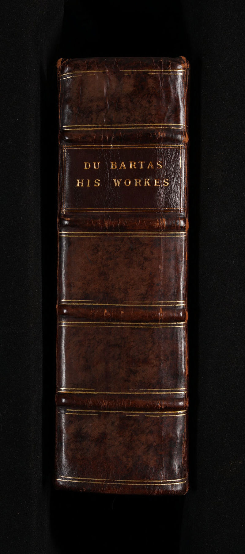 No text description is available for this image