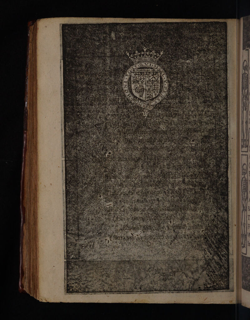 — a RR yan ate) Dg i ut _ =