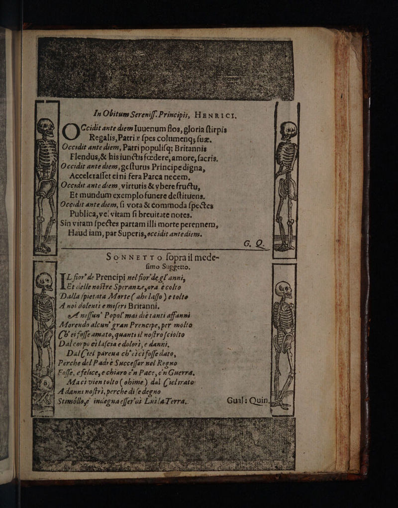 Cy ante dew Tuuenum flos, gloria {tirpis _ Regalis,Patrix {pes columenq; {uz. Occtdit ante diem, Patri populifq; Britannis 4 Flendus,&amp; hisiundtis facdere, amore, facris, Bl Occidit ante diem, oc{turus Princi pedigna, ¢}_ Acceleraifet eini fera Parca necem, 2 ) Occrdit ante diem virtutis &amp; ybere fructu, Zi Etmundumexemplofunere deftituens. Ocerdit ante diem, (i vota &amp; commoda {pectes Publica,ve!vitam fi breuitate notes. ‘Sin vitam {pectes partam illi morte perennem, Haud iam, par Superis, occidit antediem. 6. O. SONNETT Oo foprail mede- fimo Sugegetto, L fior’ de Prencipi nel fior'de gl anni, Et celle nostre Speranze,ora ecolto Dalla (pietata Morte ( abr laffo) ¢tolte At A noi dolextz emiferi Britanni. eA neffun’ Popol’ mai die tanti affanni ig hs eet iy i ON ; DOL eT Natt as — aeRO SILR RR Siw CRAKS aR AM Mellie A i, e ty C5 et foffe Amato, quants il noftro [ctolte Ga | Dal corpo et lafciaedolort, e danni, \| Dal( tel pareua ch’ cicifoffe date, H Perche del Padre Succeffer nel Reguo SP Fale, efelsce,e chiara c'n Pace, en Guerra, | Macivientelto(ohime) dal (ielsrate: A dannt noftri, perche dife degno AR timsolla,e indeguaceras LuzlaTerra.. € eg Y em P asien yitllie”,