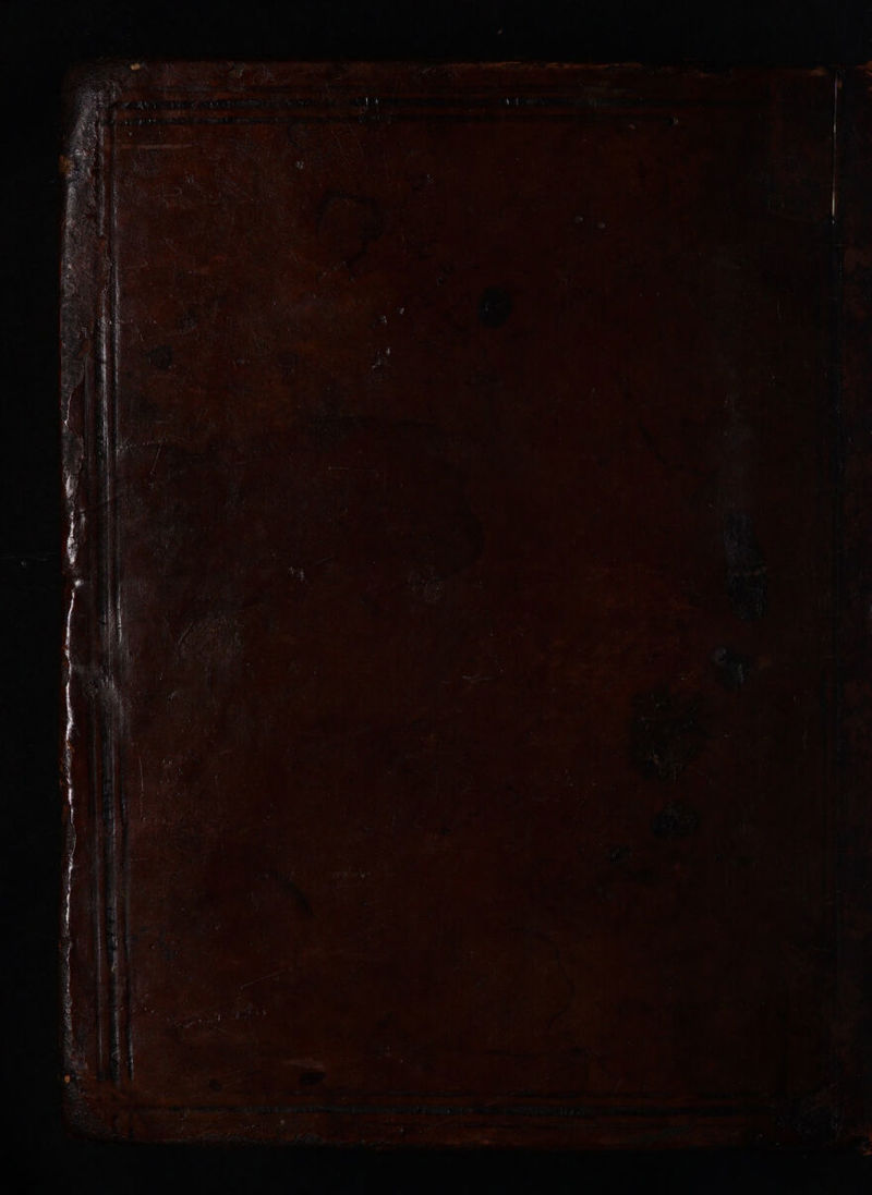 niin io A - clans ti ceanieuati tee Seeman Raa