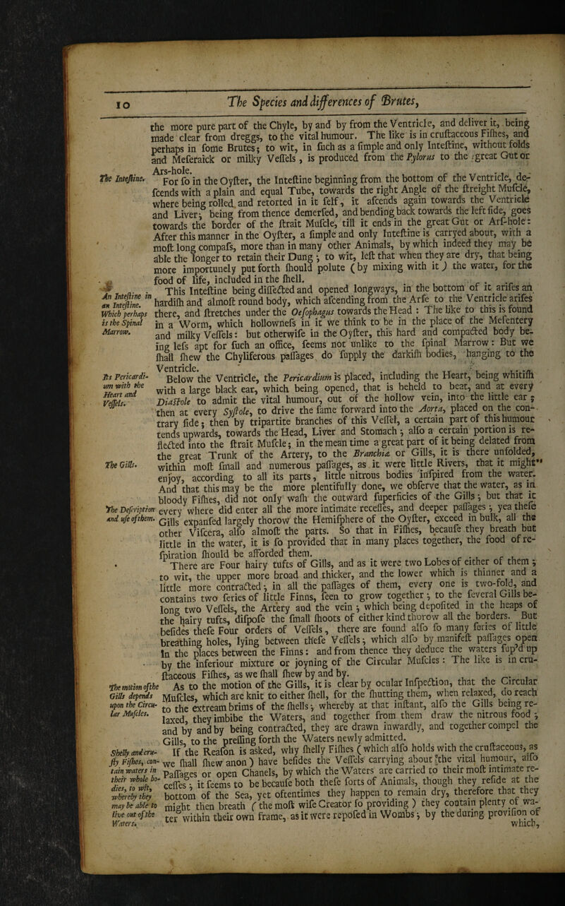 the Inteftine. Its Pericardi¬ um with the Heart and Veflels. the Gilts. the more pure part of the Chyle, by and by from the Ventricle, and deliver it, being made clear from dreggs, to the vital humour. The like is in cruftaceous Fifties, and perhaps in fome Brutes; to wit, in fuchas a fimple and only Inteftine, without folds and Meferaick or milky Veflels, is produced from the Pylorus to the fgreat Gut or AFohr°fo in the Oyfter, the Inteftine beginning from the bottom of the Ventricle, de- fcends with a plain and equal Tube, towards the right Angle of the ftreight Mufcle, where being rolled and retorted in it felf, it afcends again towards the Ventricle and Liver i being from thence demerfed, and bending back towards the left fide, goes towards the border of the ftrait Mufcle, till it ends in the great Gut or Arf-hole: After this manner in the Oyfter, a fimple and only Inteftine is carryed about, with a moft long compafs, more than in many other Animals, by which indeed they may be able the longer to retain their Dung •, to wit, left that when they are dry, that being more importunely put forth fhould polute ( by mixing with it) the water, for the food of life, included in the (hell. . , . ' This Inteftine being differed and opened longways, in the bottom or it antes an n hardilh and almoft round body, which afcending from the Arfe to the Ventricle anfes Which perhaps there, and ftretches under the Oefofhagus towards the Head : The bke to this is found is the spinal jn a Worm, which hollownefs in it we think to be in the place of the Melentery Marrow. and miiky Veflels: but otherwife in the Oyfter, this hard and compared body be¬ ing lefs apt for fuch an office, feems not unlike to the fpinal Marrow: But we lhall fiiew the Chyliferous paflages do fupply the darkifli bodies, hanging to the Below the Ventricle, the Pericardium is placed, including the Heart, being whitifh with a large black ear, which being opened, that is beheld to beat, and at every Diattole to admit the vital humour, out of the hollow vein, into the little ear j then at every Syflole, to drive the fame forward into the Aorta, placed on the con¬ trary fide; then by tripartite branches of this Veflel, a certain part of this humour tends upwards, towards the Head, Liver and Stomach > alfo a certain portions re¬ flected into the ftrait Mufcle; in the mean time a great part of it being delated from the great Trunk of the Artery, to the Branchia or Gills, it is there unfolded, within moft fmall and numerous paflages, as it were little Rivers, that it might** enjoy, according to all its parts, little nitrous bodies infpired from the water. And that this may be the more plentifully done, we obferve that the water, as in bloody Fifties, did not only wafti the outward fuperficies of the Gills -, but that it the Def ription every where did enter all the more intimate recefles, and deeper paflages •, yea thefe andufeofthem. Gdls expanfe(j largely thorow the Hemifphere of the-Oyfter, exceed in bulk, all the other Vifcera, alfo almoft the parts. So that in Fifties, becaufe they breath but little in the water, it is fo provided that in many places together, the food of re- fpiration ffiouFd be afforded them. T , r . , f . • There are Four hairy tufts of Gills, and as it were two Lobes of either of them , to wit, the upper more broad and thicker, and the lower which is thinner and a little more contrafted •, in all the pailages of them, every one is two-fold, and contains two feries of little Finns, feen to grow together •, to the feveral Gills be- long two Veffels, the Artery and the vein ^ which being depofited in the heaps of the hairy tufts, difpofe the fmall ffioots of either kind thorow all the borders. Bug befides thefe Four orders of Veffels, there are found alfo fo many feries of little breathing holes, lying between thefe Veflels ^ which alfo by manifeft paflages open In the places between the Finns: and from thence they ueduce the waters fup d up by the inferiour mixture or joyning of the Circular Mufcles: The like is in cru- ftaceous Fifties, as we ffiall fhew by and by. ■ _ , , . Themotmofthe As to the motion of the Gills, it is clear by ocular InfpeCtion, that the Circular Gilts depends Mufcles, which are knit to either ffiell, for the (hutting them, when relaxed, do reach upon the Circa- to the extreambrims of the (hells-, whereby at that inftant, alfo the Gills being re¬ laxed they imbibe the Waters, and together from them draw the nitrous food ; and by and by being contracted, they are drawn inwardly, and together compel the Gills to the preffing forth the Waters newly admitted. amtcm- If ’the Reafon is asked, why Ihelly Filhes ( which alfo holds with the cruftaceous, as fly rifles, cm. we nlaii (hewaiton) have befides the Veflels carrying about ?the vital humour, alio tain waters m p rr es r onen Chanels, by which the Waters are carried to their moft intimate re- Kto be becaufe both thefe forts of Animals, though they refide at the bottom 'of the Sea, yet oftentimes they happen to remain dry, therefore that they may be able to mjght then breath ( the moft wife Creator fo providing) they contain plenty ot wa- vZers^th! ter within their own frame, as it were repofed in Wombs j by the during provmo^ot lar Mufcles. Shelly and cru- V ■
