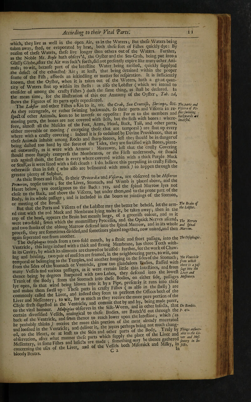 which, they live as well in the open Air, as in the Waters-, But thefe Waters being taken away, Ihed, or evaporated by heat, both thefe fort of Fifties quickly dye: By reafon of thefe Waters, thefe live longer then others out of the Waters. Further» as the Noble Mr. Boyle hath obferv’d, the Oyfter and the Sea-Crab, being put into a Glahv Globe,after the Air was fuck’t forth,did not prefently expire like many other Ani¬ mals- to wit, becaufe part of the Inteftine Water being ratified, quickly fupplyed the defeat of the exhaufted Air; at leaft, that being detained within the proper frame of the Fifh , affords an inkindling or matter for refpiratiom It is fufficiently known, that the Oyfter, when it is taken out of the Waters, hath a gr^at quan¬ tity of Waters (hut up within its fhells: as alfo theLobfter (which we intend to confider of among the cruftyFilhes) doth the fame thing, as lhal) be declared In the mean time, tor the illuftration of this our Anatomy of the Oyfter, Tab. id, fhews the Figures of its parts aptly reprefented. ■ . The Lobfier and other Fifties a-Kin to it, viz., the Crab, Sea Creevijb,Shrimps, &c. ne:parts and As they retrograde, or rather fwiming backwards, fo their parts and Vifcera in re- fpedt of other Animals, teem to be inverfe or oppofite: For as to. the members and tackrrardsire moving parts, the bones are not covered with iiefh, but the flefti with bones. where- jnverfa S?e a8lmoft al the Mufcles of the Feet, Arms Head, Back, Tail, and other parts, rore, auuuiL an t excenting thofe that are temporal) are fliutup every £'hher Thf cruftv Bering : nd cd it is fo ordained by Divine Providence, that as Thef A^als Sabi “Rocks and lharp Scones, left theyftoal d beindangerof beine dafted too hard by the force of the Tides, they are fortified with Bones, plant- ed oltwaJdly, as it were with Armour: Moreover, left that the crufty Covering fbonld more fharply comprefs the Membranes, or the Flefti underneath, or fhould fhould ipore in.arp y P covered within with a thick Purple Muck ofsXsitweTe linlwitha fofXch: l do believe this purpuiing in crufty Fiftres, otherwife than infoft ( who alfb are befmeared with muck J to happen through the ^AsThmr Bones and'Flefti, fo their <Pr*cordi* and Kfara, are obferved to be Prtneturviey for the Uver, Stomach and Womb ^c^bove, and the ro^B adT anTaboTthe VTcera, but under them,and to the prone part of the ^ wS SeTa^is included in the bones or jointings of theStetnon, °rB«lhaf theParSVifceta of the Lobfter may the better be beheld, letthearm- cd coat whh the red Muck and Membranelying.under it, be ‘^nawayi then in the WP 0twohfohlTd^VA^hiA*KamrnmOTy Prrcfffis,0and the Opcick Nerves afeend, m Nmta were two-fold, from which^t ™fcfcenyd int0 the fpinal Marrow, and m its whole and fpinal rimnra.iviJ-tarJ (‘■«I “S1»' ing and brufing, two pair ofmu a , er hanging to the fides of the Stomach-, The Ventricle many Veflelsondva P S ’ • ^ two Lobes, they defeend into the loweft Lherand thence being by degrees . ■ „ thepe Bodies, on either fide, paifages Meffemir/. Trunk of the Body; from the Stomach into tneleDoores,^^ ^ ^ ^ th|fe lye open, fo that wind being blown into it by P£, P j ^ -n the Wy) are and makes them fwell up • Theie parts y V h offices both of the commonly called the Liver, and indeed theyft®» «^ pertoriante ionofthe Liver and Meffenteryto wit, for asm rnm d:t tw bv and by, being made purer, Chyle freih digefted in the Ventricle, and com J and m other lnfefts, that peBmbic. to the vital humour. Mdfigms obfetves in the » and m: otn ^ ^ p ^ certain divetfified Veffels, analogical the tateftine ; which fas back of the Ventricle, and fimn thence to ^ach lower upon . macerated he probably, thinks) receive the more i P . perhaps being not much cliang- andloofnedin the Ventricle-,:anddelive , ) y P Body, Truly by Thi«es anfwer- ed, to the Heart, or at leaft to the “hopra <of & Liver and obfervation, after what manner thefe p . rv,nrethina may be thence gathered S jn £ Meffentery, in fome Fifties and Infers at d bothSMif£tai(;k and Milky, in concerning the ufes of the Liver, ami 1 G 2 to bloody Brutes,
