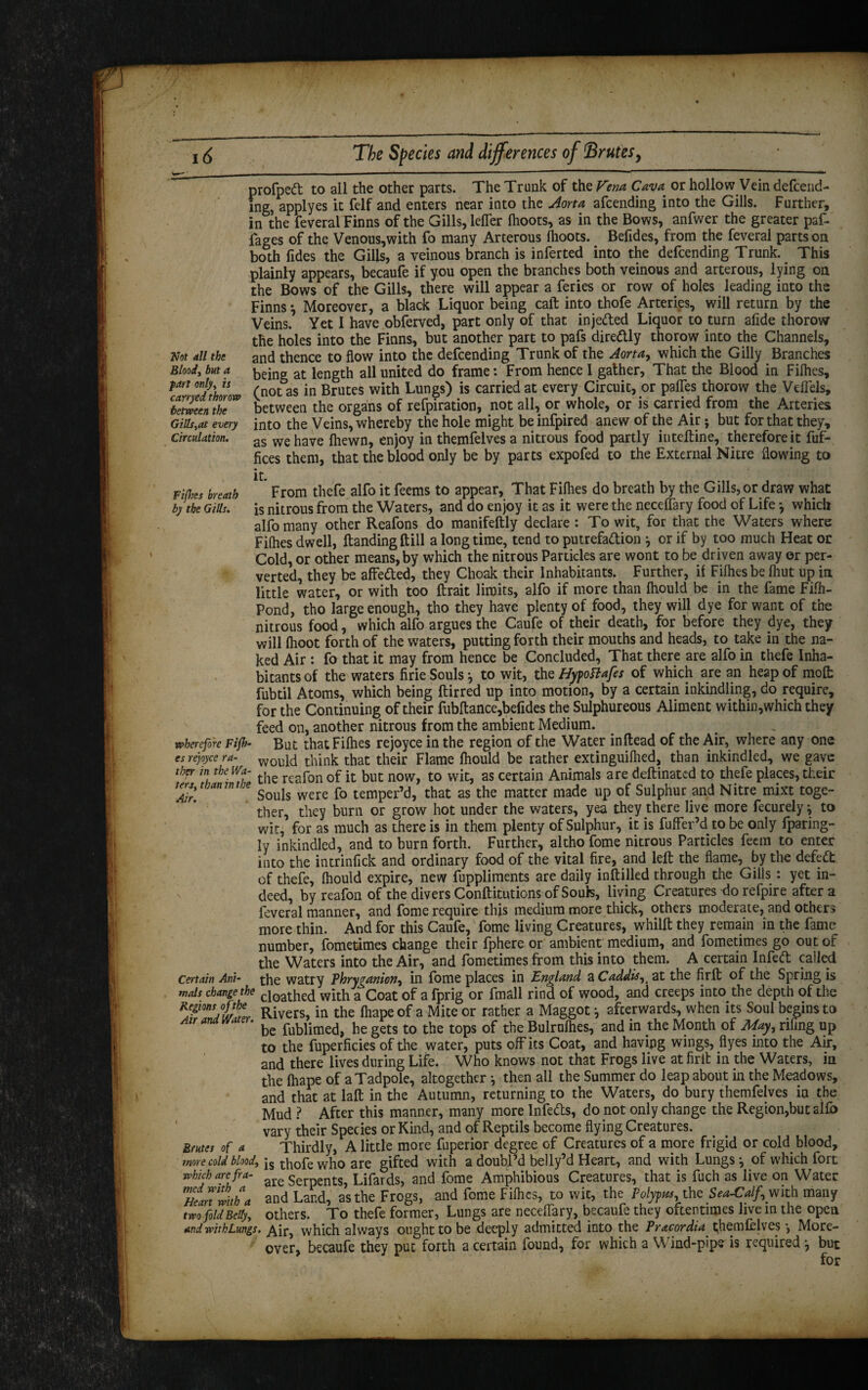 Not all the Bloody but a part only, is carryed thorow between the Gills,at every Circulation. Fifhes breath by the Gills. wherefore Fifh¬ es rejoyce ra¬ ther in the Wa- Ursy than in the Air. Certain Ani¬ mals change the Regions of the Air and Water. Brutes of a more cold blood, which are fra¬ med with a Heart with a two fold Belly, and withLungs, profpedt to all the other parts. The Trunk of the Vena, Caw or hollow Vein defcend- ing, applyes it felf and enters near into the Aorta afcending into the Gills. Further, in the feveral Finns of the Gills, leffer Ihoots, as in the Bows, anfwer the greater paf- fages of the Venous,with fo many Arterous fhoots. Befides, from the feveral parts on both fides the Gills, a veinous branch is inferted into the defending Trunk. This plainly appears, becaufe if you open the branches both veinous and arterous, lying on the Bows of the Gills, there will appear a feries or row of holes leading into the Finns *, Moreover, a black Liquor being call: into thofe Arteries, will return by the Veins. Yet I have obferved, part only of that injeded Liquor to turn afide thorow the holes into the Finns, but another part to pafs diredly thorow into the Channels, and thence to flow into the defcending Trunk of the Aorta, which the Gilly Branches being at length all united do frame: From hence 1 gather, That the Blood in Filhes, (not as in Brutes with Lungs) is carried at every Circuit, or paffes thorow the VdTels, between the organs of refpiration, not all, or whole, or is carried from the Arteries into the Veins, whereby the hole might beinfpired anew of the Air; but for that they, as we have fhewn, enjoy in themfelves a nitrous food partly inteftine, therefore it fuf- fices them, that the blood only be by parts expofed to the External Nitre flowing to it. From thefe alfo it Teems to appear, That Filhes do breath by the Gills, or draw what is nitrous from the Waters, and do enjoy it as it were the neceffary food of Life *, which alfo many other Reafons do manifeftly declare : To wit, for that the Waters where Filhes dwell, ftandingftill a longtime, tend to putrefaction j or if by too much Heat or Cold, or other means, by which the nitrous Particles are wont to be driven away or per¬ verted, they be affeded, they Choak their Inhabitants. Further, if Filhes be Ihut up in little water, or with too ftrait limits, alfo if more than fhould be in the fame Filh- Pond, tho large enough, tho they have plenty of food, they will dye for want of the nitrous food, which alfo argues the Caufe of their death, for before they dye, they will Ihoot forth of the waters, putting forth their mouths and heads, to take in the na¬ ked Air : fo that it may from hence be Concluded, That there are alfo in thefe Inha¬ bitants of the waters firie Souls * to wit, the Hypottafes of which are an heap of molt fubtil Atoms, which being ftirred up into motion, by a certain inkindling, do require, for the Continuing of their fubftance,befides the Sulphureous Aliment within,which they feed on, another nitrous from the ambient Medium. But that Filhes rejoyce in the region of the Water inllead of the Air, where any one would think that their Flame fhould be rather^ extinguilhed, than inkindled, we gave the reafon of it but now, to wit, as certain Animals are deftinated to thefe places, their Souls were fo temper’d, that as the matter made up of Sulphur and Nitre mixt toge¬ ther, they burn or grow hot under the waters, yea they there live more fecurely^ to wit, for as much as there is in them plenty of Sulphur, it is fuffer’d to be only fparing- ly inkindled, and to burn forth. Further, altho fome nitrous Particles feem to enter into the intrinfick and ordinary food of the vital fire, and left the flame, by the defeCt of thefe, (hould expire, new fuppliments are daily inftilled through the Gills : yet in¬ deed, by reafon of the divers Conftitutions of Souk, living Creatures do refpire after a feveral manner, and fome require this medium more thick, others moderate, and others more thin. And for this Caufe, fome living Creatures, whilft they remain in the fame- number, fometimes change their fphere or ambient medium, and fometimes go out of the Waters into the Air, and fometimes from this into them. A certain Infeft called the watry Phryganion, in fome places in England a Caddis,t at the firft of the Spring is cloathed with a Coat of a fprig or fmall rind of wood, and creeps into the depth of the Rivers, in the lhape of a Mite or rather a Maggot •, afterwards, when its Soul begins to be fublimed, he gets to the tops of the Bulrulhes, and in the Month of May, riling up to the fuperficies of the water, puts off its Coat, and havipg wings, flyes into the Air, and there lives during Life. Who knows not that Frogs live at firft in the Waters, in the lhape of a Tadpole, altogether ^ then all the Summer do leap about in the Meadows, and that at laft in the Autumn, returning to the Waters, do bury themfelves in the Mud ? After this manner, many more Infe&s, do not only change the Region,but alfo vary their Species or Kind, and of Reptils become flying Creatures. Thirdly, A little more fuperior degree of Creatures of a more frigid or cold blood, is thofe who are gifted with a doubl’d belly’d Heart, and with Lungs ^ of which fort are Serpents, Lifards, and fome Amphibious Creatures, that is fuch as live on Water and Land, as the Frogs, and fome Filhes, to wit, the Polypus, the Sea-Calf,.with many others. To thefe former, Lungs are neceffary, becaufe they oftentimes live in the open Air, which always ought to be deeply admitted into the Pracordia themfelves •, More¬ over, becaufe they put forth a certain found, for which a Wind-pipe is required •, but for