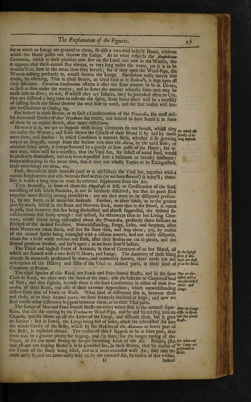 tor as much as Lungs are granted to them, fo alfo a two-fold belly’d Heart without which the blood palles not thorow the Lungs. As to what refpefts the Amphibious Creatures, which at their pleafure now live on the Land, and now in the Waters tho it appears that thefe cannot ftay always, or very long under the water, yet it is to be wonder’d at, how in the mean time they breath} for if they open the Wind-Pipe the Waters rulhing prefently in, would drown the Lungs. ‘Bartholinus eafily untyes’this doubt, by alTertmg, That in thefe Brutes, an Oval hole as in Embrio\ is kept open ali their life-time. Cornelius Confentinus affirms it after the fame manner to be in Divers, or fuch as dive under the waters } and he Ihews the manner whereby fome men may b<i made able to dive ^ to wit, if whilft they are Infants, they be provoked often to Cry, they are fuffered a long time to reftrain the fpirit, from hence there will be a neceffity of calling forth the Blood thorow the oval hole or navil, and for that reafoh will hin¬ der its Coalition or Cloling up* But indeed in thefe Brutes, as to fuch a Conformation of the Pracordia, the moll skil¬ ful Anatomilt Dodtor Walter Needham did doubt, and delired to havb found it in jfome of them by an ocular fearch, after many diffe&ions. However it is, we are to fuppofe thefe living Creatures do not breath, whilft they , . > are under the Waters; and from thence the Courfe of their Blood is by and by made facAtofJT more flow, and fmaller : In which Condition it matters little, whether it fo growing ving depends* torpid or fluggilh, creeps from the hollow vein into the Aorta> by'the navil hole • or whether lying quiet, it creeps forward by a gentle or flow pulfeofthe Hearty for ei¬ ther way, there will be a neceffity, that the Vital fire, for defe<ft of aerial food, would be prefently diminilhed, and as it were depreffed into a halituous or breathy fubftance: Notwithftanding in the mean time, that it may not wholly Expire or be Extinguilhed, thefe two things are done, viz,K Firlt, Becaufe in thefe Animals (and as in all Fillies) the Vital fire, together with a certain Sulphureous and alfo Nitrous food within (as we havefhewed) is injoy’d ; there¬ fore it is able a long time to want its external fupplement from the Air. * Then Secondly, in fome of them the Hypoflafis it felf, or Conftitution of the Soul* confining of lefs fubtle Particles, is not fo fuddenly dilfolved} but that its parts flick together more ftridtly among themfelves : nor are they wont to be diffipated prefent¬ ly, by any force, as ill more hot Animals. Further, as their Souls, as to the greater part by much, fubfilt in the Brain and Nervous flock, more than in the Blood, it comes topafs, that however this fire being diminilhed and almoft fupprelfed, the Animal fa¬ culties remain flill lively enough: and indeed, far otherways than in hot Living Crea¬ tures, whole blood, being obftrufted about the <Pracordia, prefently there follows ail Ecciipfe of the Animal faculties. Notwithftanding, Frogs, Eeles, and Serpents, after, their Hearts are taken forth, will live for fome time, and leap about} yea, by reafon of the animal fpirits being intangled with a vifeous matter, and not eafily diffipable, retain for a little while motion and fenfe, after their Bodies are cut in pieces, and the feveral portions divided, and lay’d apartj as we have Ihew’d before. The Third and higheft Form of Animals, Is that of Creatures of an hot Blood, all _ which are framed with a two-Belly’d Heart, and Lungs. The Anatomy of thefe being formofMi- already fo accurately performed by many, and commonly known, there needs not any mats are thofe defeription of the Hiftory and llfes of the Vital or Animal parts, in thefe kind of of an hot Blool Creatures or Brutes. The chief Species of this Kind, are Fowls and Four-footed Bealls, and in the fame They are fur• Clafs or Rank, we place with the Souls of the later, alfo the Inferior or Corporeal Soul niflecl with <* of Man ; and that rightly, becaufe there is the fame Conformity in either of their Pr&- ^e/n^and* cordi a, of their Brain, and alfo of their nervous Appendixes ^ which notwithftanding Lungs. differs from that of Fowls or Birds. What kind ot difference this is, between thofe and thefe, as to their Animal parts, we have formerly declared at large \ and now we lhall notifie what difference happens between them, as to their Vital parts. The Lungs of Men and Four-footed Bealls are every where Ihut in the outmoft fuper- the Lungs ficies, that the Air entring by the Trachea or Wind-Pipe, and by and by entring into its differ in Birds Chanels, quickly blows up all the Lobes of the Lungs, and diftends them, but it goes and four footed no further: But in Fowls, the Lungs being full of holes, admit the inbreathed Air into Bea^s* the whole Cavity of the Belly, which by the Muffles of the Abdomen or lower part of the Belly, is exploded thence. The reafon of this I fuppofe to be in fome part, that there may be a greater plenty for finging, and fin fomejfor the longer tuning of the Voyce, or for tile more ftrong or longer breathing forth of the Air. Befides, (for For what end that all are not finging Birds) it is fo provided for, in thefe Brutes, that by reafon 0f the Lungs are the Trunk of the Body being filled, and as it were extended with Air, they may the m more eafily fly,and are more eafily held up, by the outwatd Air, by reafon of that within. ' - . D Indeed