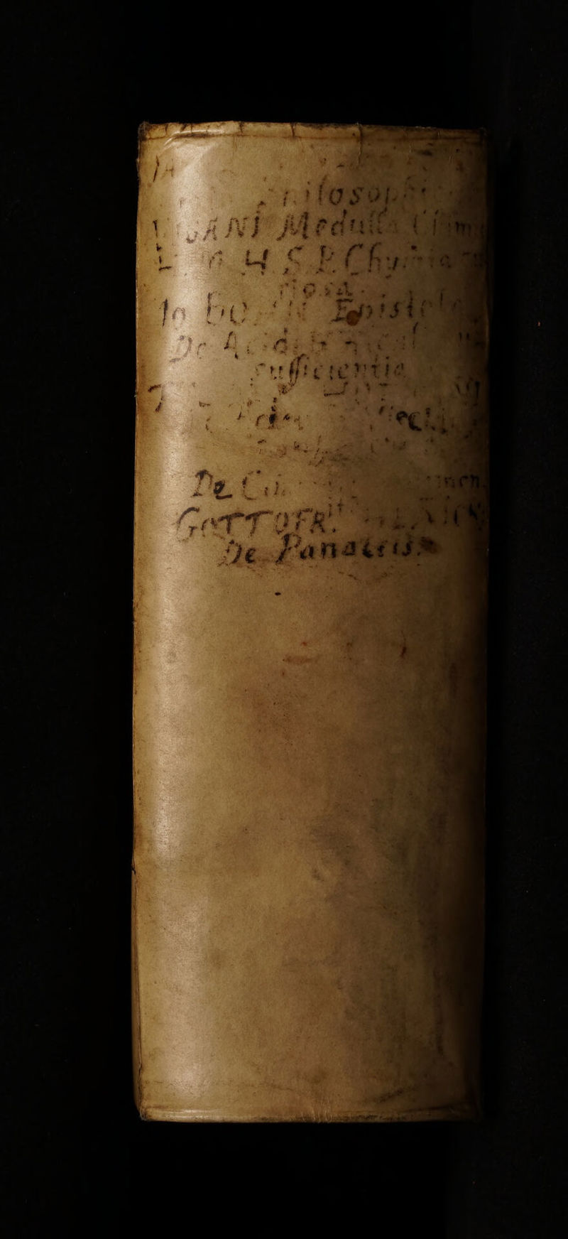 No text description is available for this image