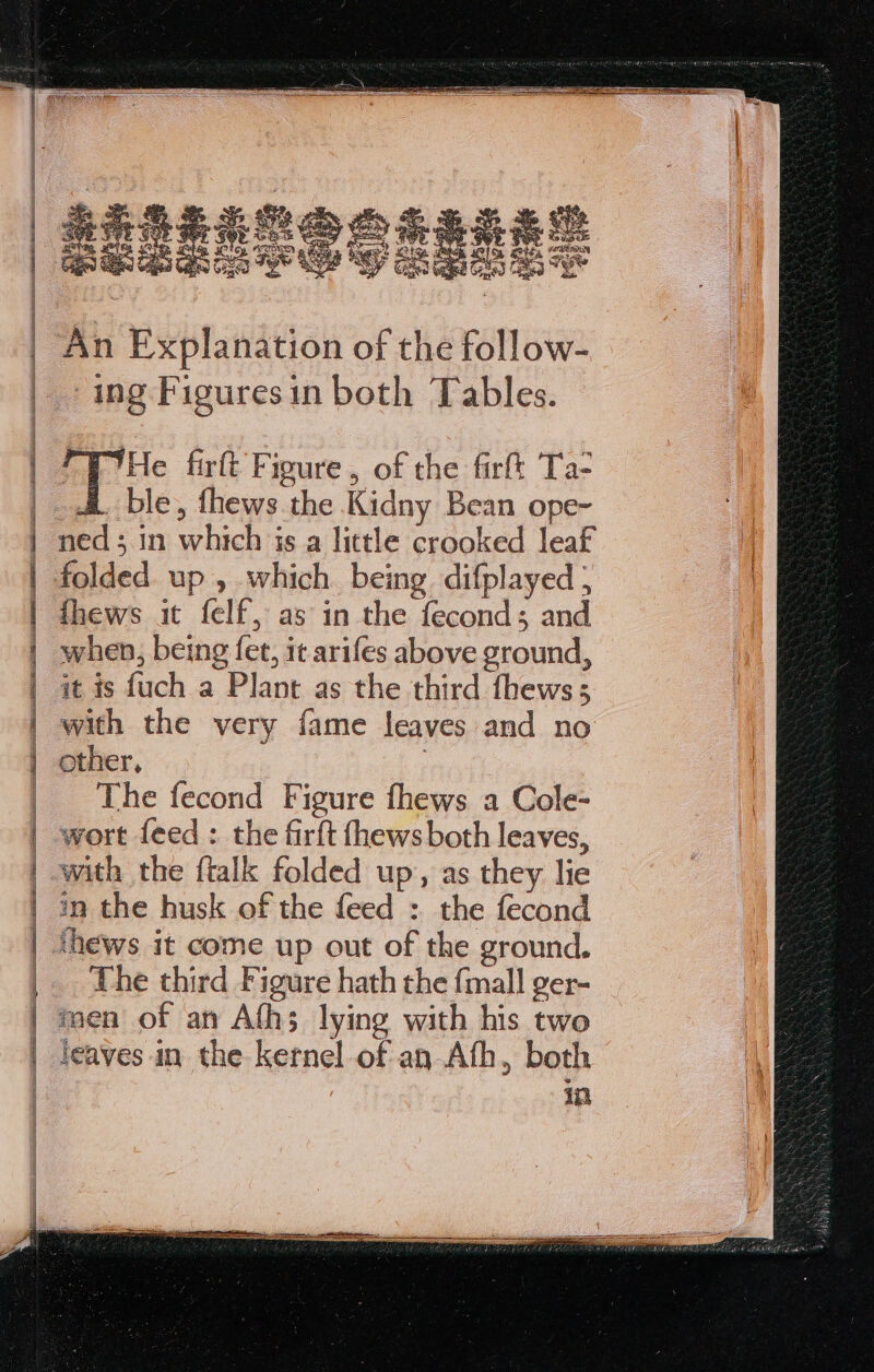 An Explanation of the follow- ing Figuresin both Tables. ry He firft Figure, of the firft Ta- i. ble, fhews the Kidny Bean ope- ned; in which is a little crooked leaf folded. up , which being difplayed ; fhews it felf, as in the feconds and when, being fet, it arifes above ground, it is fuch a Plant as the third fhews; with the very fame leaves and no other, | The fecond Figure fhews a Cole- wort feed : the firft fhews both leaves, with the ftalk folded up, as they lie in the husk of the feed : the fecond ihews it come up out of the ground. The third Figure hath the {mall ger- men of an Ath; lying with his two jeaves in the kernel of an Ath, both Ip Sime,