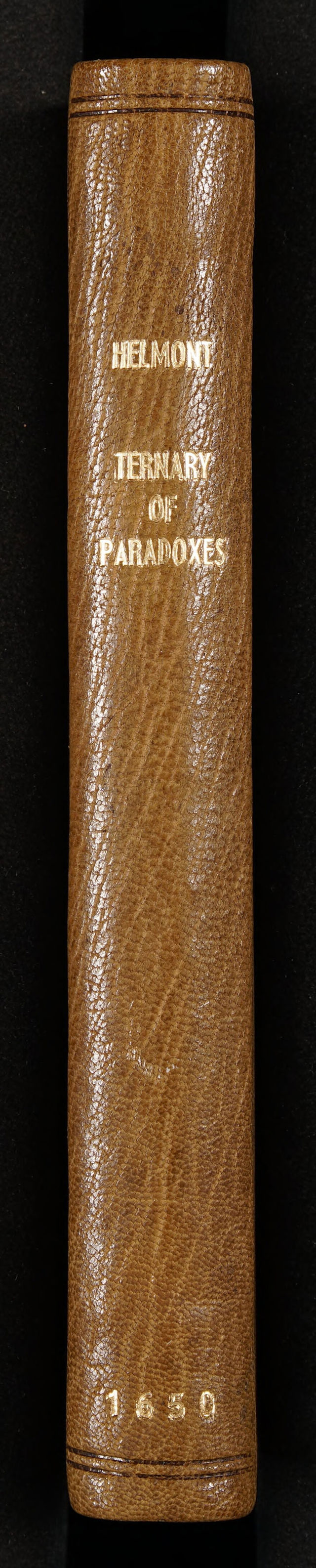 No text description is available for this image