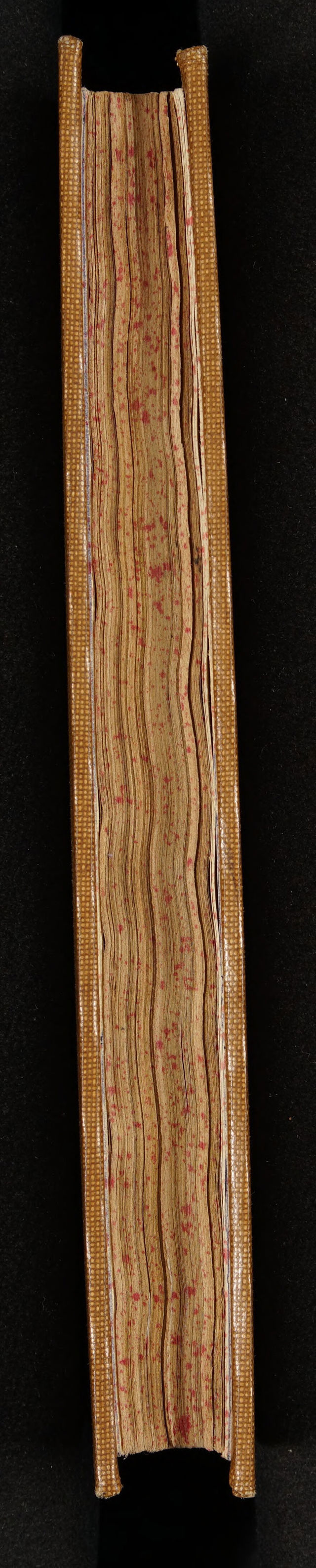 No text description is available for this image