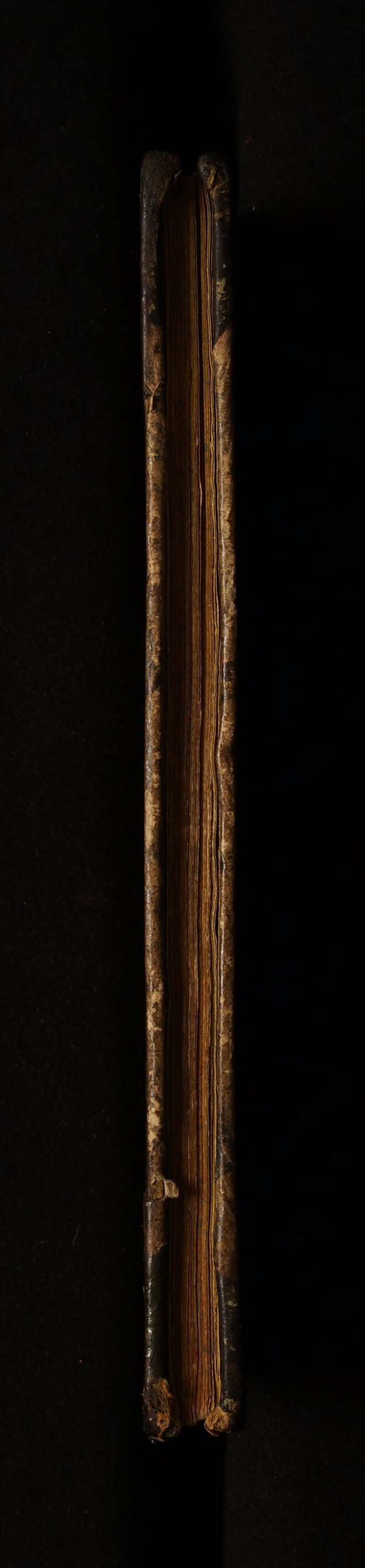 No text description is available for this image