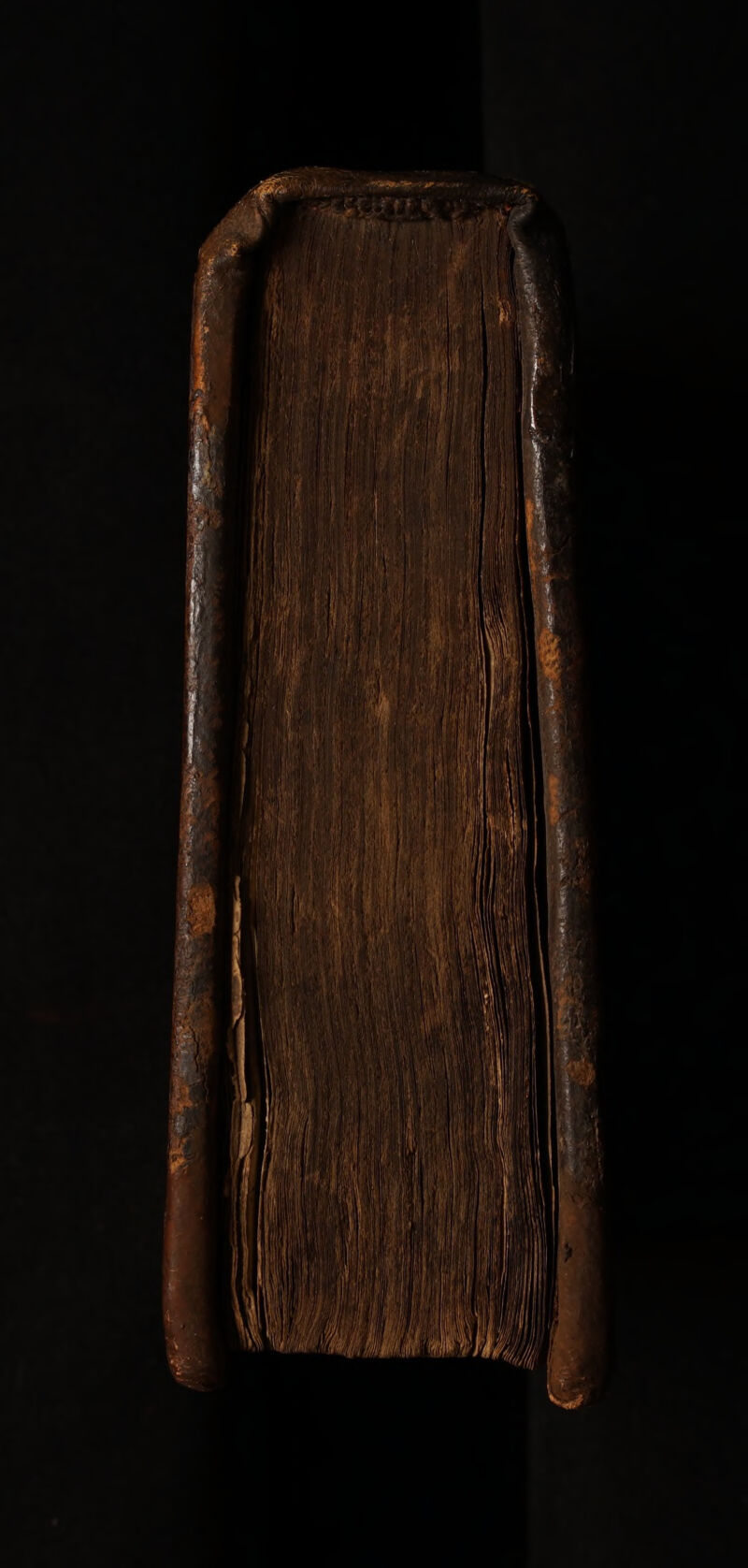 No text description is available for this image