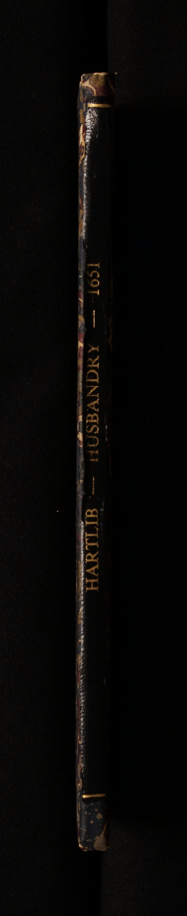 digitised image 2