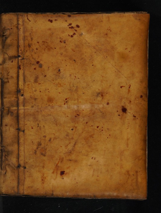 digitised image 1