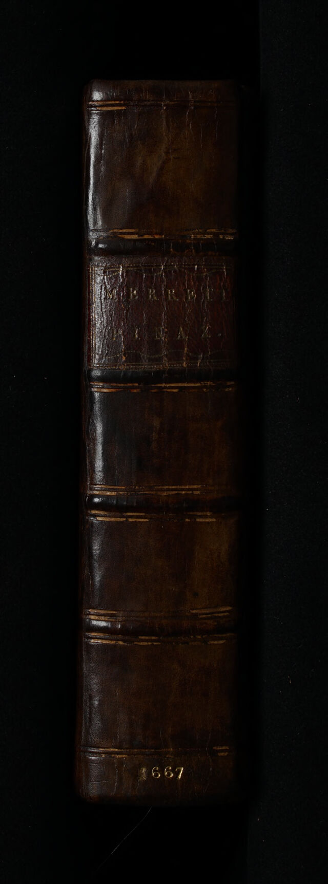 digitised image 2