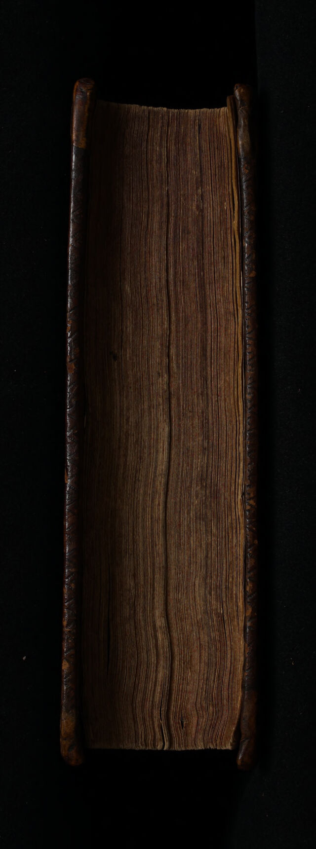 digitised image 3