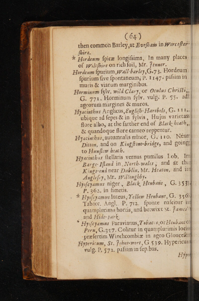 then commoh Batley,at EvefDarm in Forctfer- | fbire. * Hordenm Ípice AESNTEN, In many places. | of syiltfbire on rich foil, Mr. Tézner. Hordeum fpurium, Wall: t barleg, Q.73. Hordeu: m fpurium (ve fpo ntaneum; P. 1147» pàálsim ta muris &amp; viarum marginibus. Horminnm ÍlyW. wila Clar], or Oculus Christi, G. 771. Horminum fylv. vulg. P. 55. ad agcorum margines &amp; muros, Hi n glicus, £nglifb- Hartbels, G. 111, ubique ad fepes &amp; in 1yl vis, Hujus varietas flore al Ibo dcdis farther end of Blac K beaib 3 : » &amp; quandoque flore carneo reppentur | Hyacinthus, autamnalis minor, G; 110 Near) Dites, and on Kingflont-bridee, and 3 going to Hun[; w beatb. | Hyaciuibas ftellaris vernus pumilus. Lob. Im Barge Hla sd in, Nortb-wales ; and dt. tho Kings-end near D^ tblia, Mt. Heaton, ánd irj Anglfzy, Mr. JYii equ. | pfeyamius niger E Bla cR. Hen. AME f G. 3$314 p.362. in fimetis, Edi Tyofcy. aes teus, 7 py ellow ! Henbane , G. 3565 Tabacc. Ang 712. fponte nafcitur dij quamplucims hortis, ant 1 betwix t St. Jamer d ..and Hide-part. E Hysfcyamns Paravianus, Tebac: o0.0t Henbaute Peru, G.337. Colitur in quamplu rimis locis praefertim Winchcombiz in agro Glouce&amp;t!] Hypers um, $t. foburewort, G $39. Hyt pericuimi vulg. P, $73. pafsim in fep ),bus, 1 Eo AU: D) /