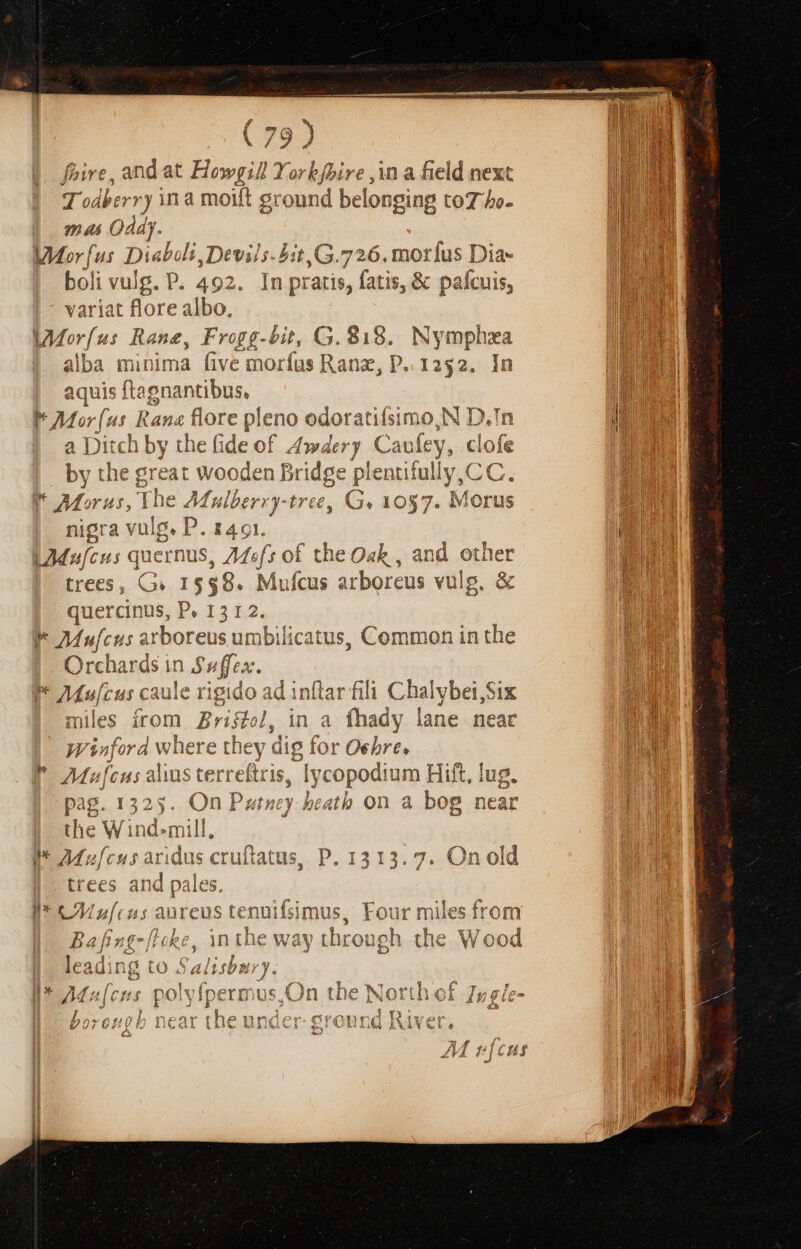 f sS bor and at Howg ilYokbfbire,inaf held next Todberr ) ing d ground belonging to7 5o- mei Oda. Mor [us Disabili, Dtviis. Lit ,G.726, motrius Dia- bil vulg. P. 4€ Q2 6 e In n pra [185 fatis, &amp; pafcuis, Var jat florea al Ibo. LMor(us Rane, F; 'pg-bit, G.818. Noms alba minima five e morfus Ran, P1252. Ín I Mor ur. Eos flore pl eno odoratifsimo,N 1 4 Fi s ? mp 1 (cus quernus 2 qi. che roget and. otüer P bed [4 » Mufcus a1 rboreus umbilicatus, Common in the Orch: : 185, in in Safer a nt bus 7 I8 3 [057A p PONTI M A£Maufc ^4: cauie rigido ad inftar fili Cha Iybei,S miles from Zrifzol, in a fhady lane near ] Wauford Wiücre 'e they aig for € Oebre, - HCM A - Mu fcu al ye éqgedi um Hift, lug. pag. 152 5n ; the W inde pee &amp;y-heatb on a bog near