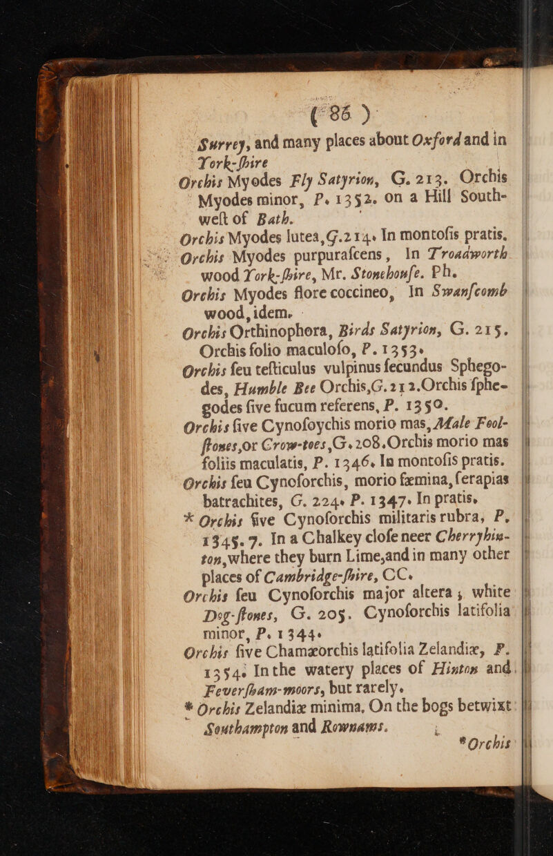 $urrey, and many places about Oxford and in York-fhire Orchis Myodes Fly Satyris, G. 213. Orchis Myodes minor, P. 1352. 0n a Hill South- weítof Batb. : Orchis Myodes lutea,G.2 14. In montofis pratis. wood Y'ork- [bire, Mr. Stoncbonfe. Ph. Orchis Myodes florecoccineo, In Swanfcomb wood, idem. Orchis Orthinophora, Birds Satyrion, G. 215. Orchis folio maculofo, P. 1353. Orcbis feu tefticulus vulpinus fecundus Sphego- des, Humble Bee Orchis,G. 21 2.Orchis fphe- godes five fucum referens, P. 1350. Orchis five Cynofoychis morio mas, 4fale Feol- flones,or Crow-tees ,G. 208. Orchis morio mas foliis maculatis, P. 1346. Ia montofis pratis. Orchis feu Cynoforchis, morio femina, ferapias batrachites, G. 224« P. 1347. In pratis, * Orcbi; Sive Cynoforchis militaris rubra, P. 1345. 7. In a Chalkey clofe neet Cherr)bis- ton, Where they burn Lime;and in many other places of Cambridge-fhire, CC. Orchis feu. Cynoforchis major altera , white Dor-flones, G. 20$. Cynoforchis latifolia minor, P. 1344: Orchis five Chamzorchis latifolia Zelandi, P. 1554. Inthe watery places of Histos and Fever[bam-moors, but rarely. * Orchis Zelandix minima, On the bogs betwixt Southampton and Rownams. 1 * Orchis