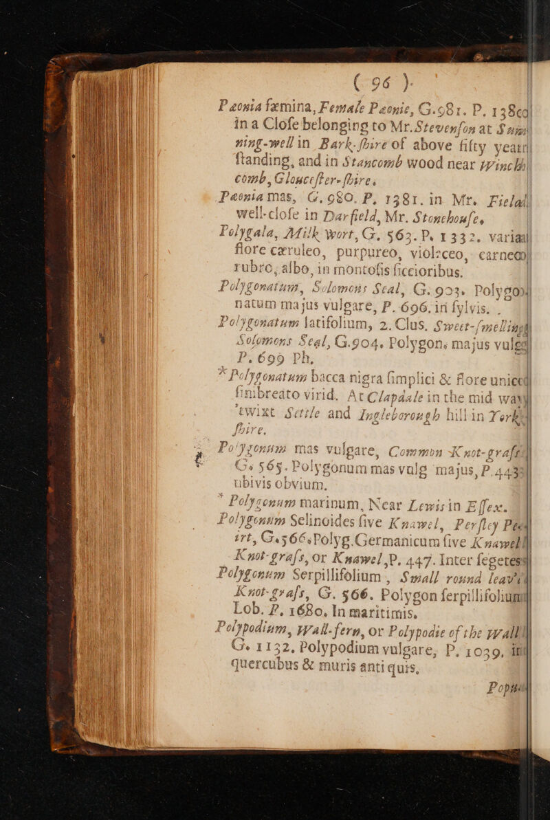 ! | | I | aV mE [é AU Q i ilii 27 4 , 4J £9 r pi )o f BP*. RÀ 442 7 1 á y ,/0j P n 1e £0 )á1 Bo | 4s fe Jk Vi y i Y IU [ ucc[ &amp; m, IVAR-ferp, or Po 52, Polypod | $ LA podi 4 P Y X. L 0L)