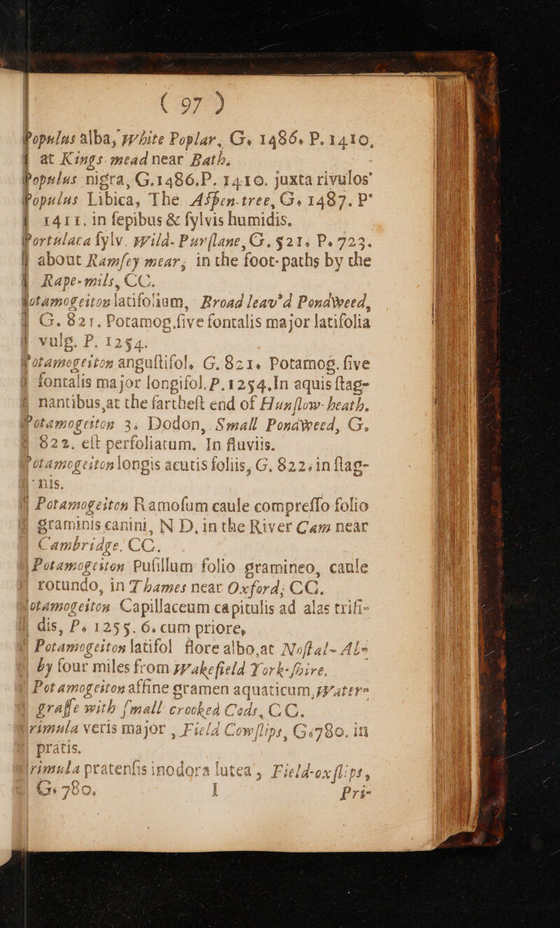 / Wopuins alba, pzLite Poplar, G« 1486. P. 1410, | at Kings mead near Bat, Popslus nigra, G. 1486. P. 1410. juxta rivulos Populns MEN The Affen. tree, Ge 1487. F^ | 1411. 1n fepibus &amp; fylvis humidis. fortelata fylv. szild- Pav [lane, G. $21; P. 723. j about Rapt) mear, in i the foot: paths by the i i - P  i Rape- mils YQ CC : gotamogeitonlaüfoam, Broad leav'd PonaWeed, T £733 e m. T T 5 —— | | G. 82r. Potamog.five fontalis major la tifolia ! vniece P T^5ec V uig. Ao. M4 34 b. Eus h ace aiit do ue rou amoo fiv 2 APO CVEO angullitol, C. 821. Potamog. five BE aealn Sd ( [ nis iontalis major longiíol. P. 1254 In aquis ftag XU Las rla £s uk fl nantibus,at the fartheft end of Hun fLow- iai: Potamogeiton 5, Dodon, Small Pond reed, G., ertoli In fluviis. 5 foliis, G. 822.in flag- Poramogeiton Ra mom caule compreffo folio Sraminis cai Ini, NE in the Iu IV et Ca» near Cambriage. CC Potamt ges 0n puli illum folio grami ineo, caníe Iq otundo, inT bhames neat Oxford; CC. otamogeiton Capillaceum capitulis ad alas trifi- | dis, P. 1 1255. 6. cum priore, , E s 930 Tos lat ifol VE ài Ibo E E IN» ft al- Al- by (oar m iles from ng abefield Yo: id ire, Pot amogeiton affine eramen aquat dcum, Z'attr» E euist, » P (^