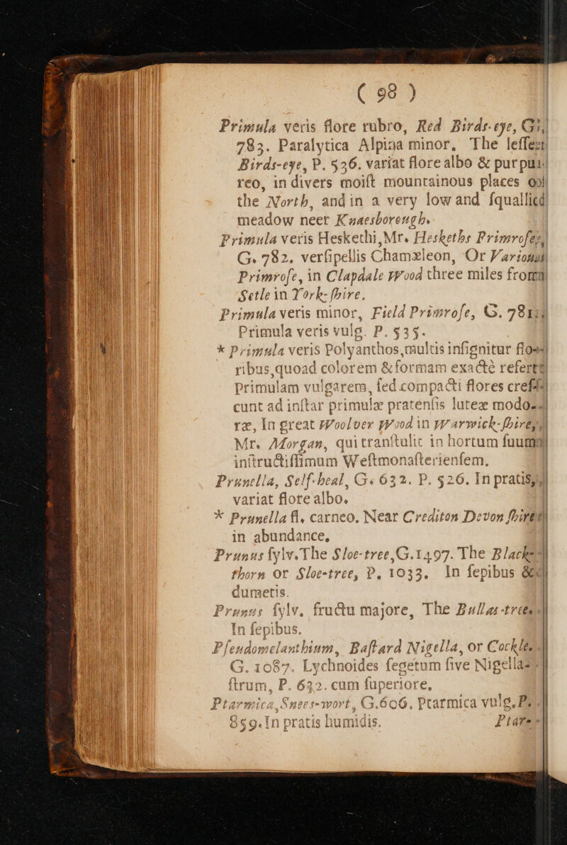 ( 98 Primula veris flore rubro, Red. Birdr-eye, Gr 785. Paralytica Alpiaa minor, The leffert Birds-eye, P. 556. variat flo ore albo &amp; pur pa reo, in divers moift writ places Qo the Nortb, and in a very low and. fquallicd meadow neet Kaaesboreugb. Primula veris Hesket thi, Mr. He shetbs Primvofey, G. 782, verfipellis ( Cham leon, 'Or Var icti Primro[e, in Clapdale JFood three miles from Setlein Yorb- fpire. Primula veris minor, Fiela Primrofe, G. 29x Primula veris vulg. Y ins ui rim « veris Pc ol dip 4 ribus  cunt a aténft: Jl re,iIng od in Jy aricb- bio ! Mr. Morgan, qui tranftulic in hortum fuum j 3$ ee ffimum W eftmonafterienfem. | ^B AC eal variat flore albo, * Pom carneo, Near C in abundance, | Prunus fylv. The $loe-tree ,G.1497. The Black | Pharm Or $/loe-tree, P. 1033. In fepil bus éd lumetis (ylv, fru&amp;u majore, The Bulla-treesl runella, Self-beal, G« 632. P. $26. In praus, e  Ex. diton Devon fLiret) € 160 velantbium , Baflard Nigella, or Cock Lyc hnoides fe: egetu m five NI iA »1a3 | ! pcarmica vulg, Pod