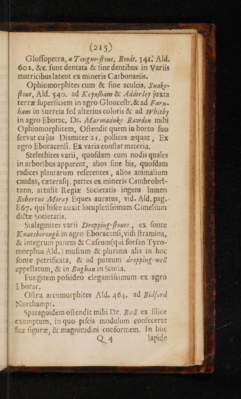 in Variis aris, 7 ibus 1 enti arbor ine de 1 4 atent ex mineris C dentata &amp; | i &amp;c. funt 3 1 i matric DUs /798 K e) au jJ m11n38 AVLELLI in a GC 30710 gro 1022 Jj L7 142» Dn AX 174m anqsmbpp GV BPAXGURU /1 f Ds. 74 y C$4 21 es varl ^) $4 f U PP Ü Su : - F L- DO £$ (£5 ZAÁAC (JJ K LJ bs c: m Lí nd 1T  A114 T 1 lii Ifa. V/.LLA Li [I paryynrtwnr dini conf nitu Q^; e19f0 mag wr € Y 45 Hel Í