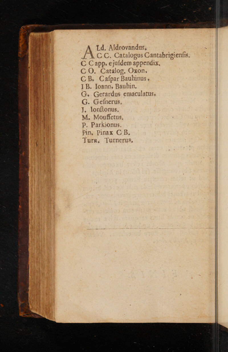 Y Aldrovandus, F3 AC ; OQ. Catalog. Oxon. GB Ci afpar Bauhinus, ] B. Ioann. Bauhin. G. Gerardus emaculatu: G. Gefnerus. ], lonftonus. M. Monuffetus, P. Parkionus. pin. Pinax C B. lurg, Turnerus,