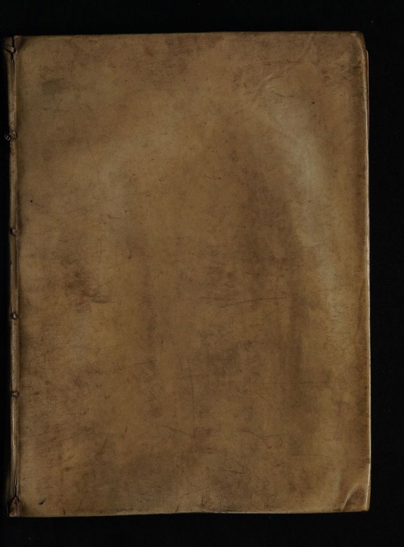 No text description is available for this image