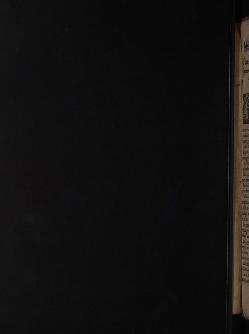 Cab j | f need | i lye an inl wins,