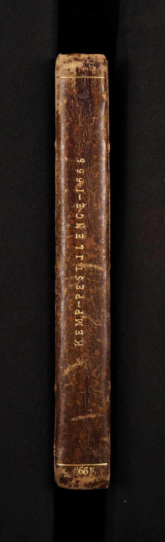 digitised image 2