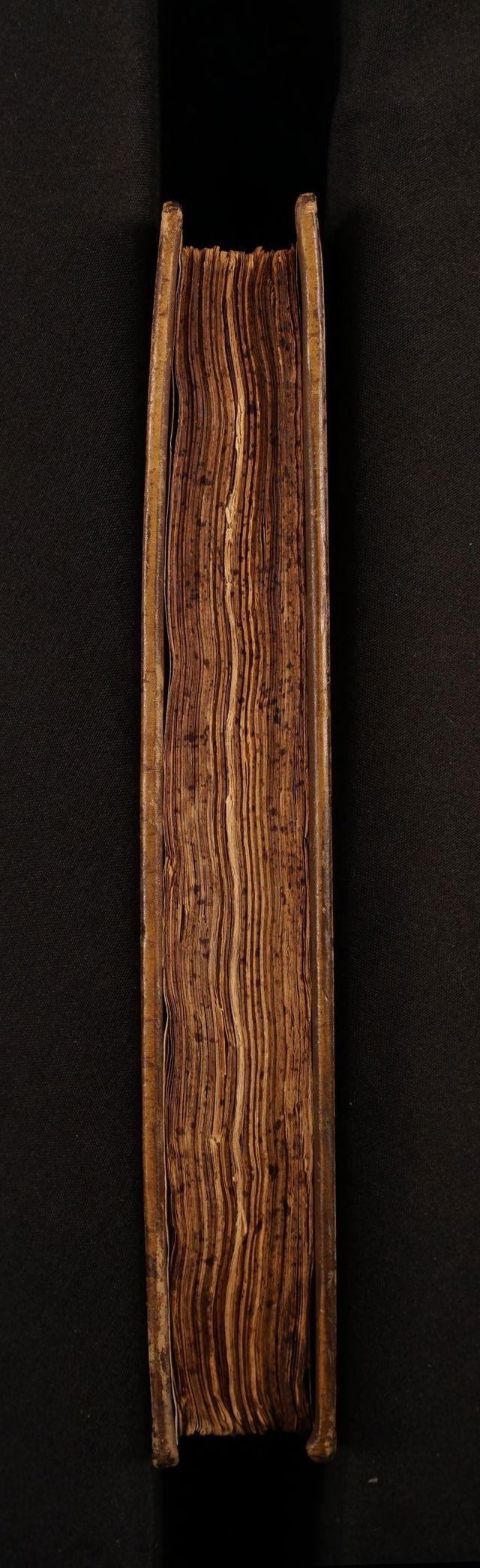 digitised image 3