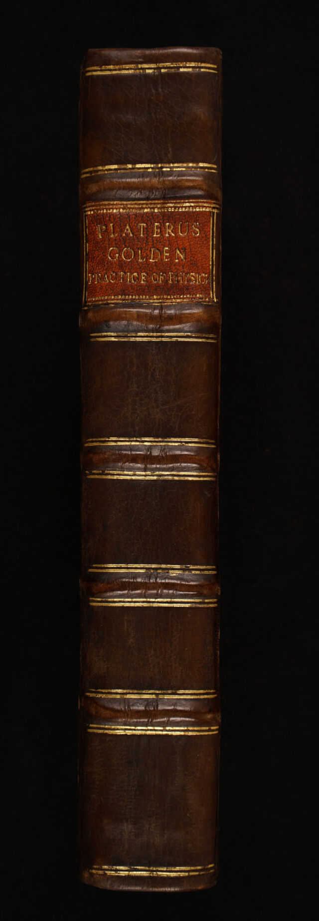 No text description is available for this image