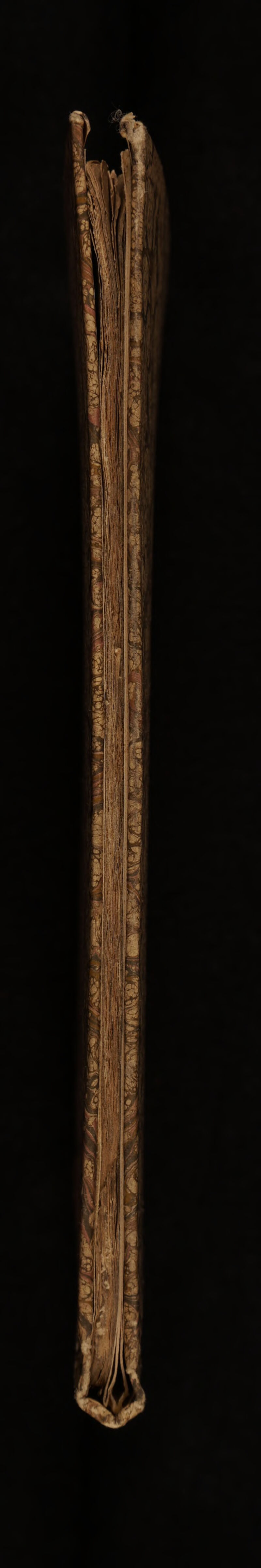 No text description is available for this image