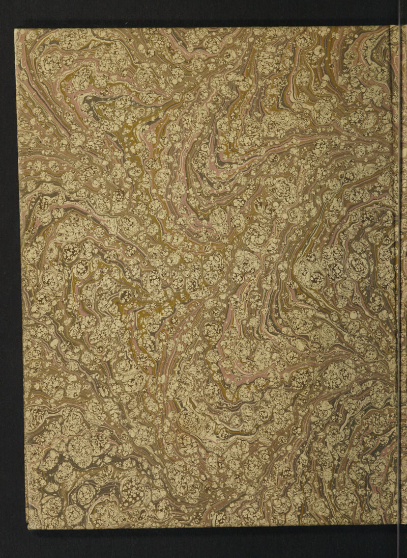 . - ^6? XJL': -.ML !^h\ jfi fj , • -»3 it Ay*-*' *J r Stil^A/Af iJ* tf>| ~ -•’■| r\ f )' P^m3v5* it>/ cay,-' j^0L *w jjf*f \ _*&'•■ |,_ j-I^ijt** V^-:. -m ’V v iPr J ^ jf 7* y[(ijd